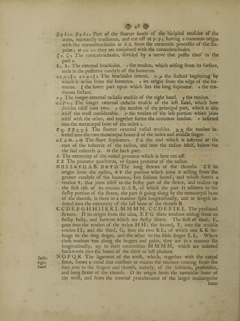 Inthe right hand # 48 # fiyfei Part of the fhorter heads of the bicipital mufcles of the arms, outwardly tendinous, and cut off at y. y; having a common origin with the coracobrachiales at L d, from the coracoide proceffes of the fca- pulae ; at t £. n they are conjoined with the coracobrachiales. The coracobrachiales, divided by a nerve that palfes thro’ in the part v\. G i. 01 The external brachiales. » the tendon, which arifing from its furface, ends in the pofterior condyle of the humerus, x a y. v £ o. xAjuvgo The brachiales interni. a. ^ the forked beginning by which' it arifes from the humerus, v its origin from the edge of the hu¬ merus. £ the lower part upon which lies the long fupinator. © the ten¬ dinous furface. 7r o The longer external radialis mufcle of the right hand. ^ the tendon. <r q r r u The longer external radialis mufcle of the left hand, which here divides itfelf into two. ? the tendon of the principal part, which is alfo itlelf the moft confiderable. r the tendon of the lefs portion which joins itfelf with the other, and together forms the common tendon, r inferted into the metacarpal bone of the index u. (p X- % X The fhorter external radial mufcles. ^ % the tendon in¬ ferted into the two metacarpal bones ^ of the index and middle finger, co r A 0. co 0 The fhort fupinators. r A the end which is inferted at the root of the tubercle of the radius, and into the radius itfelf, below the the laid tubercle A. © the back part. A The extremity of the round pronator which is here cut off. S 5 The pronator quadratus, or fquare pronator of the radius. nnn^tnAB. The long flexors of the thumbs. 2 2 its origin from the radius, $ Y the portion which joins it arifing from the greater condyle of the humerus, but feldom found j and which forms a tendon ¥, that joins itfelf to the flefhy part of the flexor,- and makes up the firft rife of its tendon £1 A B, of which the part £2 adheres to the flefhy portion of the flexor, the part A going along by the metacarpal bone of the thumb, is there in a manner fplit longitudinally, and at length in¬ ferted into the extremity of the laft bone of the thumb B. CCDEFGHHIIKKLMMMM. CCDEFIKL The profound flexors. D its origin from the ulna, E F G three tendons arifing from its flefhy belly, and betwixt which are flefhy fibres. The firft of thefe, E, goes into the tendon of the index H H •, the fecond, F, into the middle tendon 11; and the third, G, into the two KE, of which one KK be¬ longs to the ring finger, and the other to the little finger L L. Where thefe tendons tun along the fingers and palm, they are in a manner flit longitudinally, up to their extremities M M M M, which are inferted backwards into the bones of the third or laft phalanx. NOP QJR. The ligament of the wrift, which, together with the carpal finus, forms a canal that confines or retains the tendons coming from the fore arm to the fingers and thumb, namely, of the fublimis, profundus, and long flexor of the thumb. O its origin from the navicular bone of the wrift, and from the internal protuberance of the larger multangular bone