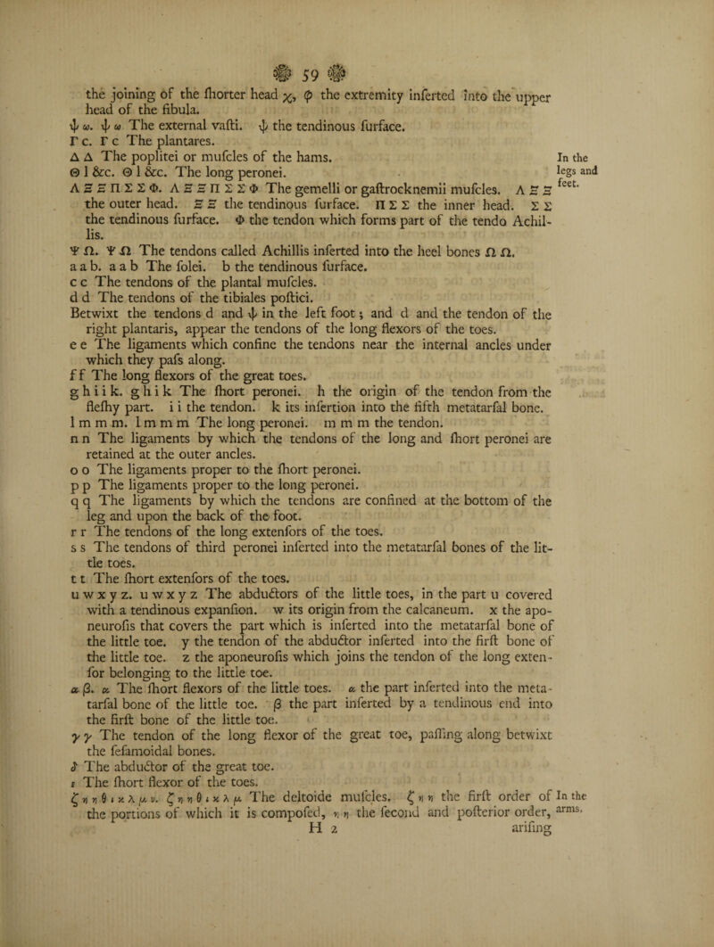 the joining of the lhorter head (p the extremity inferted into the upper head of the fibula. «. ij/ w The external vafti. ^ the tendinous furface. r c. r c The plantares. A A The poplitei or mufcles of the hams. In the 0 1 &c. 0 1 &c. The long peronei. - legs an<* A S H n I 2 $. AHHni2$ The gemelli or gaftrocknemii mufcles. A ~ B feet' the outer head. S S the tendinous furface. nil the inner head. X X the tendinous furface. O the tendon which forms part of the tendo Achil- lis. ¥ XL ¥ XI The tendons called Achillis inferted into the heel bones XI XL a a b. a a b The folei. b the tendinous furface. c c The tendons of the plantal mufcles. d d The tendons of the tibiales poftici. Betwixt the tendons d and vp in the left foot*, and d and the tendon of the right plantaris, appear the tendons of the long flexors of the toes, e e The ligaments which confine the tendons near the internal ancles under which they pafs along, f f The long flexors of the great toes. g h i i k. g h i k The fhort peronei. h the origin of the tendon from the flefhy part, i i the tendon, k its infertion into the fifth metatarfal bone. I m m m. 1 m m m The long peronei. m m m the tendon. n n The ligaments by which the tendons of the long and fliort peronei are retained at the outer ancles, o o The ligaments proper to the fliort peronei. p p The ligaments proper to the long peronei. q q The ligaments by which the tendons are confined at the bottom of the leg and upon the back of the foot, r r The tendons of the long extenfors of the toes. s s The tendons of third peronei inferted into the metatarfal bones of the lit¬ tle toes. II The fhort extenfors of the toes. uwxyz. uwxyz The abdudtors of the little toes, in the part u covered with a tendinous expanfion. w its origin from the calcaneum. x the apo- neurofis that covers the part which is inferted into the metatarfal bone of the little toe. y the tendon of the abdudtor inferted into the firft bone of the little toe. z the aponeurofis which joins the tendon of the long exten- for belonging to the little toe. cc 13. a The fliort flexors of the little toes, a, the part inferted into the meta¬ tarfal bone of the little toe. (3 the part inferted by a tendinous end into the firft bone of the little toe. y y The tendon of the long flexor of the great toe, palling along betwixt the fefamoidal bones. J1 The abdudtor of the great toe. £ The fliort flexor of the toes. £»mjOixA/av. The deltoide mufcles. £nr, the firft order of In the the portions of which it is compofed, n n the fecond and pofterior order, arms> H 2 arifing