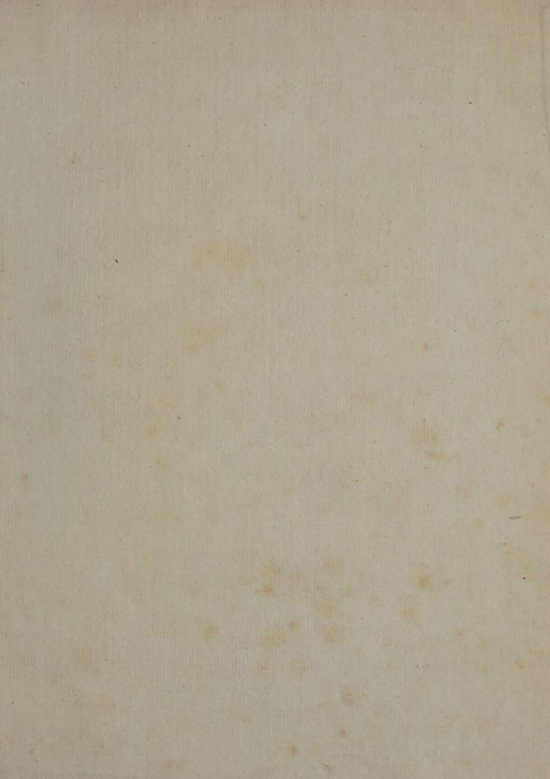 P Dot v's Ai ' it Tet ab sede — ch rae : 5 (3{ ' ' ' Rok pt ws af BI ie «