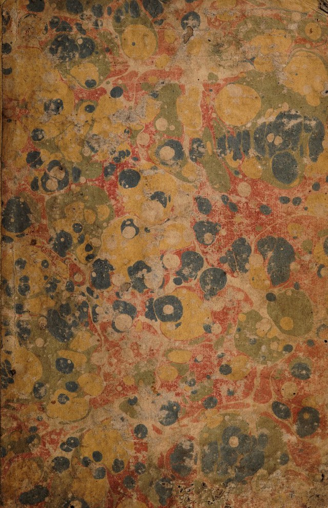 No text description is available for this image