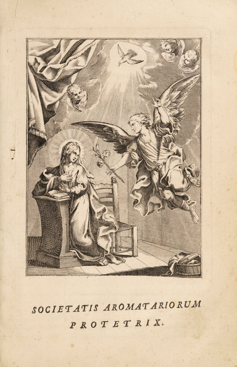 SOCIETATIS AROMATARIO RUM protetri X.