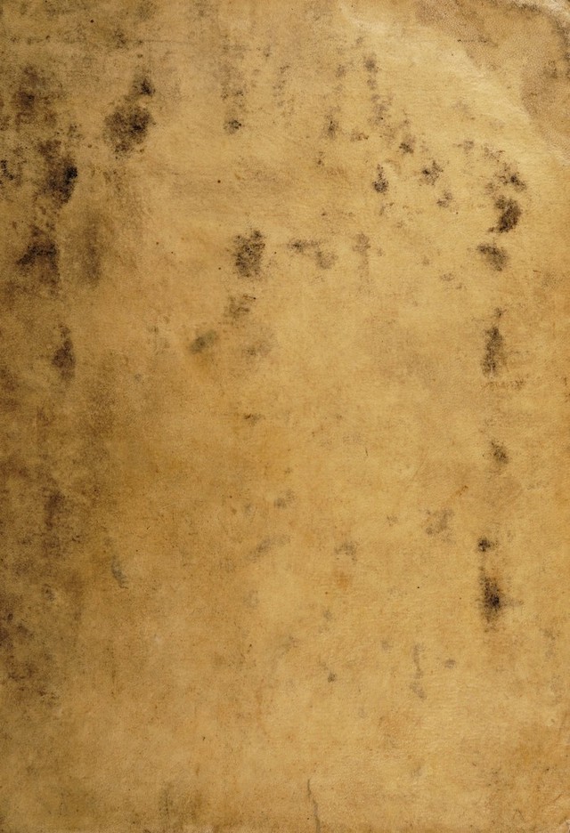digitised image 1