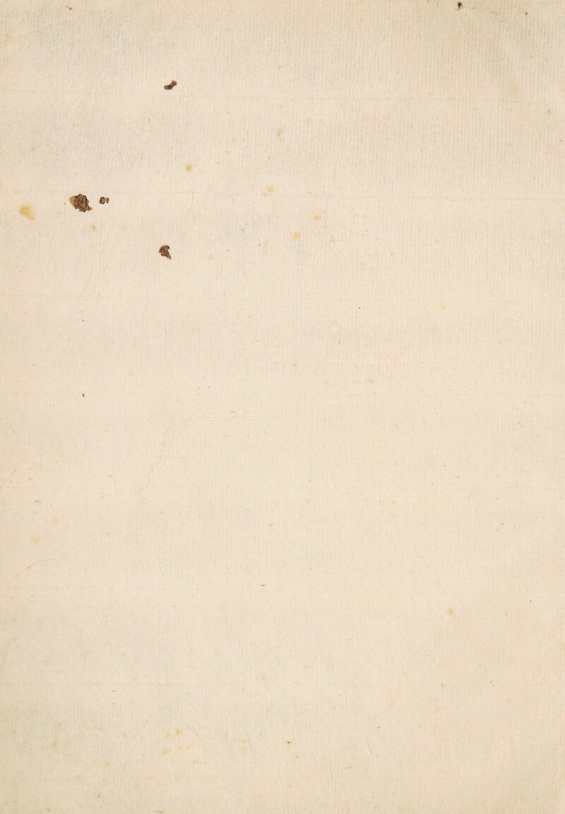 t / / . V ■ I I t . ‘v /. \ . 's