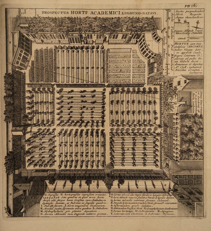 tv C*8J prospectus HORTI ACADEMICI euguuno-batavi io r aquae iZUriJten. Hortus cum suis Acdjiciis E4JB CJDJSFj. halet- Tlraas 200 c7 7 et~ apparet- Oculo Sujora. Cenfrtim (© , SSEi^ s • «• tM; Ii!': rrrrrrm. G-. InqrejJus. II. hortiperjiles ituqrejju O. Aer tus tZdouia alter maqnc Zepidario Ajpcqaee Q. Aerius ade nidis maximus jer/taec Calescens . R. Pcryu/a /r. lernaeulumpraeiens Tyriis jemaeili. instructum. S. hylcrnaeutum. prierc Calidus . E Akiiiaculutn Trajecti. Marti. UCazephylaciutn iicadermcum. Y. Jiemus Aertulam . W. Celluviarium . X.. -Iquapium Y. Zalcraicrium Cie Ulicum. 2 Jialorater : Thirsicunu. W123-J'5 S-7-8. Ceto quadrae in quas area he/Ji 7 disl/a alit Jttrpes hunti Coijitas . cum Ambulacris Spattq/is , Semitis . I. -Pu h nllijlerurn. J K.. Areolae Juxta Jep, Iras. 1. Stiladium F Iflff ”Trir rtAA.ya sSa ■«••■■«•■■■■■ii Mii mm WiUiimiM