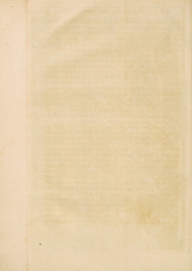 ' \ ■ ' •• A V \ / * • >’ i / >*' v v i - > ■* \ 1 / % t »/ I