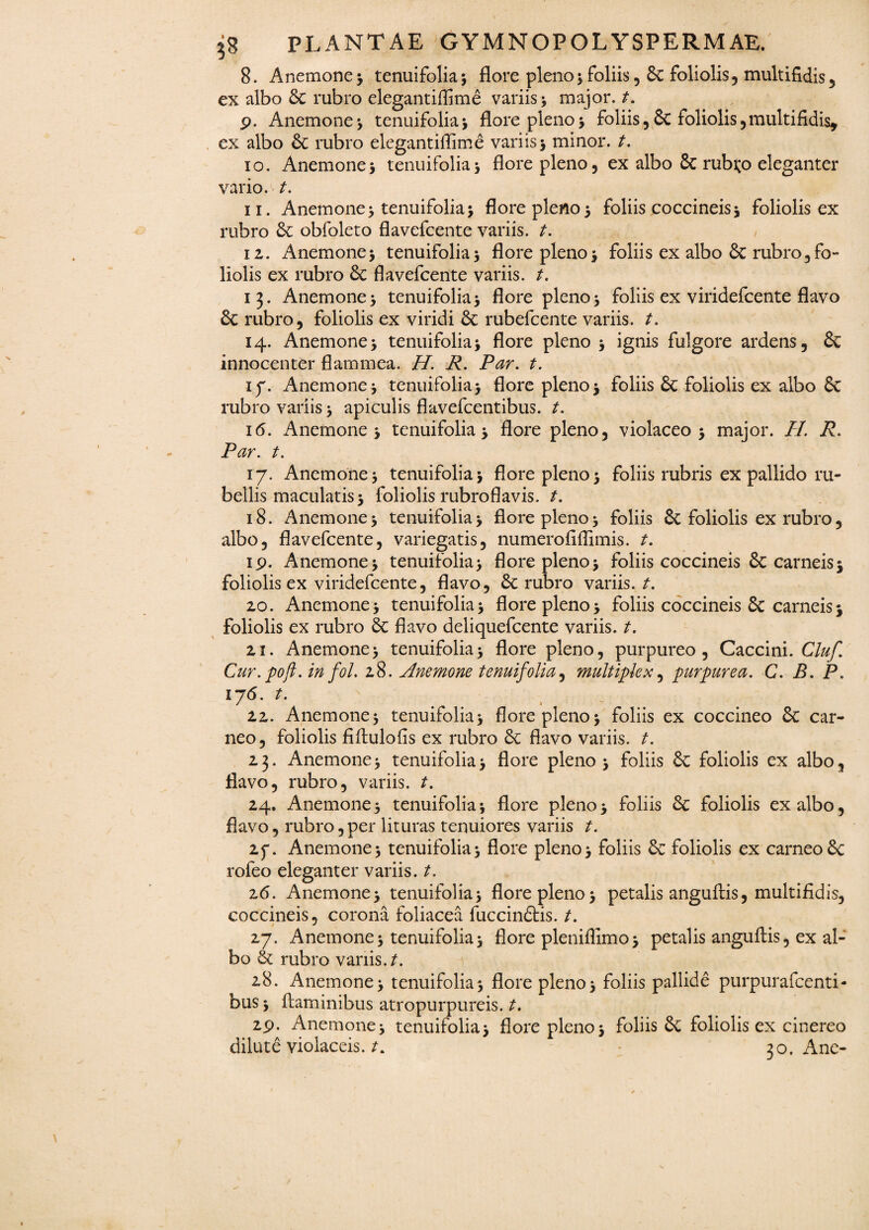 8. Anemone } tenuifolia} flore pleno} foliis, 6c foliolis, multifidis , ex aibo 6c rubro elegantiffime variis > major, t. p. Anemone*, tenuifolia} flore pleno> foliis,& foliolis,multifidis, ex albo & rubro elegantiflime variis j minor, t. 10. Anemone> tenuifolia} flore pleno, ex albo 6c rubido eleganter vario, t. 11. Anemone} tenuifolia} flore pleno5 foliis coccineis\ foliolis ex rubro & obfoleto flavefcente variis, t. 12. Anemone5 tenuifolia} flore pleno j foliis ex albo 6c rubro, fo¬ liolis ex rubro & flavefcente variis, t. 13. Anemone> tenuifolia} flore pleno} foliis ex viridefcente flavo & rubro, foliolis ex viridi & rubefcente variis, t. 14. Anemone} tenuifolia} flore pleno } ignis fulgore ardens, & innocenter flammea. H. R. Par. t. if. Anemone } tenuifolia} flore pleno 5 foliis £c foliolis ex albo 8c rubro variis } apiculis flavefcentibus. t. 16. Anemone } tenuifolia > flore pleno, violaceo 5 major. H. R. Par. t. 17. Anemone > tenuifolia \ flore pleno 5 foliis rubris ex pallido ru¬ bellis maculatis } foliolis rubroflavis. t. 18. Anemone 5 tenuifolia > flore pleno } foliis 6c foliolis ex rubro, albo, flavefcente, variegatis, numerofiflimis. t. ip. Anemone } tenuifolia} flore pleno} foliis coccineis 8c carneis $ foliolis ex viridefcente, flavo, 6c rubro variis./. 20. Anemone} tenuifolia} flore pleno} foliis coccineis 6c carneis j foliolis ex rubro & flavo deliquefcente variis, t. 21. Anemone} tenuifolia} flore pleno, purpureo, Caccini. Cluf. Cur.poft.infol. 28. Anemone tenuifolia, multiplex, purpurea. C. B. P. 1J6. t. . . 22. Anemone} tenuifolia} flore pleno} foliis ex coccineo car¬ neo, foliolis fiftulofis ex rubro Se flavo variis, t. 23. Anemone} tenuifolia} flore pleno } foliis £c foliolis ex albo, flavo, rubro, variis, t. 24. Anemone} tenuifolia} flore pleno} foliis &: foliolis exalbo, flavo, rubro,per lituras tenuiores variis t. if. Anemone} tenuifolia} flore pleno} foliis 6e foliolis ex carneo£c rofeo eleganter variis, t. 16. Anemone} tenuifolia} flore pleno} petalis anguftis, multifidis, coccineis, corona foliacea fuccindtis. t. 27. Anemone} tenuifolia} flore pleniflimo} petalis anguflis, ex al¬ bo & rubro vanis./. 28. Anemone} tenuifolia} flore pleno} foliis pallide purpurafcenti- bus} flaminibus atropurpureis. t. 2p. Anemone} tenuifolia} flore pleno} foliis 6c foliolis ex cinereo dilute violaceis./. 30. Ane-
