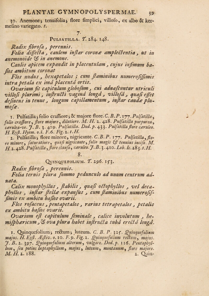 30. Anemone> tenuifoliaj flore fimplici, villofo, ex albo & ker- mefino variegato, t. 7’ PuLSATILLA. 7*. 2.84. I48. Radix fibrofa j perennis. Folia diffeEta j caulem infiar coronce ample cienti a ut in anemonoide & in anemone. Caulis apicem expandit in placentulam cujus infimum ba- fios ambitum coronat Flos nudus > hexapetalos ; cum flaminibus numerofijfimis intra petala ex ima placenta ortis. Ovarium fit capitulum globofitm ^ cui adnaficuntur utriculi villo fi plurimi ^ infiruFti vagina longa > villofia j qua fi ejflet definens in tenue j longum capillamentum infiar cauda plu- mofie. 1. Pulfatilla * folio crafliore \ 8c majore flore. C.B.P.i 77, Pulfatilla y folio craffiore, flore majore, dilutiore. M. H. z. 418. Pulfatilla purpurea^ cuirulea-ve. B» 3» 4^^* Pulfatilla. FOod. p. 453* Pulfatilla fore c&ruleo, H.Eyfi. Hyem. o.i. F.6. Fig.z. t.H. 2. Pulfatilla‘y flore minore, nigricante. C.B.P. 177. Pulfatilla^ flo¬ re minore^ faturatiore, qua fi nigricante ^ folio magis & tenuius incifo. M. H. z. 42.8. Pulfatilla y flor e claufo, caeruleo. J. B. 3.410. Lob.Ic.zZ^. t.H. 8. Quinquefolium. jT. 296. 173. Radix fibrofa perennis. Folia ternis plura fUmmo pedunculo ad unum centrum ad- nata. Calix monophyllus j flabilis ^ quafi otlophyllos ^ vel deca- phy lio s j infiar fi elice e xp anfus ^ cum flaminibus numerofif- fimis ex ambitu bafios ovarii. Flos rofaceus j pentapetalos rarius tetrapetalos petalis ex ambitu bafios ovarii. Ovarium efl capitulum feminale calice involutum j he- mifphcericum & ova plura habet infiniti a tuba erecta longa. 1. Quinquefolium j reftum y luteum. C. B. P, 327. Quinquefolium majus. H.Eyfi. JEftiv. 0.10.. F.9. Fig.z. Quinquefolium retium^ majus. J. B. z. 397. Quinquefolium alterum, vulgare. Dod.p. 116. PentaphyF lum, feu potius heptaphyllum, majus , luteum, montanum% majore. M» H. z. 188. 2. Quia-