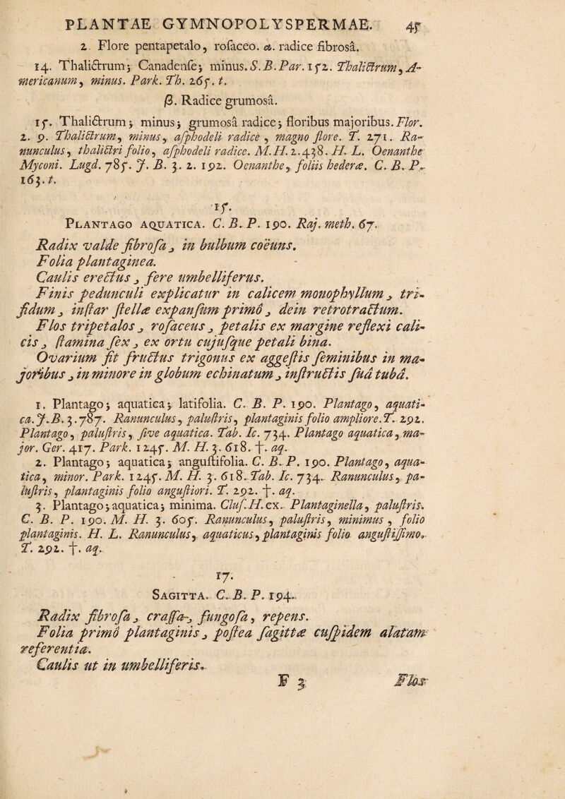 z. Flore pentapetalo5 rofaceo. et. radice fibrosa. 14. Tbaliftrum5 Canadenfe$ minus. S.B. Par. 1 f 2. 2loaliftrum3 ^ mericanum 5 minus. Park. Ph. z6f. t. \ (3. Radice grumosa. if. Thali£trum> minus > grumosa radice 5 floribus majoribus. F/r. 2. p. PhaliUrum^ minus y afphodeli radice , magno flore. T. 271. Ra¬ nunculus 5 th ali Ciri folio 9 afphodeli radice. M.H.z. 438. i/. L. Oenanthe Myconi. Lugd. 787. J. B. 3. 2. 192. Oenanthe, foliis hederce. C. B. P* 16$.t. t ' if. Plantago aquatica. C.B.P.190. Raj.meth. 67, Radix valde fibrofa j in bulbum coeuns. Folia plantagine a. Caulis ere Plus ^ imbelliferus. Finis pedunculi explicatur in calicem monophyllum y tri¬ fidum j inflar flellre expanfium primo ^ retrotraPlum. tripe talos rofaceus ^ petalis ex margine reflexi cali* rij* (lamina fex ^ ex ortu cujufque petali bina. Ovarium fit fruPius trigonus ex aggefiis feminibus in ma- foribus j in minore in globum echinatum infiruPlis fud tuba. 1. Plantago 5 aquatica 5 latifolia. C. B. P. 190. Plantago5 aquati¬ ca. J.B. 3.787. Ranunculus y paluftris, plantaginis folio ampliore. T. 292. Plantago9 paluftris5 fi ve aquatica. Tab. Ic. 734. Plantago aquaticay ma¬ jor. Ger. 417. Park. 124f. A/. //. 3 . 618. L 2. Plantago 5 aquatica * anguftifolia. C. P. P. 190. Plantago, minor. Park. 124f.il/. //. 3. 6iStIab. Ic. 734. Ranunculusr.pa¬ luftris ^ plantaginis folio anguftiori. 3f. 292. 'f. 3 . Plantago y aquatica 5 minima. Cluf H.cx. Plantaginellar paluftris. C. B. P. 190. M. H. 3. 60f. Ranunculus5 paluftris, minimus , folio plantaginis. H. L. Ranunculus, aquaticus 5 plantaginis folio angufitjftmo* F 191. f, 0f.. • ■ r7- Sagitta. C. B. P. 194. Radix fibrofhj crafia^ fungofa, repens. Folia primo plantaginis ^ poft e a fagitt£ cufpidem alatam referentia. Caulis ut in umbeUiferis*