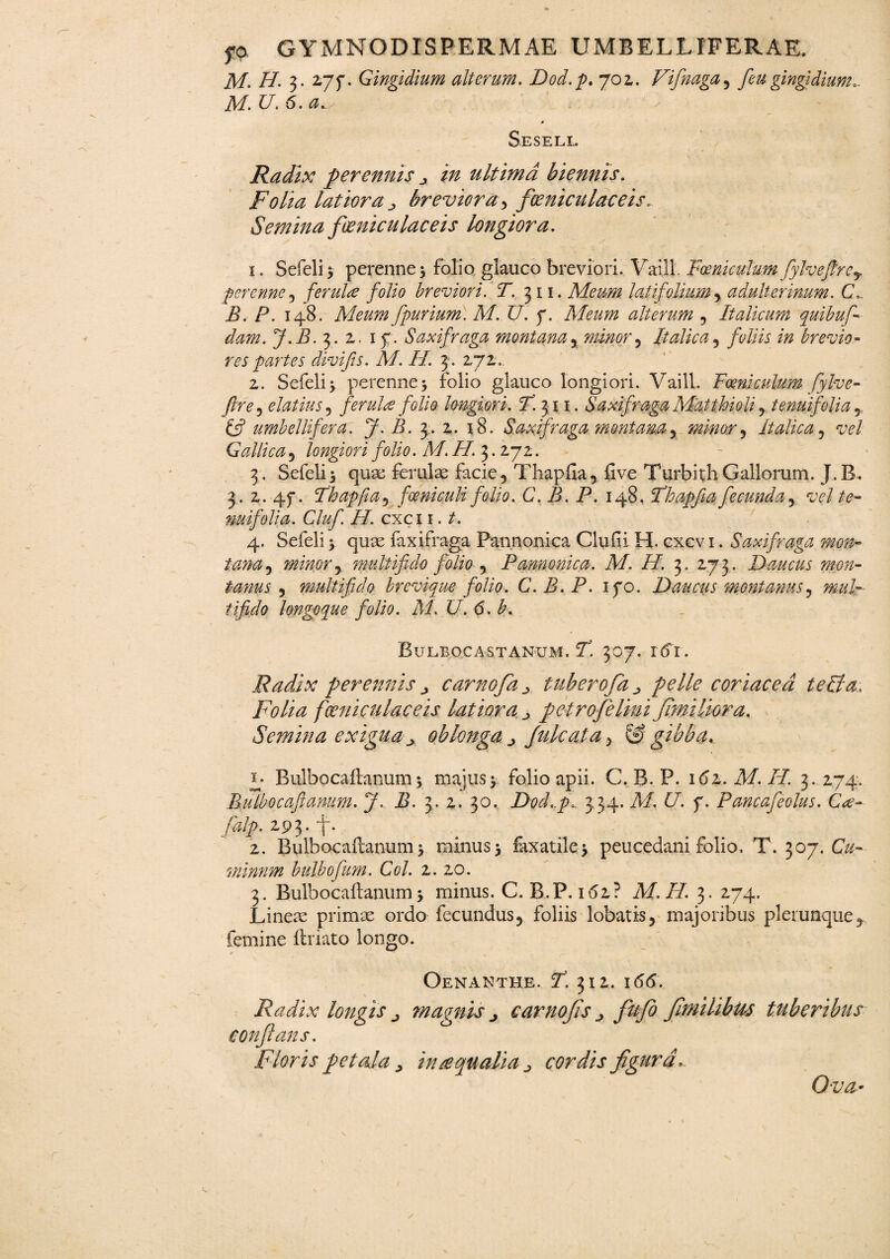 M. H. 3. 2,7f. Gingidium alterum. Dod.p. 702. Fifnaga, f eu gingidium.. M. U. 6. a..s - ' * Seseli. Radix perennis ultima biennis. Folia latiora j breviora, foeniculaceis. Semina foeniculaceis longiora. 1. Sefeli 5 perenne 5 folio glauco breviori. Vaill. Foe ni culum fylvejfrcy perenne, ferula folio breviori. T. 311. Meum latifolium, adulterinum. C. B. P. 148. Meum fpurium. M. U. y. Meum alterum , Italicum quibus¬ dam. J.B. 3. 2. 17. Saxifraga montana, minor ^ Italica, foliis in brevio¬ res partes divifis. M. H. 3. 272. 2. Sefeli 3 perenne > folio glauco longiori. Vaill. Foeni culum fylve- ftre 5 elatius 5 ferula folio longiori. F. 311. Saxifraga Matthioli y ienuifolia , £5? umbellifera. J. A. 3:. 2. 18. Saxifraga montanay minor, Italica, w/ Gallicay longiori folio. M. H. 3.272. 3. Sefeli3 quas ferulas facie, Thapfia, five TurbithGallorum. J.B. 3. 2. 4f. Thapfia*> f oeni culi folio. C. B. P. 148. Fhapfia fecunda, vel te- nuifolia. Cluf. H. cxci 1. /. 4. Sefeli 3 quae faxifraga Pannonica Clufii H. cxcvi. Saxifraga mon- /«z, minor y multifido folio , Pannonica. M. H. 3. 273. Daucus mon¬ tanus 3 multifido brevique folio. C. B. P. ifo. Daucus montanus, tifido longoque folio. M. U. 6. b. Bulbocastanum. Y. 307. r(Ti. Radix perennis j carnofiatuber ofa ^ pelle coriacea te Fla. Folia foeniculaceis latiora petro felini fimiliora. Semina exigua jy oblonga ^ Julc at a > & gibba. I; Bulbocaftanum3 majus3. folio apii. C. B. P. i6z. M. H. 3. 274. Bulbocaftanum. J. B. 3. 2. 30. Dod.p... 334. A/. £7. f. Pancafeolus. C<e- falp. 293. -j-. 2. Bulbocaftanum 3 minus 3 faxatile> peucedani folio. T. 307. C&- minnm bulbofum. Coi. 2. 20. 3. Bulbocaftanum 3 minus. C. B.P. 162? M. H. 3. 274. Lineae primae ordo fecundus, foliis lobatis, majoribus plerunque, femine ftriato longo. Oenanthe. 7. 312. i(5<5. Radix longis magnis j earnofs j fttfi f milibus tuberibus conflans. Floris petala , in ce qualia ^ cordis figura. Ova-