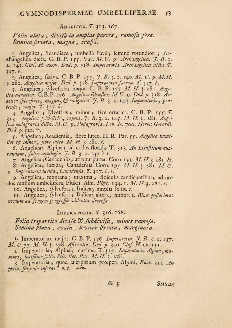 Angelica. T. 313. 167. Folia alata j divifa in amplas partes ^ rafnefa fere, Semina friata, magna ^ crajfa. l Angelica > Scandiaca s umbella flavas femine rotundioris Ar- ehangelica didta. C. B. P. iyy. Var. M. U. p. ArchangelicaJ. B. 3. 2. 143, Cluf. H. cxcv. Dfld'. />. 318. Imperatoria Archangelica ditia, I*. 317. b. 2. x^ngelicaj fativa. C. B. P. iff. 7. I?. 3. 2. F40. M. U. p. M.H. 3 . 280. Angelica major. Dod.p. 318'. Imperatoria fativa. T*. 317. b. 3. Angelicaj fylveftriss major. C. B. P. iff. AI. H. 3. 280. 7*Vtf aquatica. C.B.P. rf6. Angelica fylveftris M.U. p. Dod.p. 318. ^2- geUca fylveftris, magnay & vulgatior. J. B. 3. 2. 144, Imperatoriay pra- tenfis, major. I*. 317. b. 4. Angelicas fylveftris s minor s five erratica. C. B. P. i ff . 7*. 313. Angelica fylveftris 5 repens. J. B. 3.2. 145*. M. H. 3. 281. Ange¬ lica podagraria ditia. M. U. p. Podagraria. Lob. Ic. 700. Herba Gerar di. Dod.p. 320. f. 5*. Angelica s Acadienfis s flore luteo. H.R. Par. ff. Angelica humi¬ lior & minor? flore luteo. A/. //. 3.281./. 6. Angelicas Alpinas ad nodos florida. T. 313. Ligufticum qm- rundam, foliis aquilegis. J. B. 3 . 2. 147 P t. 7. Angelica s Canadenfis s atro purpurea. Corn. 1 pp. A/. 7/. 3.281. //. 8. Angelicas lucidas Canadenfis. Corn. ipy. Af. 77. 3. 281, Af. 27. p. Imperatoria lucida 5 Canadenfis. T. 317. b. t. p. Angelicas montanas maximas flofcuiis candicantibus s ad no¬ dos caulium umbellifera. Plukn. Alm. P7y/. i 34. 1. Af. 77 3, 281. /. 10. Angelicas fylveftriss, Italicas amplis foliis./. fi. Angelicas fylveftriss- Italicas.alteras minor, t. Bina pofteriores necdum ad frugem progrefjie videntur diverfe. Imperatoria. T5. 316! 168; Folia tripartito divifa & Jiibdivifa ^ minus ramofa. Semina plana j ovata J>. leviter friata > marginata, t. Imperatorias major. C. B. P. 1 f6. Imperatoria. J. B. 3. z. 137. M. U. 77. Af. H. 3 . 278. Aftrantia. Dod. p. 320. Cluf. H. cxci 11. 2. Imperatorias Alpinas maxima. T. 317. Imperatoria Alpina ^ma¬ mma 5 latijftmofolio. Sch. Bot. Par. M.H. 3. 278. 3. Imperatorias quod laferpitium proiperi Alpini. Exot. zn.An gotius fmyrnio inferas P b.t.