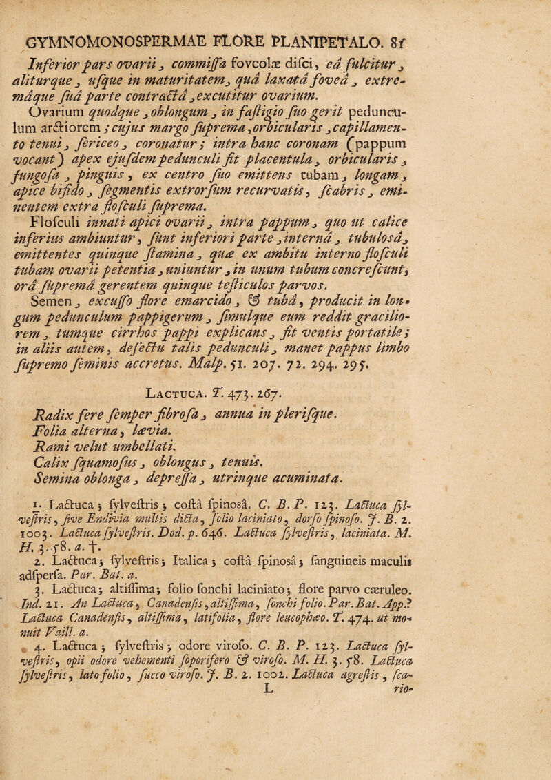 Inferior pars ovarii , commijfa foveolae difci> ea fulcitur , alitur que , ufque in maturitatem, qua laxata fovea , extre* mdque fudparte contrafld,excutitur ovarium. Ovarium quodque , oblongum , in faftigio fuo gerit peduncu¬ lum ardioremycujus margo Juprema^orbicularis ,capillamen- to tenui , fericeo , coronatur y intra hanc coronam (pappum vocant) apex ej uf dem pedunculi fit placentula , orbicularis. Jungofa , pinguis, ex centro fuo emittens tubamj longam, apice bifido , fegmentis extrorfum recurvatis 3 fcabris , emi- nentem extra flofculi Juprema. Flofculi innati apici ovarii, intra pappum , quo ut calice inferius ambiuntur 5 funt inferiori parte , interna , tubulosa, emittentes quinque flamina, qua ex ambitu interno flofculi tubam ovarii petentia , uniuntur , in unum tubum concrefcunt, ora Juprema gerentem quinque tefliculos parvos. Semen , excujfo flore emar eido , & tubd ^ producit in lon» gum pedunculum pappigerum , fimulque rem, tumque cirrhos pappi explicans, in aliis autem, defeffu talis pedunculi, fupremo feminis accretus. Malp. ji. 207. 72. 294. 297. Lactuca. T. 473.167. Radix fere femper fibrofa, annua in plerifque. Folia alterna ) lavia. Rami velut umbellati. Calix fquamofus , oblongus , tenuis, Semina oblonga, deprejfa, utrinque acuminata. \ u Laduca 5 fylveftris -y cofta fpinosa. C. B.P. 123. Laftuca JyU <veftris 5 five Endivia multis di61 a 5 folio laciniato, dorfo fpinofo. J. B. z. 1003. LaUuca fylveftris. Dod.p. 646. Lattuca fylveftris ? laciniata. M. f. 2. Laduca* fylveftris 5 Italica 5 cofta fpinosa j fanguineis maculis adfperfa. Par. Bat. a. 3. Laduca* altiftima 5 folio fonchi laciniato j flore parvo caeruleo. Ind. 21. An Lattuca 5 Canadenfis 5 altiftima, fonchi folio. Par. Bat. App? La6luca Canadenfis, altiftima, latifolia, flore leucophaeo. T. 474. ^0- Faill. a. 4. Laduca 5 fylveftris > odore virofo. C. P. 123. Laffiuca fyl- veftris5 0pii 0^0 vehementi foporifero & virofo. M. H. 3. 78. Laffiuca fylveftris 5 lato folio 5 fucco virofo. J, B. 2. 1002. Lattuca agreftis , fca- L w- 07/;^ reddit er actito- r ° 'i Jit ventts portat ile y manet pappus limbo