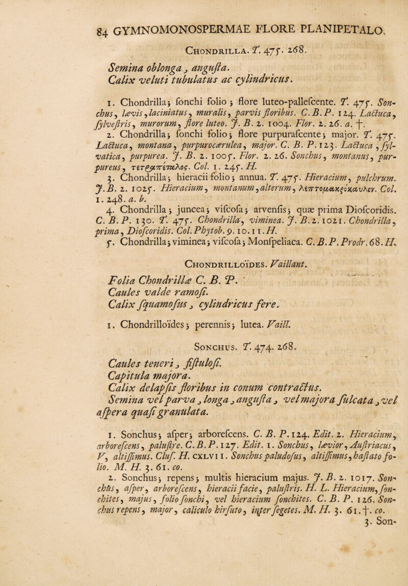 Chondrilla. F. 47f. 2,<58. Semina oblonga j angufia. Calix ve luti tubulatus ac cylindricus. 1. Chondrilla5 fonchi folio 3 flore Iuteo-pallefcente. F. 477. £00- rfe, l<evis ylaciniatus y muralis, parvis floribus. C.B.P. 114. LaClucay fylveftrisy murorum5 J*. i?. 2. 1004. Flor. 2. 2(5. -f. 2. Chondrilla* fonchi folio* flore purpurafcente* major. F. 477. Laffucay montana, purpur occer ulea y major. C. B. P.iz3. Laffuca yfyl- vatica, purpurea. J. B. 2. 1007. F/flr. 2. 26. Sonchus5 montanus5 pureus 5 Tir^yc7re73&ro^. Coi. 1. 247. 3. Chondrilla* hieracii folio * annua. 71 477. Hieracium y pulchrum. J.B. 2. 1027. Hieracium ? montanumyalterum, M7TTo^ctK^Qmv\cv. Coi. 1.248. <2. 4. Chondrilla* juncea* vifcofa* arvenfis* quse prima Diofcoridis. C.B.P. 130. F. 477. Chondrillay viminea. J. B.z. 1021. Chondrilla 5 prima5 Diofcoridis. Coi. Phytoh. 9.10.11.//. 7. Chondrilla* viminea* vifcofa* Monfpeliaca. C.B.P, Prodr. 68. /A Chondrilloides. Vaillant. Folia Chondrilla C. B. T. ^ “ Caules valde ramofi. Calix fquamofm j cylindricus fere, 1. Chondrilloides* perennis* lutea.Vaill. Sonchus. 7*. 474. 268. Caules teneri fiflulofi\ Capitula majora. Calix delapfis floribus in conum cont raptus. Semina vel parva longa ^ angufia j vel majora fulcata j vel a [pera quafi gr anulata. 1. Sonchus* afper* arborefcens. C. B. P. 124. Edit. 2. Hieraciumy arborefcens, paluftre. C.B.P .127. Edit. 1. Sonchus, Ice vior, Aujlriacus, F, altiffimus. Cluf. H. cxlvi i. Sonchuspaludofus, altiflimusyhaflat0 fo¬ lio. M. H. $. 61. co. 2. Sonchus* repens* multis hieracium majus. J.B.z. 1017.500* chiis i afper, arborefcens 5 hieracii facie ? paluftris. H. L. Hieracium, fon- chites 5 majus y folio fonchi 3 vel hieracium fonchites. C. B. P. 126. 6*00- chus repens, major y caliculo hirfuto 0 irtf er f egete s. M, H. 3. 6i.f. 00. 3. Son*