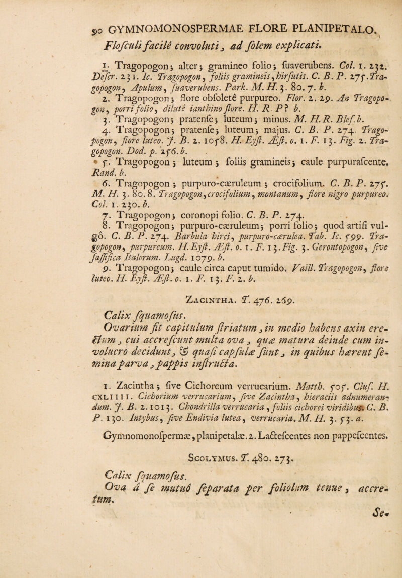 r so GYMNOMONOSPERMAE FLORE PLANIPETALO. ~ t Flofiuli facile convoluti ad filem explicatu 'u Tragopogon 5 alter 5 gramineo folio $ fuaverubens. Coi. r. 232. Defer. 231. Ic. Tragopogon, foliis gramineis 5 hir futis. C. B. P. zyg.Tra¬ gopogon5 Apulum, fuaverubens. Park. M. H. 3. 80. 7. P 2. Tragopogon 5 flore obfolete purpureo. PPr. 2. 2p. Tragopo- gon5 porri folio ^ dilute ianthino flore. H. RP1 b. 3. Tragopogon5 pratenfe> luteum 5 minus. M. H. R. Bleflb. 4. Tragopogon j pratenfe5 luteum5 majus. C. i?. P. 274, Trago- fogon, y. P. 2. iof8. //. Eyft. ALft. 0. 1. P. 13. P/g. 2. 2nj- gopogon. Dod. p. zy6.b. 1 f. Tragopogon 5 luteum 5 foliis gramineis 5 caule purpurafeente. Rand. b. 6. Tragopogon 5 purpuro-cceruleum 5 crocifolium. C. B. P. 277. M. H. 3. 80.8. Tragopogon ^ crocifolium 9 montanum 5 flore nigro purpureo. C<?/. 1. 230. b. 7. Tragopogon > coronopi folio. C. B. P. 274. 8. Tragopogon> purpuro-caeruleum > porri folio5 quod artifi vul¬ go. C. P. P. 274. Barbula hirci5 purpuro-caerulea. Tab. Ic. 799. Yra- gopogon9 purpureum. H.Eyft. AEft.o.i.F. i$.Fig. 3. Gerontopogon3 yfo;* jajfifica Italorum. Lugd. 1079. b. p. Tragopogon i caule circa caput tumido. PW/A Tragopogon 5 flore luteo. H. Eyft. ALft. 0. 1. F. 13. P. 2. Zacintha. 2. 476. 2-5p. Calix fquamoflm. Ovarium fit capitulum friatum „ i;/ medio habens axin ere- ilum j cui ac cr e fiunt multa ova > qua matura deinde cum in¬ volucro decidunt& quafi capfulte funt j in quibus h arent fe¬ mina parva j pappis infirucla. •v ' * 1. Zacintha J five Cichoreum verrucarium. Matth. 707. Cluf H. cxliiii. Cichorium verrucarium^ five Zacintha ^ hier aciis adnumeran- dum. J. B. 2.1013. Chondrilla verrucaria, foliis cichorei viridibus. C. B. P. 130. Intybus, Endivia lutea, verrucaria, ikf. /A 3.73.^. Gymnomonofpermse 5 planipetalas. 2. Laflefcentes non pappefeentes. SCOLYMUS. Zl 480. 273. Calix fquamofus. Ova d fi mutud fiparata per foliolum tenue 3 acere* tum♦