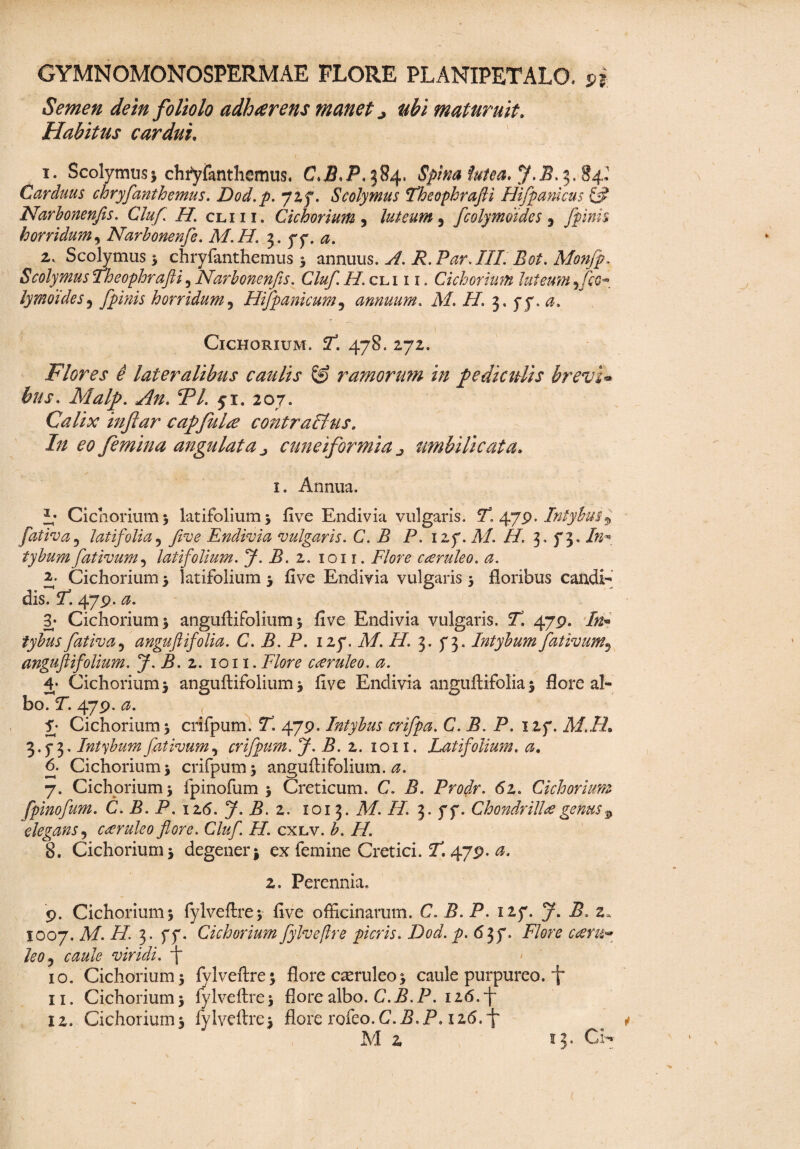 Semen dein foliolo adherens manet * ubi maturuit. Habitus cardui. i. Scolymusj chryfanthemus. C>B<P.%84. Spina lutea* 3.84? Carduus chryfanthemus. Dod.p. 727. Scolymus fheophrafti Hifpanicus (fl Narbonenfis. Cluf H. clui. Cichorium, luteum 5 fcolymoidcs , fpinh horridum, Narbonenfe. M.H. 3. 77. z. Scolymus } chryfanthemus * annuus. A. R.Par. III. Bot. Monfp. Scolymus Theophrafti 5 Narbonenfis. Cluf. H. cli i i . Cichorium luteum fco~ lymdides5 fpinis horridum, Hifpanicum9 annuum. M. H. 3. 77. Cichorium. J*. 478. 272. Flores e lateralibus caulis & ramorum in pediculis brevi* bus. Malp. A. FI. 51. 207. Calix inftar capfulte contractus. In eo femina angulata j cuneiformia umbilicata. 1. Annua. i* Cichorium j latifolium 5 five Endivia vulgaris. 7t 479- Intybus ^ fativa? latifolia, five Endivia vulgaris. C. B P. 127. AI. H. 3* f 5 - tybum fativum5 latifolium. J. B. 2. 1011. P/0/^ caruleo. a. E Cichorium } latifolium 5 five Endivia vulgaris 5 floribus candi¬ dis. 7. 479.0. 3- Cichorium > anguftifolium 5 five Endivia vulgaris. ST. 479. ife. tybus fativa5 anguftifolia. C. B. P. 127. A/. AT. 3. 73. Intybum fativum? anguftifolium. J* B. 2. 1011 .Flore caruleo. a. 4* Cichoriumj anguftifolium} five Endivia anguftifolia} flore al¬ bo. 7. 479. 0. 7- Cichorium} crifpum. 7. 479. Intybus crifpa. C. B. P. 127. AI.N, 3.73. Intybum fativum, crifpum. J. B. 2. 1011. Latifolium. 0. 6. Cichorium} crifpum} anguftifolium.^. 7. Cichorium} fpinofum } Creticum. C. B. Prodr. 6z. Cichorium fpinofum. C. B. P. iz6. J. B. 2. 1013. A/. //. 3. 77. Chondrilla genus $ elegans, caruleo flore. Cluf. H. cxlv. b. H. 8. Cichorium} degener} ex femine Cretici. ST. 479. 2. Perennia. 9. Cichorium} fylveftre} five officinarum. C. 5. P. 127. y. P. 2. 1007. A/, i/. 3. 77. Cichorium fylveftre picris. Dod. p. 63 f. Flore eam* leo? viridi, f 10. Cichorium} fylveftre; flore caeruleo} caule purpureo, f 11. Cichorium} fylveftre} flore albo. C.B.P. 126.~j~ 12. Cichorium} fylveftre} flore rofeo.C.P.P» 126.“f*