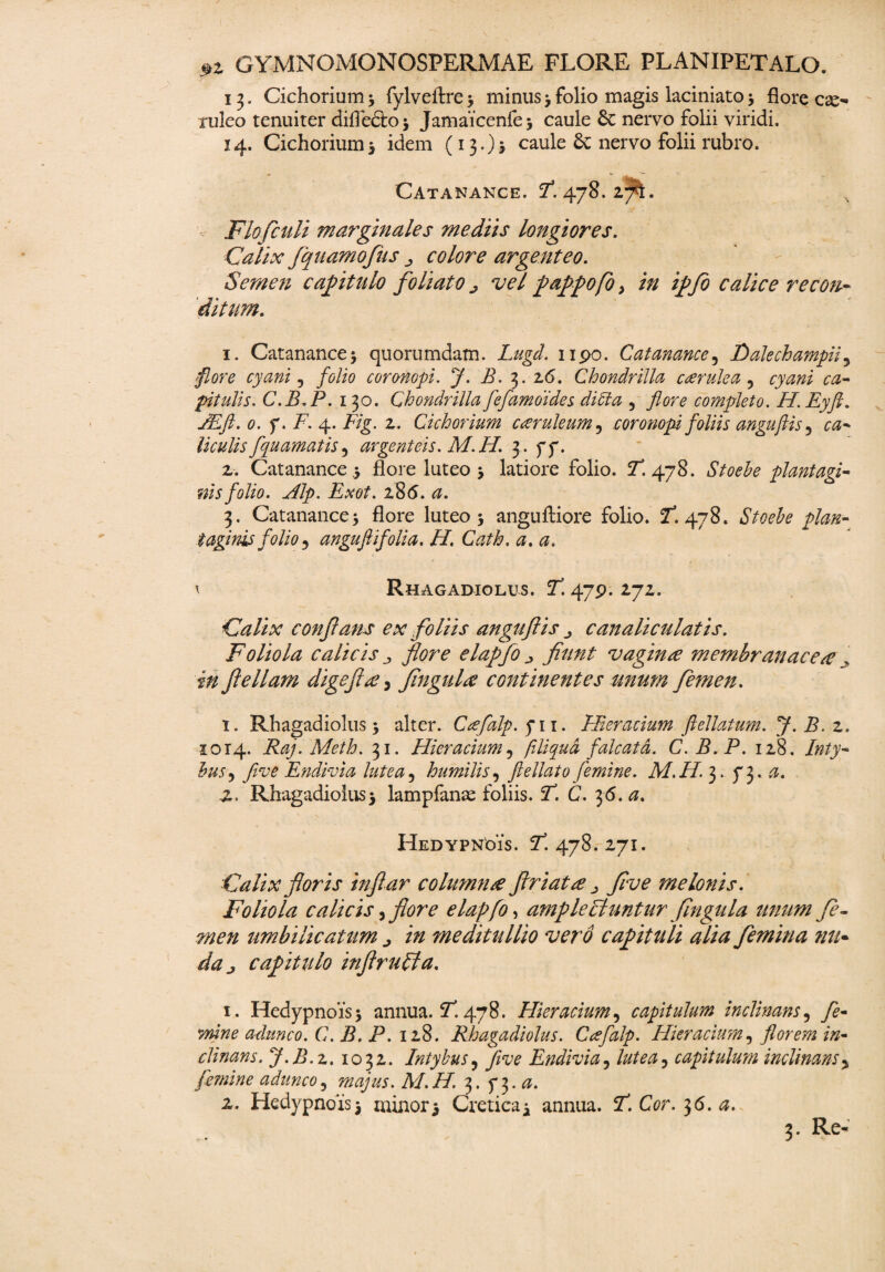 13. Cichorium* fylveftre* minus * folio magis laciniato* floree^- ruleo tenuiter difledto* Jamaicenfe* caule 6c nervo folii viridi. 14. Cichorium* idem (13.)* caule & nervo folii rubro. Catanance. fl. 478. 27L Flofculi marginales mediis longiores. Calix fquamofus colore argenteo. Semen capitulo foliato ^ vel pappo flo y in ipfo calice recon¬ ditum. 1. Catanance* quorumdam. Lugd. 1190. Catanance, Dalechampii5 flore cyani, folio coronopi. J. B. 3. 26. Chondrilla caerulea 5 pitulis. C.B.P. 1 30. Chondrilla feflamdides di Cia , flore completo. H. Eyft. JEft. 0. f. i7. 4. Fig. 2. Cichorium caeruleum, coronopi foliis anguftis 5 r#- liculisfquamatis ? argenteis. M.H. 3. ff. 2. Catanance * flore luteo * latiore folio. 7. 478. Stoehe plantagi¬ nis folio. Alp. Exot. P&6. a. 3. Catanance* flore luteo* anguftiore folio. 2f. 478. /te- taginis folio ? angufiifolia. H. Cath, <2. ' Rhagadiolus. 2. 479. 272. Calix conflans ex foliis anguftis canaliculatis. Foliola calicis j flore elapfo fiunt vagina membranacea, i# ftellam digefta, flngula continentes unum femen. 1. Rhagadiolus* alter. Ccefalp.yn. Hieracium ftellatum. J. B. z. 1014. Raj. Meth. 31. Hieracium, filiqud falcata. C.B.P. 128. huS) fi ve Endivia lutea, humilis, ftellato femine. M.H. 3. f 3. -2. Rhagadiolus* lampfanae foliis. 2. C. 36. <2. Hedypnois. T! 478.271. Calix floris inflar columna ftriata ^ flve melonis. Foliola calicis flore elapfo, amplectuntur flngula imum fe¬ men umbilicatum j, in meditullio vero capituli alia femina nu¬ da j capitulo inftrudta. 1. Hedypnois* annua. 2:478. Hieracium, capitulum inclinans, fe- mine adunco. C.B.P. 128. Rhagadiolus. Ccefalp. Hieracium, florem in¬ clinans. J.B.z. 1032. Intybus? flve Endivia, capitulum inclinans> femine adunco, majus. M.H. 3. y3.0. 2. Hedypnois* minor* Cretica* annua. I*. Cor. z6. a.