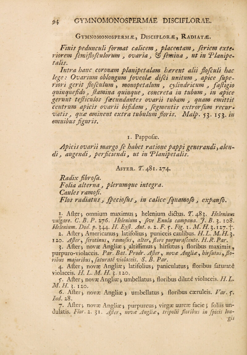 OYMNOMONOSPERMAE DISCIFLORAE, GYMNOMONOSPERM JE 5 DlSCIFLOR^E, RADIATAS. Finis pedunculi format calicem j> placentam j feriem exte¬ riorem femiflofculorum j ovaria © femina ^ ut in Hlanipe- talis. Intra hanc coronam planipetalam h£rent alii flofculi hac lege: Ovarium oblongum foveola difici unitum apice Jupe- flori gerit flofculum > monopetalum , cylindricum , fafligio quin que fido j flamina quinque concreta in tubum ^ in apice gerunt tefticulos feecundantes ovarii tubam quam emittit centrum apicis ovarii bifidam fegmentis extrorfhm re cur* vatis j qua eminent extra tubulum floris. Malp. 53. 153. in omnibus figur is. 1. Pappofas. Apicis ovarii margo Je habet ratione pappi generandi ^ alen¬ di j augendi j perficiendi * ut in Flanipetalis. Aster. T. 481.274. Radix fibrofa. Folia alterna j plerumque integra. Caules ramofi. Flos radiatus j fpeciofiis ^ in calice fquamofo expanfo. i; After; omnium maximus; helenium di£his. T. 483. Helenium vulgare. C. B. P. 276. Helenium , flive Enula campana. J. B. 3. 108- Helenium. Dod. p. 344. H. Eyft. Aut. 0. 2. F. f. Fig. 1. M. H. 3. izj.f. z. After; Americanus; latifolius; puniceis caulibus. H.L. M.H. 3, 120. After 5 ferotinus 5 ramofus, alter^ flore purpurafcente. H.R. Par. 3. After; novas Anglias ; altiflimus; hirfutus; floribus maximis, purpuro-violaceis. Par. Bat. Prodr. After, Anglia5 hirfutus^flo- rihus majoribus, fatur at e violaceis. S. B. Par. 4. After; novas Anglias; latifolius; paniculatus; floribus faturate violaceis. //. L. M. H. 3. 120. f. After; novasAnglias; umbellatus; floribus dilute violaceis. //.L. Af. /7. 3. 120. (5. After; novas Anglias ; umbellatus ; floribus ceeruleis. f. /*/. 28. 7. After; novae Anglias; purpureus; virgee aureas facie; foliis un¬ dulatis. Flor. z. 31. After j nova Anglia, tripolii floribus in ftpicis lon- s
