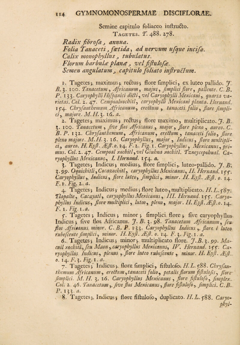 Semine capitulo foliaceo inflrudto. Tagetes. T. 488. 278. Radix fibrofa j, annua. Folia Tanae et t,foetida, ad nervum ufque incijd. Calix Monophyllus j tubulatus. Florum barbula plana „ vel fiflulofe. Semen angulatum ^ capitulo foliato inftruEtum. 1. Tagetes*. maximus * redtus* flore fimplici, ex luteo pallido. Jl B. 3. 100. Tanacetum , Africanum, majus, fimplici flore, pallente. C.B. P. 133. CaryophylliHifpanici didi, vel CaryophylliMe xi cani, quarta va¬ rietas. Coi, z. 47. Cempoalxochitl, caryophylli Mexicani planta. Hernand. 174. Chryflanthemum, Africanum , eredum , tanaceli, folio , flore fimpli¬ ci y majore. M. H. 3 . 16 . &. 2. Tagetes * maximus y reehisy flore maximo, multiplicato. 3 . 100. Tanacetum , five flos Africanus , major, flore pleno , C,. B.P. 132. Chryflanthemum, Africanum, eredum , tanaceti folio, flore pleno majore .M. H. 3.16. Caryophyllus, major, Indicus ^ flore multipli¬ ci y aureo. H.Eyft./Eft.o. 14, i7. 2. 7%. 1. CaryophyllusMexicanus^ pri¬ mus. Coi. 2. 47.. Cempoal xochitl,vel Giuhna xochitl. Tzneycepohual. Ca¬ ryophyllus M exi canus4 /. Hernand. 174.^ 3. Tagetes* Indicus* medius*, flore fimplici,, luteo-pallido. J. X; 3. pp. Oquichitli,Cocazochitl, caryophyllus Mexicanus, II. Hernand. 177; CaryophyllusIndicus, flore luteo, fimplici,, minor. IL Eyft. JEft. 0. 14. T.t flFig.i.a. 4. Tagetes * Indicus y medius * flore lliteo, multiplicato. i/. L. 787: Tlapalte, Cacayatl, caryophyllusMexicanus, III. Hernand. 177. Caryo¬ phyllus Indicus, flore multiplici, luteo, major. H. Eyfl. TEft.o. 14. T. 1. Fig. 1. f. Tagetes* Indicus* minor* fimplici flore * five caryophyllus- Indicus* five flos Africanus. Jh B. 3-p8. Tanacetum Africanum, fle u-i flos Afrisanus minor. C. B. P. 133. Caryophyllus Indicus ^ flore e luteo rube flente fimplici, minor. H.Eyft. TEft. 0. 14. A. 3. Xzg. 1. a. 6. Tagetes* Indicus* minor*, multiplicato flore.. J.B.^. pp. M*- cuil xochitflfeu Maon,..caryophyllus Mexicanus, IV. Hernand. 177. C0* ryophyllus Indicus, plenus , flore luteo rubefleente , minor. H. Eyfl. AEft... O. 14. T. 3. ivg. I. 7. Tagetes* Indicus*, flore fimplici, fiflulofo; H.L.f,88. Chryflan¬ themum Africanum, eredum, tanaceti folio, petalis florum fiftulo fis, flore- fimplici. M. FI. 3, 16. Caryophyllus Mexicanus , flore fiftulofo, flmplex. Coli 2. 46. Tanacetumfive flos Mexicanus, flore fiflulofo, fimplici. C. B, P. 133. v 8. Tagetes*. Indicus* flore fiflulofo, duplicato.//. A. 788. Caryo* phvl- JL < o/
