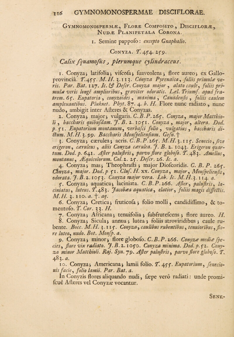 Gymnomonosperm^e, Flore Composito , Disciflor^e 5i NuDtE Planipetala Corona. i. Semine pappofo: excepto Gnaphalio. Conyza. E. 474. zyp. Calix fquamo/us plerumque cylindr acens. 1. Conyza* latifolia * vifcofa* fuaveolens * flore aureo* ex Gallo- provincia. 714f f. M. H. 3.113. Conyza Pyrenaica, foliis primula ve¬ ris. Par. Bat. 12,7. 7r. £5? Defer. Conyza major , caule, foliis pri¬ mula veris longe amplioribus, graviter odoratis. Lai. Iriumf. apud fra¬ trem. 6f. Eupatoria , conyzoides , maxima , Canadenfis , foliis caulem amplexantibus. Pluknet. Phyt. 87. 4. 7. //. Flore nunc radiato * nunc nudo, ambigit inter Afteres & Conyzas. 2. Conyza* major* vulgaris. C.B.P. zdf. Conyza, major Matthio- li, baccharis quibufdam. J. B. z. iofi. Conyza , major, altera. Dod p fi. Eupatorium montanum, verbafei folio , vulgatius , baccharis di- Cium. M.H. 3.£>9. Baccharis Monfpelienfium. Gefn.f 3. Conyza* caerulea* acris. C.B.P.z6y. M.H. 3.1 iy. Senecio, five erigeron, caruleus , aliis Conyza carulca. J. B. z. 1043. Erigeron quar¬ tum. Dod. p. 641. After paluftris, parvo flore globofo. T. 483. Amellus, montanus, Adquicolorum. Col.z. zf. Defer. z6. Ic. a. 4. Conyza* mas* Theophrafti * major Diofcoridis. C.B.P. z6f. Cbnyza, major. Dod.p f 1. Cluf H. xx. Conyza, major, Monfpelienfis, odorata. JB.z. i°f 3. Conyza major vera. Lob. Ic. Af.T1ft3.114. a. y. Conyza* aquatica* laciniata. C.B.P.Z66. After, paluftris, la- ciniatus, luteus. E. 483. Jacob<ea aquatica, elatior, foliis magis diflettis. M.H. 3. 110. f. d. Conyza* Cretica* fruticofa * folio molli, candidiflimo, & to- mentofo. ft. Cor. 33. //. 7. Conyza* Africana* tenuifolia * fubfrutefcens * flore aureo. 77. 8. Conyza* Sicula* annua* lutea 5 foliis atroviridibus * caule ru¬ bente. Bocc. M. H. 3.11 y. Conyza, caulibus rubentibus, tenuioribus, flo¬ re luteo, nudo. Bot. Monfp. a. p. Conyza* minor* flore globofo. C.B.P. z66. Conyzce med'ue fpe- cies, flore vix radiato. J.B.z. 1070. Conyza minima. Dod. p. f z. Cony* za minor Matthioli. Raj. Syn. j$>. After paluftris, parvo flore globofo. f. 483. 10. Conyza* Americana* lamii folio. 7*. 477. Eupatorium, fenedo¬ nis facie, folio lamii. Par. Bat. a. In Conyzis flores aliquando nudi, flepe vero radiati: unde promi- fcue Afteres vel Conyzae vocantur. Sene>