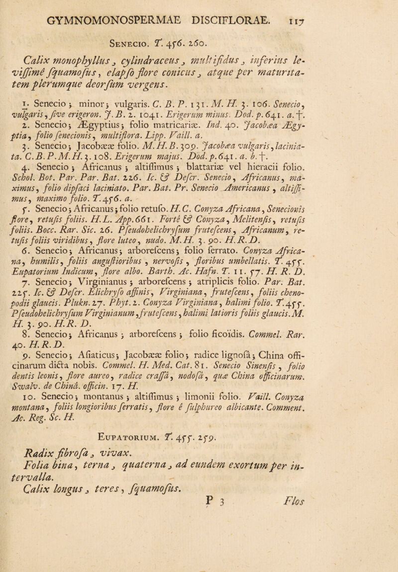 Senecio. F. 4f<5. iSo. Calix monophyIlus ^ cylindraceus ^ multifidus inferius le~ viffime fquamofus, elapfo flore conicus ^ atque per maturita¬ tem plerumque deorfiim vergens. i; Senecio 4 minor * vulgaris. C. B. P. 131. A/. //. 3. 106. Senecio ? vulgaris, five erigeron. J. B. 2. 1041. Erigerum minus. Dod. p. 641. *f\ 2. Senecio $ AEgyptius* folio matricariae. Ind.\o. Jacobxa FEgy- ptia5 folio fenecionis, multiflora. Lipp. VEli. a. 3. Senecio 5 Jacobasae folio. A/. /7. B. 3op. Jacobtea vulgaris, lacinia- C.B.P .M.H.^. 108. Erigerum majus. Dod.p.641. A). 4. Senecio > Africanus 5 altiffimus > blattariae vel hieracii folio, £<70/. i?0£. P^r. P^r. 226. /0. £7 Defer. Senecio, Africanus, ma¬ ximus*, folio dipfaci laciniato. Par. Bat. Pr. Senecio Americanus , altijfl~ mus, maximo folio. T.<yy6. a. f. Senecio 5 Africanus; folio retufo. 77 C. Conyza Africana, Senecionis flore, retufis foliis. H.L. App. 661. Forte & Conyza, Mclitenfis, retujis foliis. Bocc. Rar. Sic. 16. Pfeudohelichryfum frutefeens, Africanum, re- tufis foliis viridibus, flore luteo, 72^0/0. M.H. 3. po. H.R.D. 6. Senecio j Africanus > arborefeens * folio ferrato. Conyza Africa¬ na , humilis , foliis anguftioribus , nervofls , floribus umbellatis. F. 4ff. Eupatorium Indicum, y?0r<? <2/^0. Barth. Ac. Hafn. T. 11. fj. H. R. D. 7. Senecio> Virginianus > arborefeens * atriplicis folio. P^r. 22f. /0. fj? Defer. Elichryfo affinis. Virgini ana, frutefeens, foliis cheno- podii glaucis. Plukn. 27. Phyt.i. Conyza Virginiam, halimi folio. Pfeudohelichryfum Virginianum, frutefeens, halimi latioris foliis glaucis. M. 77 3. po. 77P. D. 8. Senecio j Africanus > arborefeens > folio ficoidis. Commel. Rar. 40. 77 P. D. p. Senecio j Afiaticus* Jacobaeae folio * radice lignofa> China offi¬ cinarum didla nobis. Commel. 77 Afc7 CW. 81. Senecio Sinenfls , folio dentis leonis, flore aureo, radice crajfd, nodofd, qu£ China officinarum. Swalv. de Chind. officin. 17. 77 10. Senecio 5 montanus 3 altiffimus 5 limonii folio. Vaill. Conyza montana, foliis longioribus ferratis, flore e fulphureo albicante. Comment. Ac. Reg. Sc. FI. Eupatorium. 7. 45*p. 2)~p. Radix fibrofiz „ vivax. , ' ' : Folia bina, terna ^ quaterna j, ad eundem exortum per in¬ tervalla. Calix longus,, , fquamofus.