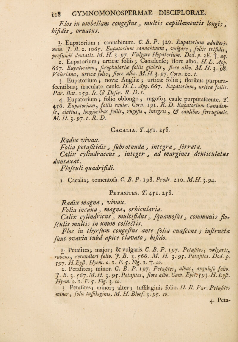 Flos in umbellam congefim j multis capillamentis longis ^ bifidis j ornatus. 1. Eupatorium * cannabinum. C.B.P. 32.0. Eupatorium adulteri¬ num. J. B. 2. 106f. Eupatorium cannabinum , vulgare , foliis trifidis, jprofunde dentatis. M. H. 3. 97. Vulgare Hepatorium. Dod.p. 28. f. 2. Eupatorium 5 urticae foliis 5 Canadenfe* flore albo. H.L. Jpp. 667. Eupatorium, fcrophularice foliis glabris , flore albo. M. H. 3. 98. Valeriana5 urtic£ folio, flore albo. M.H. 3.97. CV/z. 20. t. 3. Eupatorium j novx Angliae * urticx foliis* floribus purpura- fcentibus* maculato caule, i/. L. Hpp. 66 j. Eupatorium, urtic# foliis. Par. Bat. ipp. /0. 6? Defer. R. D.t. 4. Eupatorium 5 folio oblongo , rugofo * caule purpuralcente. 1*. 4f<5. Eupatorium, foliis enuH. Corn. ipi. R.D. Eupatorium Canaden¬ fe, elatius, longioribus foliis , rugo jis 5 integris , £5? caulibus ferrugineis, M.H. 3. 97. P. iP Cacalia. Y. 471.278. Radix vivax. Folia petafitidis j fubrotunda j integra ^ ferrata. Calix cylindraceus j integer ^ ad margines denticulatus duntaxat. Flofculi quadrifidi. 1. Gacalia* tomentofa. C. P. P. 198. Prodr. 210. M.H. 3.94. Petasites. P*. 471.278. Radix magna ^ vivax. Folia incana j, magna> orbicularia. Calix cylindricus „ multifidus ^ fquamofus ^ communis flo- ficulis multis in unum colleblis. Flos in thyrfum congeftus ante folia enafeens ; inflruFta funt ovaria tubd apice clavato > bifido. 1- Petafites* major* & vulgaris. C. P. P. 197. Petafites, vulgaris9 . rubens, rotundiori folio. J. B. 3. p<5<S. Af. //. 3. pp, Petafites. Dod. p. 5*97. H.Eyfi. Hyem. 0. 1. F. p. P/g. 1. i, 00., 2. Petafites* minor. C. B. P. 197. Petafites5 angulofo folio. J. B. 3. y6y.M.H. 3. pp.Petafites5 flore albo. Cam. Epifry93.H.Eyfi. Hyem. 0. 1. F. p. Pzg. 3. £0. 3. Petafites* minor* alter* tuflilaginis folio. H. R. Par. Petafites minor 5 folio tuflilaginis. M. H. Bloefl. 3. pp. 00.