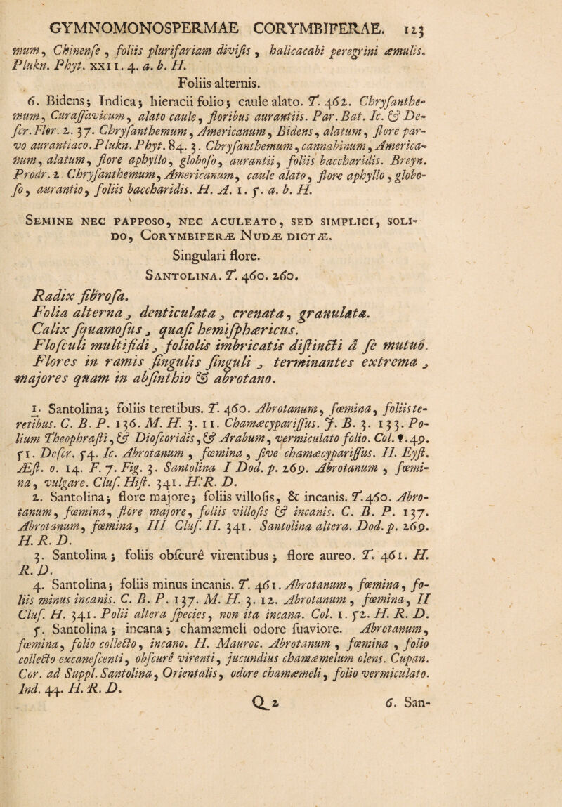 mum, Chinenfe , foliis plurifariam divifis , halicae abi peregrini tfmulis* Plukn. xxi 1.4. 0. b. II. Foliis alternis. 6. Bidens •> Indica y hieracii folio •, caule alato. T. 462,. Chryfanthe- mum, Curajfavicum, <2/^/0 caule, floribus aurantiis. Par.Bat. /<;. £5? D<> fer. Fler. 2. 37. Chryfanthemum , Americanum, Bidens , alatum , flore par¬ vo aurantiaco. Plukn. Phy t. 84. 3. Chryfanthemum , cannabinum , America-* iium, alatum, flore aphyllo, globofo, aurantii, foliis baccharidis. Breyn. Prodr.z. Chryfanthemum , Americanum , alato, flore aphyllo , globo- fo, aurantio, foliis baccharidis. H. A. \ . y. a. b. H. Semine nec papposo, nec aculeato, sed simplici, soli¬ do, Corymbiferae Nudae digtaE. Singulari flore. Santolina. 7*. 460. 260» Radix fibrofa. Folia alterna j denticulata ^ crenata, granulata. Calix fananto fu s ^ quafi hemifphrericus. Flo [culi multifidi foliolis imbricatis difiincli d fie mutud. Flores in ramis fingulis finguli terminantes extrema j majores quam in abfinthio & abrotano. l Santolina j foliis teretibus. 7*. 460. Abrotanum, fgemina, foliis te¬ retibus. C. B. P. 12,6. M. H. 3. 11. Cham<ecypariffus. J. B. 3. 133. P0- //«a» Fheophrafti ,& Diofcoridis ,& Arabum, vermiculato folio. Coi. f .49. f 1. Defer. yey. /<r. Abrotanum , foemina , fi ve chamrecyparijfus. H. Eyft. JEft. 0. 14. F. 7. 3. Santolina I Dod.p. 269. Abrotanum , fcemi- na, vulgare. Cluf.Hift. 341. ZZZ. Z). 2. Santolina > flore majore 5 foliis villo fis, 8c incanis, fl.Afio. Abro¬ tanum ^ fcemina, flore majore, foliis villofis £5? incanis. C. B. P. 137. Abrotanum, fcemina, III Glufi II. 341. Santolina altera. Dod.p. 269. /z z. z>. 3. Santolina j foliis obfcure virentibus $ flore aureo. fT. 451. //. Z.A 4. Santolina> foliis minus incanis. 5T. 461. Abrotanum, fcemina, fo¬ liis minus incanis. C. B. P. 137. A/. //. 3. 12. Abrotanum, fcemina, II Clufl H. 341. Polii altera fpecies, non ita incana. Coi. 1. f 2. //. Z. Z>. y. Santolina j incana > chamaemeli odore fuaviore. Abrotanum, fcemina, folio colle610, incano. H, Mauroc. Abrotanum , fcemina , folio c olle 610 excanefcenti, obfcure virenti, jucundius ch amae melum olens. Cupan. Cor. ad Suppi. Santolina, Orientalis, odore chamaemeli, folio vermiculato. Ind. 44. iZ Z. Z). a* d. San-