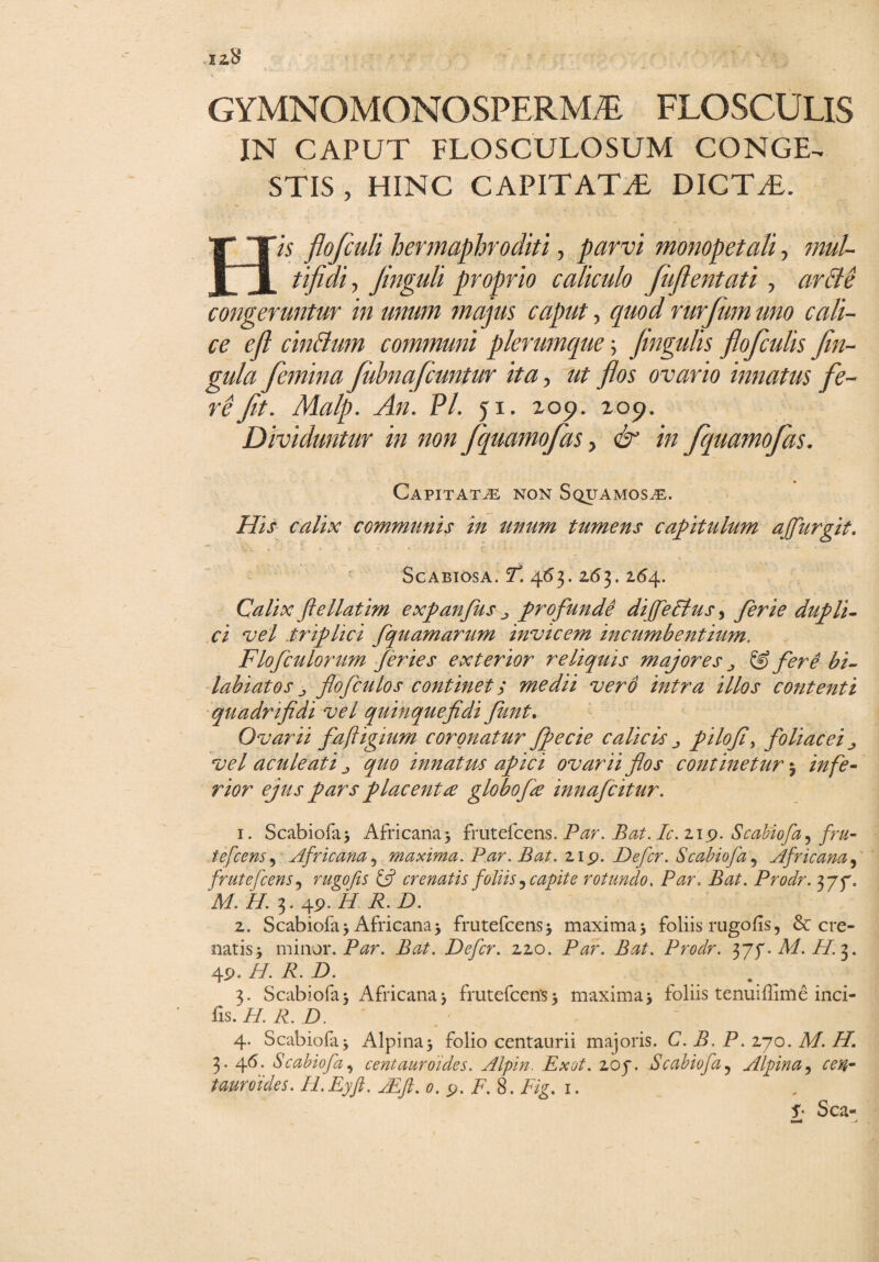 GYMNOMONOSPERMiE FLOSCULIS IN CAPUT FLOSCULOSUM CONGE¬ STIS , HINC CAPIT ATT, DICTT. His flofculi hermaphroditi, parvi monopetali, mul¬ tifidi , Jinguli proprio caliculo fuflentati, arcte congeruntur in unum majus caput, quod rurfum uno cali¬ ce efl cinBum communi plerumque 5 fingulis flofculis fin- gula femina fuhnafcuntur ita, ut flos ovario innatus fe¬ re fit. Malp. An. VI. 51. zo$>. xoq. Dividuntur in non fquamofas, & in fquamofas. Capitata non Squamosa. His calix communis in unum tumens capitulum ajfurgit. Scabiosa. F. 463. 263. 264. Calix fle liat im expanfus ^ profunde diffedtus, ferie dupli¬ ci vel .ttdplici fquamarum invicem incumbentium, Flofculorum feries exterior reliquis majores ^ & fere bi- labiatos j flofculos continet; medii vero intra illos contenti quadrifidi vel quinquejidi funt. Ovarii faftigium coronatur Jpecie calicis pilo fi, foliacei ^ vel aculeati quo innatus apici ovarii flos continetur 5 infe¬ rior ejus pars placenta globofie innafcitur. 1. Scabiofa* Africana $ frutefcens. Par. Bat, Ic, 219. Scabiofa ^ fru- tefcens5 Africana, maxima. Par. B at. 21 9. Defer. Scabiofa, Africana, frutefcens, rugo fis £5? cr enatis foliis ^ capit e rotundo. Bat. Prodr. 375% 2. Scabiofa 5 Africana 3 frutefcens* maxima* foliis rugofis, Sere¬ natis* minor. Par, Bat. Defer. 220. Par. Bat. Prodr. 377. Af. ZP.3. 49. i/. A. Z>. 3. Scabiofa* Africana* frutefcens* maxima* foliis tenuiflime inci¬ lis. H. R. D. 4. Scabiola* Alpina* folio centaurii majoris. C. B. P. 270. Af. H. 3. 46. Scabiofa, centauroides. Alpin. Exot. 207. Scabiofa? Alpina, rt?#- tauroides. Il.Eyft. Adfi. 0. 9. F. 8. Psg. 1. Sca-