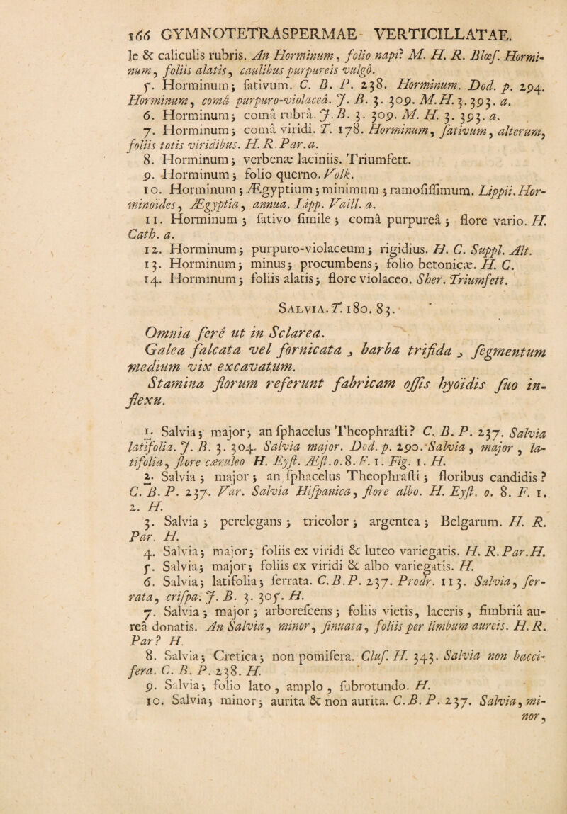 le & caliculis rubris. An Horminum, folio napfi. M. H. R. Bloef. Hormi- num, foliis alatis , caulibus purpureis vulgo. f. Horminum; fativum. C. B. P. 238. Horminum. Docl. p. 294. Horminum, coma purpuro-violaced. J. B. 3. 309. M.H. 3 . 393. 6. Horminum; coma rubra J.B. 3. 309. M. H. 3. 393. <3. 7. Horminum; coma viridi. 7. 178. Horminum, fativum, alterum, foliis totis viridibus. H. R.Par.a. 8. Horminum; verbenae laciniis. Triumfett. 9. Horminum; folio querno. Folk. 1 o. Horminum; AEgyptium; minimum ; ramofiflimum. Lippii.Hor- minoides, Aegyptia , annua. Lipp. Vaill. a. 11. Horminum; fativo fimile; coma purpurea ; flore vario. //. 12. Horminum; purpuro-violaceum5 rigidius. //. C. Suppi. Alt. 13. Horminum; minus; procumbens; folio betonicae. J/. C. 14. Horminum; foliis alatis; flore violaceo. Triumfett. Salvia. Y. 180. 83. Omnia fere ut in Sciar ea. Galea falcata vel fornicata ^ barba trifida ^ fegmentum medium vix excavatum. Stamina florum referunt fabricam offis hyoidis fuo in- flexu. i- Salvia; major; an fphacelus Theophrafti? C. B. P. 237. Salvia latifolia. J. B. 3. 304. Salvia major. Dcd.p. 290.-Salvia, major ^ la¬ tifolia , caeruleo H. Eyft. JEfl. 0. 8.F. 1. p/g. 1. i/. 2. Salvia ; major ; an fphacelus Theophrafti; floribus candidis ? C. B. P. 237. Far. Salvia Hifpanica, flore albo. H. Eyft. 0. 8. in 1. 2. /7. 3. Salvia; perelegans; tricolor; argentea; Belgarum, i/, i?. P*zr. i/. 4. Salvia; major; foliis ex viridi 8c luteo variegatis. H. R.Par.H. f. Salvia; major; foliis ex viridi &C albo variegatis. H. 6. Salvia; latifolia; ferrata. C.B.P. 237. Prodr. 113. Salvia, fer- nzta, crifpa. J.B. 3. 307. H. 7. Salvia; major; arborefcens; foliis vietis, laceris, fimbria au¬ rea donatis. An Salvia, minor ^ finuata, foliis per limbum aureis. H.R. Par? H, . H 8. Salvia; Cretica; non pomifera. Cluf.H. 343. Salvia non b aeri¬ fer a. C. B. P. 238. //. 9. Salvia; folio lato, amplo, fjbrotundo. H. 10. Salvia; minor; aurita non aurita. C.P. P. 237. Salvia^ mi¬ nor ^