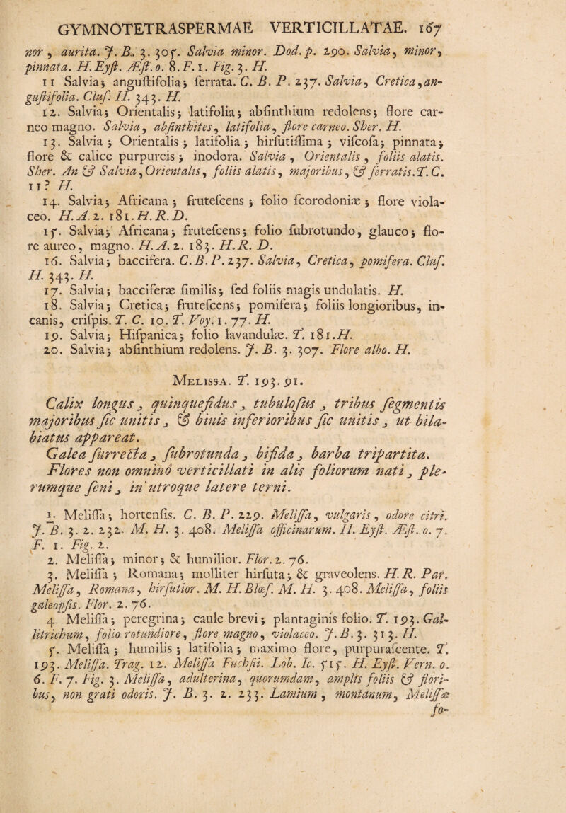 nor , aurita. J.R. 3.30f. Salvia minor. Dod.p. 2.90. Salvia , minor > pinnata. H.Eyfi. JEfi.0. S.F.i. Fig. 3. FI. 11 Salvia; anguftifolia; ferrata. C. B. P. 237. Salvia, Cretica ^an~ guftifolia. Cluf. H. 343. //. 12. Salvia; Orientalis; latifolia; abflnthium redolens; flore car¬ neo magno. Salvia, abfinthitesy latifolia , flore carneo. Sher. H. 13. Salvia; Orientalis; latifolia; hirfutiflima ; vifcofa; pinnata; flore & calice purpureis ; inodora. Salvia , Orientalis , foliis alatis. Sher. An ifl Salvia , Orientalis , foliis alatis, majoribus , £7 ferratis. F. C. 11? /7. 14. Salvia; Africana; frutefcens; folio feorodoniae ; flore viola- ceo. H.Az.iii.H.R.D. if. Salvia; Africana; frutefcens; folio fubrotundo, glauco; flo¬ re aureo, magno. H.A.z. 183. H.R. D. 16. Salvia; baccifera. C.B.P.zyj. Salvia, Cretica, pomifera. Cluf H. 343. ii/. 17. Salvia; bacciferas fimilis; fed foliis magis undulatis. //. 18. Salvia; Cretica; frutefcens; pomifera; foliis longioribus, in¬ canis, crifpis. Z'. C. 10. Ti Voy. 1.77. ii/. 19. Salvia; Hifpanica; folio lavanduke. F. 20. Salvia; abflnthium redolens. J. 3. 307. Flore albo. H. Melissa. 7*. 193. 91. Calix longus quinquefidus tubulofus tribus fegmentis majoribus Jic unitis S) is inferioribus fic unitis 2// ^/7^- hiatus appareat. Galea fitrreFla ^ Jubrotunda bifida barba tripartita. Flores non omnino ‘verticillati in alis foliorum nati ^ ple¬ rumque feni j in'utroque latere terni. e Melifla; hortenfls. C. B.P. 229. Meliffa, vulgaris, r/Vr/ 7- 3. 2. 232. M. //. 3. 408. Melifla officinarum-. H. Eyfi. AE// #. 7. ^ 1. Fig. 2. 2. Melifla; minor; & humilior. A/or. 2. 76. 3. Melifla ; Romana; molliter hirfuta; graveolens.///!. /W„ Meliffia, Romana, hirfutior. M. Ft.Bloef. M. H. 3. 408. Meliffia, foliis galeopfis. Flor. 2. 7<5. 4. Melifla; peregrina; caule brevi; plantaginis folio. 7. 193. GW- Utrichum, folio rotundiore, flore magno, violaceo. J.B. 3 . 313.// f. Melifla; humilis; latifolia; maximo flore, purpuiafcente. 193. Meliffia. Trag. 12. Melifla Fuchfii. Lob. Ic. fif. H. Eyfi. F^ern. 0. 6/F.j.Fig. 3. Meliffia ^ adulterina, quorumdam,. amplis foliis & flori¬ bus , non. grati odoris. J. B. 3. 2. 233. Lamium ^ montanum, Meliffia fo~ i