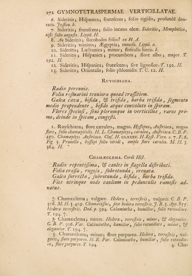 6. Sideritis3 Hifpanica* frutefcens * foliis rigidis, profunde den¬ tatis. JuJJieu. b. 7. Sideritis 5 frutefcens* folio incano oleas. Sideritis, Memphitica, tifli folio angufto. Lippii.H. 8. An Sideritis* flccohados folio ? ex H.A. p. Sideritis* minima* iEgyptia* ramofa.Lippit, a. 10. Sideritis* Luftanica * minor* flofculis luteis, b. 11. Sideritis * Hifpanica * procumbens * flore albo * major. T, ipz. II. iz. Sideritis* Hifpanica* frutefcens* five ligno fi or. F. ipz. H. 13. Sideritis* Orientalis* folio phlomidis. Y. C. 12..//i , Ruyschiana. Radix perennis. Folia rofmarini tenuiora quoad crajjltiem. Galea cava bifida & trifida ^ barba trifida ^ figmento medio propendente ^ bifido atque convoluto in fipiram. Flores fipeciofij, feni plerumque in verticillos ^ raros pri- mo, deinde in fipicam ^ congefii. 1. Ruyfchiana* flore casruleo, magno. Hyffopus, Auftriaca, magno flore, folio chamgpitidis. H. L. Chameepitys, carulea, Auftriaca.C.B. P, zfo. Chamrepitys Anftriaca. Cluf H. clxxxv. H.Eyft. Vern. 0. 7. F. 6. Fig 3. Prunella , hyffopi folio viridi , amplo flore cteruleo. AI. H. z. 364. /A Cham^eglema. Corii Hifl. / s Radix repenti fima, cautes in flagella difiributi. Folia craffa,, rugo f a ^ fiubrotunda ^ crenata. Galea furrelfa ^ fubrotunda ^ bifida j barba trifida. Flos utrinque nodo caulium in pedunculis ramofis ad~ natus. f Chamxelema * vulgare. Hedera , terreftris, vulgaris. C. B. P. 30<5. A/, /i/. 3.40p. Cham<eciffus, five hedera terreftris. J.B. z^.App. 8yy. Hedera terreftris. Dod.p. 3P4. Calamintha , humilior, folio rotundiore. F. 194. -f. i* Chain asciem a * minus. Hedera, terreftris , minor, & elegantior. G. B. P. 306. /Czr. Calamintha, humilior, folio rotundiore , minor, £7 elegantior. F. 194. -J-. 3. Chamasclema* minus* flore purpureo. Hedera, terreftris, vul¬ garis, flore purpureo. H. R. Par. Calamintha, humilior, folio rotundio¬