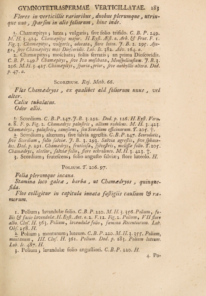 Flores in verticillis rarioribus ^ duobus plerumque utrin- que uno j fparfim in alis foliorum ^ hinc inde. 1. Chamaepitys 3 lutea 3 vulgaris3 five folio trifido. C. B. P. 249. M. II. 3.414» Chamapitys major. H.Eyfi. JEft. 0. Fr&F E 1. Fig. 3. Chanicepitys, vulgaris? odorata^ flore luteo. J.B. i. 2py. five Chamapitys mas Dioficoridis. Lob. Ic. 382. 164. <2. 2. CMamsepitys 3 mofchata> foliis ferratis 3 an prima Diofcoridis. C. E. P. 249P Chameepitys, five Fu a mofichata, Monfipelienfium. J.B. 7,. 2 £<5. Af.FP 3.425*. Ch amae piiys 5 fipuria ^prior^ five anthyllis altera. Dod. p. 47. <3. Scordium. P^/’. Meth. 66. Flos Chamadryos _> qualibet ala foliorum unus j vel alter. Calix tubulatus. ^//iE y- Scordium. C. B.P.247.7. P. 3.292. Dod.p. 126. H.Eyfi. Vern* 0. 8. P. 9. Fig. 2. Chamtedrys palufiris , allium redolens. M. II. 3. 423 . Chamtedrys, palufiris, caneficens5 fieu Scordium officinarum. F. 2oy. -f. 2, Scordium 3 alterum 3 five i alvi a agreftis. C.B.P. 247. Scorodotis^ Jive Scordium 9 folio falvice. J.B. 3. 293. Salvia agreftis, five fiphace- lus. Dod. p. 291. Chamadrys, fruticofia, fiylvefiris, melijffie folio. F. 10 f, Ghanuedrys, elatior, f alvi# folio 5 /ere ochroleuco. M.H. 3.42 3. -J. 3. Scordium 3 frutefeens 3 folio angufto falvisc3 flore luteolo. FF Polium. ST. 206. 97. Folia plerumque incana. Stamina loco galeae ^ barba ^ ut Chamzedryos quinque- fida. Flos colligitur in capitula innata fafiigiis caulium & ra- morum. 1. Polium3 lavandulas folio. C.B.P. 220. Af. P/. 3. 3f6.Polium, fo- /m & facie lavendul<e. H.Eyfi. Aut. 0.2. F. 12. Fig. 2. Polium, VIIflore albo. Cluf. H. 363. Polium, lavendulee folio, fosmina Recentiorum. Lob. Obfi zf8.II. 2. Polium 3 montanum3 luteum. C.B.P.zzo.M.H. 3. 3ff. Polium5 montanum, ///. Cluf. H. 361. Polium. Dod. p. 283. Polmm luteum. Lob. Ic. 487. F/. 3. Polium 3 lavandulas folio anguftiori. C.B.P.zzo. FL * »