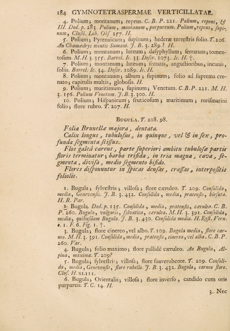 • 4. Polium 3 montanum3 repens. C. i?. P. zzi. Polium, repens ^ £5? III. Dod.p. Z83. Polium, montanum ,purpureum. Polium ^repens, fupi- num, Clufei.Lob. Obf. zyy. II. f. Polium 3 Pyrenaicum 3 fupinutn 3 hederas terreflris folio. T. 206. Chamadrys montis Sumani. J. B. 3. z8p.? /7. (5. Polium 3 montanum 3 luteum 3 dafyphyllum3 ferratum 3 tomen-» tofum. A7 77. 3.3 f y. Barrel. Ic. 33. Defer. 1073. /c. /7. -f-. 7. Polium 3 montanum3 luteum3 ferratis, anguftioribus, incanis, foliis. Barrel. Ic. 34. Defer. 1089. Ic. 77. 8. Polium 3 montanum 3 album 3 fupinum3 folio ad fuprema ere- nato3 capitulis multis, globofis. 77 9. Polium) maritimum) fupinum) Venetum. C.B.P. zzi. Af. /7. 3. if<5. Polium Venetum. J.B. 3. 300. II. 10. Polium 3 Hifpanicum 3 fruti-cofum 5 maritimum 3 rorifmarini folio 3 flore rubro. I*. 207. H. Bugula. P. zo8. p8. Folia Brunellce majora dentata. Calix longus ■> tubulo(us in quinque vel & in fex pro¬ funda figmenta fiijfus. Flos galea carens parte fuperiori ambitu tubulofre partis floris terminatur 3 barba trifida ^ in tria magna cava ^ fi¬ gmenta j divifitj medio figmento bifido. Flores di/ponuntur in f picas denfas ^ crajfas j interpofitis foliolis. 1. Bugula 3 fylveftris 3 villofa 3 flore caeruleo. P. zop. Confolida, media, Genevenfis. J.B. 3. 43z. Confolida , media, pratenfis, hirfuta. H. R. Par. 2. Bugula. Dod.p. 137. Confolida , media, pratenfis, caerulea. C. B. P. 160. Bugula, vulgaris, fylvatica, caerulea. M.77. 3. 391. Confolida5 media) quibufdam Bugula. J.B. 3.430. Confolida media. H.Eyft. Vern. 0.1. F. 6. Fig. 1. -f. 3. Bugula) flore cinereo,vel albo.P. 109. Bugula media, flore car¬ neo. M. H. 3. 391. Confolida, media, pratenfis, cinerea,vel alba. C.B.P. Z(5o. 4. Bugula) folio maximo) flore pallide caeruleo. ^ Bugula, Al¬ pina , maxima. P. 209? f. Bugula) fylveftris3 villofa) flore fuaverubente. 7*. zop. Confoli¬ da , media j Genevenfls, rubello. J. P. 3. 43 z. Bugula5 carneo flore. Cluf. 77. xli 11. 6. Bugula) Orientalis) villofa) flore inverfo , candido cum oris purpureis. P. C. 14. 7/. 3. Nec