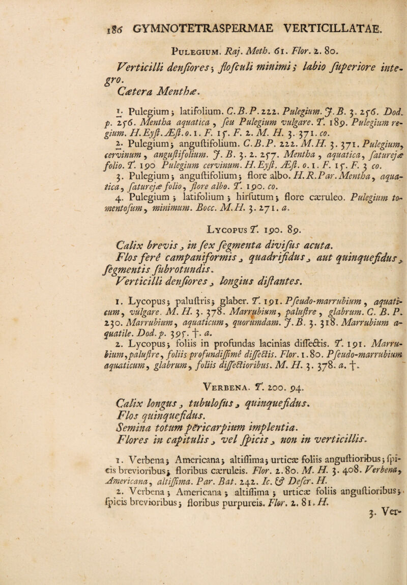 Pulegium. Raj. Meth. 61. Flor. z. 80. Verticilli denjiores 5 fiofculi minimi; labio fiiperiore inte¬ gro. Cteter a Mentha. l Pulegium y latifolium. C.B.P. zzz. Pulegium. J. B. 3. 2f<5. ZW. p. Zf6. Mentha aquatica 5 7^ Pulegium vulgare. F. i8p. Pulegium re¬ gium. H.Eyft.FEJl.o. 1. F. iq. F. 2. M. H. 3. 371. 00. 2. Pulegium i anguftifolium. C.B.P. 222.M.H. 3. 371. Pulegium y cervinum 5 anguftifolium. J. B. 3.2. 2,5*7. Mentha ? aquatica, fatur ejte folio. F. ipo Pulegium cervinum. H.Eyft. ALfi. 0.1. F. if.F. 3 00. 3 . Pulegium j anguftifolium 5 flore albo. H. R. Par. Mentha y aqua¬ tica5 faturej<£ folio, 7W0 ^/£0. F. ipo. 00. 4. Pulegium j latifolium > hirfutum* flore casruleo. Pulegium to~ mentofumy minimum. Bocc. M.H. 3. 271. 0. Lycopus F. ipo. 8p. _ % Calix brevis y in fex fegmenta divifus acuta. Flos fer# campaniformis y quadrifidus y aut qninquefidus y figmentis fubrotundis. Verticilli denfiores y longius diflantes. 1. Lycopus5 paluftrisj glaber. F. ipi. Pfeudo-marrubium ? aquati¬ cum5 vulgare. M. H. 3. 378. Marrubium5 paluftre 5 glabrum. C. B. P. 230. Marrubium, aquaticum, quorumdam. J.B. 3. 318. Marrubium a- quatile. Dod.p. 3pf. i. 0. 2. Lycopus5 foliis in profundas lacinias difleftis. F. ipi. Marru¬ bium ,paluftre, foliis profundiftime diffettis. Flor. 1.80. Pfeudo-marrubium aquaticum5 glabrum5 foliis differtioribus. M. H. 3. 378. j. Verbena. f*. 200. P4» Calix longus y tubulo fu s y qninquefidus. jF/aj' qninquefidus. Semina totumpericarpiim implentia. Flores in capitulis y vel fpicis y non in verticillis. 1. Verbena 5 Americana y altiflima 5 urticas foliis anguftioribus 5 fpi¬ cis brevioribus* floribus caeruleis. Flor. 2.80. A/. ZZ. 3. 408. Verbenay .Americana5 altijfima. Par. Bat. 242. /0. £5? Defer. H. 2. Verbena* Americana 5 altiflima * urticas foliis anguftioribus>. fpicis brevioribus j floribus purpureis. Flor. 2, 81. ZZ. 3. Ver-