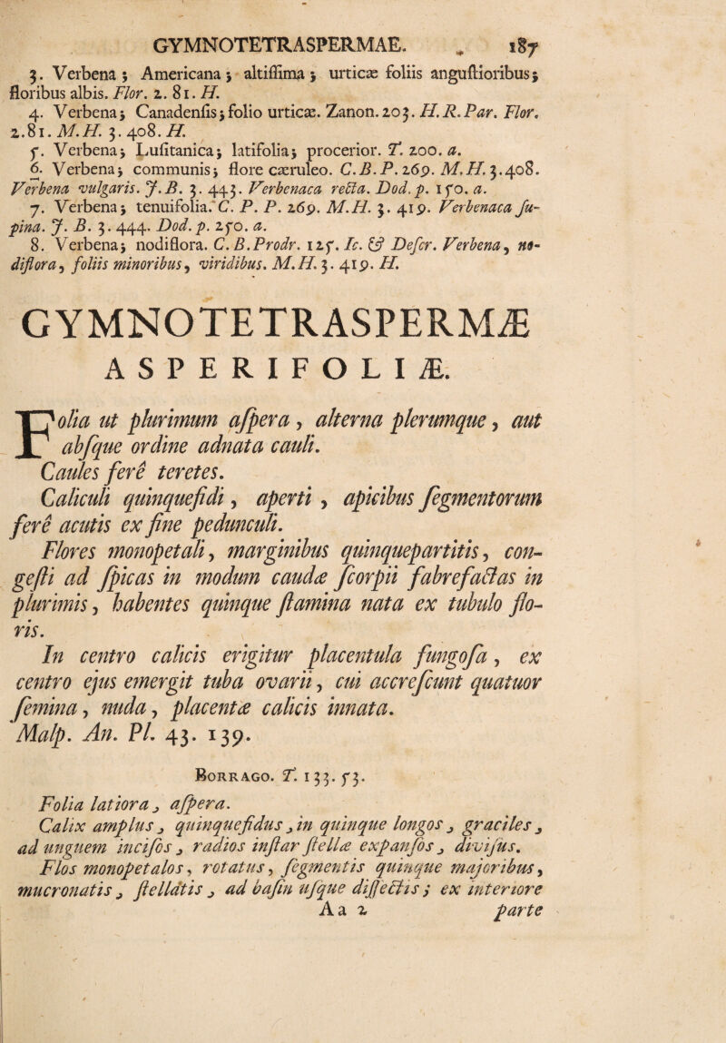 GYMNOTETRASPERMAE. * it7 3. Verbena 5 Americana * altiflima 5 urticae foliis anguftioribus $ floribus albis. Flor. 2. 81. H. 4. Verbena * Canadenfis > folio urticas. Zanon. 20 3. H. R. Par. Flore 2.81.M.H. 3. 408. i/. 5*. Verbena* Lufltanica* latifolia* procerior. 7*. 200.a. 6. Verbena* communis* flore caeruleo. C.B. P. 26p. M.H. 3.408. Verbena vulgaris. J.B. 3. 443. Verbenaca reUa. Dod. p. ifo. a. 7. Verbena* tenuifolia. C. P. P. z6p. M.H. 3. 41 p. Verbenaca Ju- pina. J. B. 3. 444. Dod.p. z/o. a. 8. Verbena* nodiflora. C.B.Prodr. izf. Ic. £5? Defer. Verbena, n$- diflora, foliis minoribus5 viridibus. M.H. 3. 41 p. AT. GYMNOTETRASPERMAi ASPERIFOLI£ FtfZ/V/ plurimum afpera, alterna plerumque, aut abfque ordine adnata cauli. Caules feri teretes. Caliculi quinquefidi, , apicibus fegmentormn fere acutis ex fine pedunculi. Flores monopetali, marginibus quinquepartitis, con- gefti ad /picas in modum cauda jcorpii fabrefailas in plurimis, habentes quinque flamina nata ex tubulo flo¬ ris. In centro calicis erigitur placentula fungofa, mtfro emergit tuba ovarii, cui accrefcunt quaiuor femina, placenta calicis innata. Malp. An. Pl. 43. 139. Borrago. ST. 133.73. Folia latiora afpera. Calix amplus j quinque fidus i/z quinque longos graciles 3 ad unguem incifbs j radios inflar ftellre expanfos divifus. Flos monopetalos j rotatus, fegmentis quinque majoribus, mucronatis j fle liatis ^ ad bafin ufque difjetlis y ex interiore A a 2 parte
