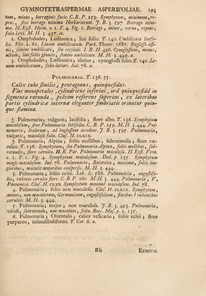 tum^ minus , borraginis facie. C.B. P. 279. Symphytum, minimum ^r e™ pens, borrago minima Herbariorum. i?. 3. 797. Borrago mini¬ ma. II. Eyft. Hyem. 0. 1. F. 4. ivg. 1. Borrago , minor ^ verna , repens 5 folio lavi. M. II 3. 437. £0. 2. Omphalodes* Lufitanica * lini folio. F. 140. Umbilicata linifo- lia. Flor. 2. 62. Linum umbilicatum. Park. Fheatr. 1687. Buglojfo affi¬ nis , femine umbilicato , cotylode. I. R. H 49(5. Cynoglojfum , minus ^ album, lini foliis glaucis , femine umbilicato. M. H. 3.449.$. 3. Omphalodes* Lufitanica* elatior* cynogloffi folio.f. 140.Zi- 7?^ umbilicatum, folio latiori. Ind. 78. a. Pulmonaria. 5T. 136. 77. Calix tubo fimilis j pentagonus, quinquefidus. j' monopetalos cylindricus inferius quinquefidd in fegmenta rotunda pelvim referens fuperius , lateribus partis cylindrica interna eleganter fimbriatis oriuntur quin¬ que flamina. L Pulmonaria* vulgaris* latifolia* flore albo. 5. 136. Symphytum 'tmaculofum, Jive Pulmonaria latifolia. C. B. P. 279. M.H. 3*444. P«/- monaria , Italorum , bugloffum accedens. J. B. 3. 797. Pulmonaria, vulgaris, maculofo folio. Cluf. H. clxix. 2-- Pulmonaria* Alpina* foliis mollibus, fubrotundis * flore cae¬ ruleo. ST. 136. Symphytum, feu Pulmonaria Alpina ^ foliis mollibus, rotundis, /tfr? caruleo. H. R. P$r. Pulmonaria maculofa. H.Eyft. Vern. 0. 1. .F. 1. F/g. 4. Symphytum maculofum. Dod. p. 137. Symphytum magis maculofum. Ind. 78. Pulmonaria, B at avie a , maxima, foliis lon¬ gioribus , maculis majoribus confperfis. M. H. 3. 444. 3. Pulmonaria* foliis echii. Lob. Ic. 786. Pulmonaria , anguflifo- lia, rubente caeruleo flore. C.B.P. 260 M.H. 3. 444. Pulmonaria , F, Pannonica. Cluf. H. clxx. Symphytum maxime maculofum. Ind. 78. 4. Pulmonaria* folio non maculofo. Cluf. H. clxix. Symphytum, minus, 720/z maculatum, Germanicum, anguftifolium, floribus e rubentibus caeruleis. M.H. 3.444. p. Pulmonaria* major* non maculofa. i?. 3.493. Pulmonaria, viridi 1 fubrotundo, 720^ maculato, folio. Bocc. Muf.p. 2. 137. 6. Pulmonaria * Orientalis * calice veficario * foliis echii * flore purpureo, infundibuliformi, 2”. G^r. 6. * ■■ • -4 , ,  _ - ' ■ ^ >• ; >» i . ( . Bb Echium» /