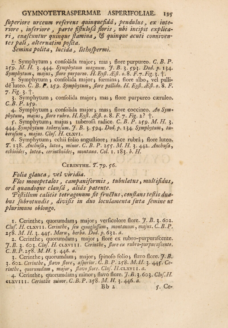 fuperiore urceum referens quinquefiddy pendulus > ex inte¬ riore , inferiore parte fiflulofa floris j ubi incipit explica¬ ri j enafcuntur quinque flamina ^ & quinque acuti conniven- ies pali j, alternatim poflta. Semina polita 3 lucida lithofpermi. Symphytum 5 confolida major; mas; flore purpureo. C. B. P. 2fp. M.H. 3.444. Symphytum magnum. J. B. 3. fp3_ Dod. p. 134. Symphytum, majus ^ flore purpureo. H.Eyft.JEft. 0.8. F.j.Fig. 3. 2- Symphytum; confolida major; femina; flore albo5 vel palli¬ de luteo. C. .5. P. 2fp. Symphytum5 pallido. H. Eyfl.fEft. 0. 8. i7. 3. Symphytum ; confolida major; mas; flore purpureo caeruleo. C.P. P. 2fp. 4. Symphytum; confolida major; mas; flore coccineo. An Sym¬ phytum ^ majus, H.Eyft. JEfl. 0. 8. P. 7. P/g. 2? j*. f. Symphytum; majus; tuberofa radice. C. B. P. 2fp. M.H. 3. 444. Symphytum tuber ofum. J. B. 3. yp4- Dod.p. 134. Symphytum, berofum 5 majus. Cluf. H. clxvi. <5. Symphytum; cchii folio anguftiore; radice rubra; flore luteo. 5T. 138. Anchufa5 /#/00, minor. C. P. P. 2py. A/. // 3. 442. Anchufa3 echioides, cerinthdides, montana. C0/. 1. 183.b.H. Cerinthe. P! /p. f<5. Folia glauca 3 vel viridia. Flos monopetalos „ campaniformis j tubulatus > multifidusj ord quandoque claufa patente. Fift illum calicis tetragonum fit fruBus, conflans te (iis dua¬ bus fubrotundis divifis in duo loculamenta foeta feminent plurimum oblongo. 1. Cerinthe; quorumdam; major; verficolore flore, y. P. 3. doz. Cluf. H. clxvi 1. Cerinthe 5 cynoglojfum, montanum * tnajus. C.B.P. iy8. M.H. 3. 44f. Maru^ herba. Dod. p. 632. 0. 2. Cerinthe; quorumdam; major; flore ex rubro-purpurafcente. y.P. 3. 603. Cluf H. clxvi 11. Cerinthe, flore ex ruhro-purpurafcente. C.P.P.2f8. M.H. 3. 446. 3. Cerinthe; quorumdam; major; fpinofo folio; flavo flore, y.P. 3. 602. Cerinthe, flavo flore, afperior. C.B.P. 25*8. M.H. 3.445*. Ce- rinthe9 quorumdam , major y flavo flore. Cluf //.clxvi i. 4. Cerinthe; quorumdam; minor; flavo flore. J. P. 3.60 3. Cluf H clxvi 11. Cerinthe minor. C.B.P. 2p8. A/, /f. 3. 44^*