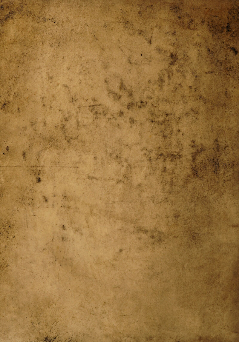 No text description is available for this image