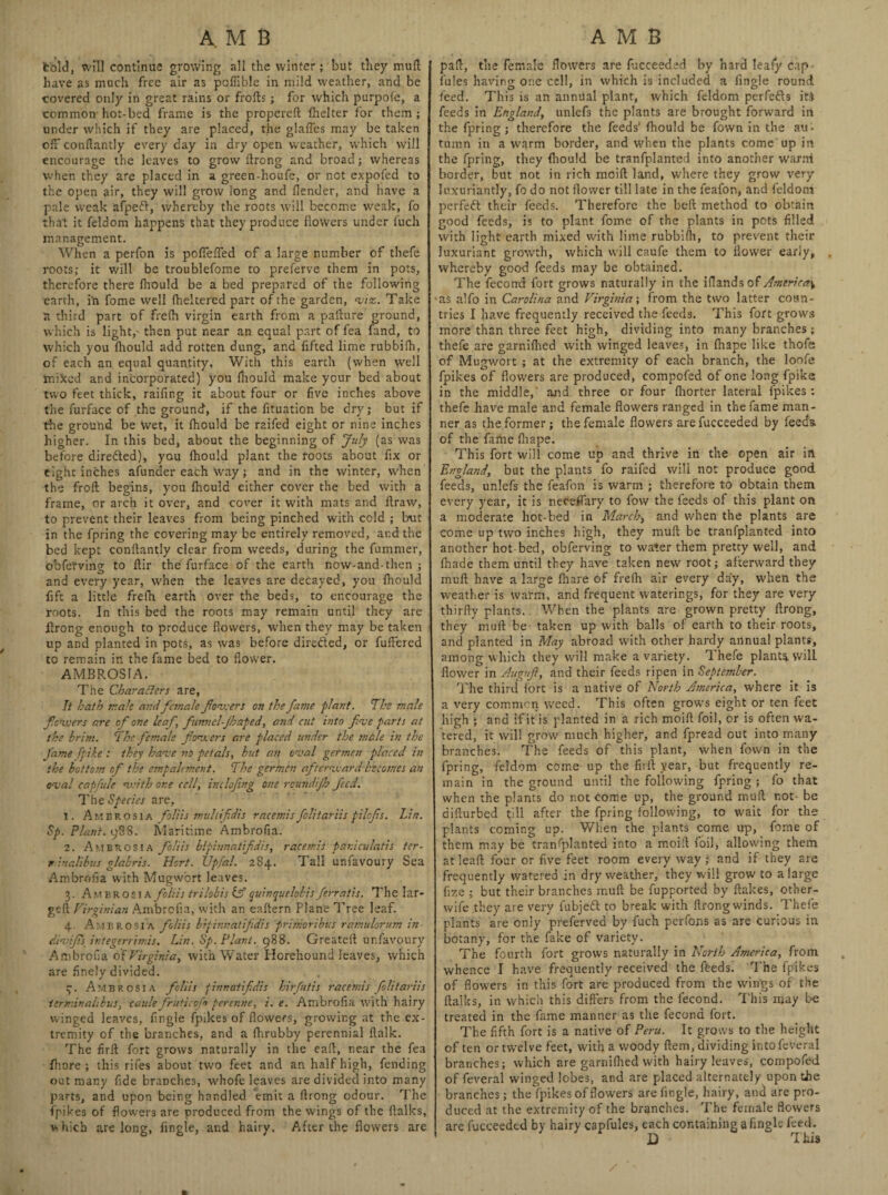 fcbld, will continue growing all the winter; but they mull have as much free air as poflible in mild weather, and be covered only in great rains or frofts; for which purpofe, a common hot-bed frame is the propereft fhelter for them ; under which if they are placed, the glalfes may be taken oft* conftantly every day in dry open weather, which will encourage the leaves to grow flrong and broad; whereas when they are placed in a green-houfe, or not expofed to the open air, they will grow long and flender, and have a pale weak afpeft, whereby the roots will become wreak, fo that it feldom happens that they produce flowers under iuch management. When a perfon is poflefled of a large number of thefe roots; it will be troublefome to preferve them in pots, therefore there fhould be a bed prepared of the following earth, in fome well fheltered part of the garden, to, Take a third part of frefh virgin earth from a pafture ground, which is light, then put near an equal part of fea fand, to which you fliould add rotten dung, and fifted lime rubbifh, of each an equal quantity, With this earth (when well miked and incorporated) you fhould make your bed about two feet thick, raifing it about four or five inches above the furface of the ground, if the fituation be dry; but if the ground be wet, it fhould be raifed eight or nine inches higher. In this bed, about the beginning of July (as was before diredled), you fhould plant the roots about fix or eight inches afunder each Way; and in the winter, when the froft begins, you fhould either cover the bed with a frame, or arch it over, and cover it with mats and flraw, to prevent their leaves from being pinched with cold ; but in the fpring the covering may be entirely removed, ar.d the bed kept conftantly clear from weeds, during the fummer, obfetving to ftir the furface of the earth now-and-then ; and every year, when the leaves are decayed, you fliould fift a little frefh earth over the beds, to encourage the roots. In this bed the roots may remain until they are flrong enough to produce flowers, when they may be taken up and planted in pots, as was before dire&ed, or fuffered to remain in the fame bed to flower. AMBROSIA. The Char afters are, It hath male andfemale foveers on the fame plant. The male fcovers are of one leaf firm el-Jhaped, and cut into foie parts at the brim. The female footers are placed under the male in the fame fpike: they have no petals, but an oval germen placed in the bottom of the empalement. The germen aftervard becomes an oval capfule with one cell, inclofing one roundijh feed. The Species are, 1. Ambrosia foliis multifidis racemis folitariis pilefis. Lin. Sp. Plant. 988. Maritime Ambrofia. 2. Ambrosia foliis bipinnatifdis, racemis pardculatis ter- r inahbus glabris. Hort. Upfal. 284. Tall unfavoury Sea Ambrofia with Mugw'ort leaves. 3. Ambrosia foliis trilobis & quinquelobis ferratis. The lar- geft Virginian Ambrofia, with an eaftern Plane Tree leaf. 4. Ambrosia foliis bipinnatifdis primoribvs ramulorum in divifis integer rinds. Lin. Sp. Plant. 988. Greateft unfavoury Ambrofia of Virginia, with Water Ilorehound leaves, which are finely divided. 3-. Ambrosia foliis pinnatifdis hirfutis racemis folitariis ierminalihus, caule fruticofn perenne, i. e. Ambrofia with hairy winged leaves, fingle fpikes of flowers, growing at the ex¬ tremity of the branches, and a fhrubby perennial flalk. The firft fort grows naturally in the eaft, near the fea fhore ; this rifes about two feet and an half high, fending out many fide branches, whofe leaves are divided into many parts, and upon being handled emit a flrong odour. The fpikes of flowers are produced from the wings of the ftalks, which are long, fingle, and hairy. After the flowers are pad, the female flowers are fucceeded by hard leafy c.tp - fules having one cell, in which is included a fingle round feed. This is an annual plant, which feldom perfects it$ feeds in England, unlefs the plants are brought forward in the fpring; therefore the feeds' fhould be fown in the an. tumn in a warm border, and when the plants come up in the fpring, they fliould be tranfplanted into another warni border, but not in rich mcift land, where they grow very luxuriantly, fo do not flower till late in the leafon, and feldom perfedt their feeds. Therefore the heft method to obtain good feeds, is to plant fome of the plants in pots filled with light earth mixed with lime rubbifh, to prevent their luxuriant growth, which will caufe them to flower early, . whereby good feeds may be obtained. The fecorrd fort grows naturally in the iflands of America^ ■as alfo in Carolina and Virginia; from the two latter coun¬ tries I have frequently received the feeds. This fort grows more than three feet high, dividing into many branches ; thefe are garnifhed with winged leaves, in fliape like thofe of Mugwort ; at the extremity of each branch, the loofe fpikes of flowers are produced, compofed of one long fpike in the middle,' and three or four fhorter lateral fpikes: thefe have male and female flowers ranged in the fame man¬ ner as the former; the female flowers are fucceeded by feeds of the fame fliape. This fort will come up and thrive in the open air in England, but the plants fo raifed will not produce good feeds, unlefs the feafon is warm ; therefore to obtain them every year, it is nereflary to fow the feeds of this plant on a moderate hot-bed in March> and when the plants are come up two inches high, they mull be tranfplanted into another hot bed, obferving to water them pretty well, and (hade them until they have taken new root; afterward they muft have a large /hare of frelh air every day, when the weather is warm, and frequent waterings, for they are very thirfly plants. When the plants are grown pretty flrong, they muft be taken up with balls of earth to their roots, and planted in May abroad with other hardy annual plants, among which they will make a variety. Thefe plants will flower in Auguft, and their feeds ripen in September. The third fort is a native of North America, where it is a very common weed. This often grows eight or ten feet high ; and if it is planted in a rich moift foil, or is often wa¬ tered, it will grow much higher, and fpread out into many branches. The feeds of this plant, when fown in the fpring, feldom come up the firft year, but frequently re¬ main in the ground until the following fpring ; fo that when the plants do not come up, the ground muft r.ot be aifturbed till after the fpring following, to wait for the plants coming up. When the plants come up, fome of them may be tranfplanted into a moift foil, allowing them at leaft four or five feet room every way ; and if they are frequently watered in dry weather, they will grow to a large fi7.e ; but their branches muft be fupported by flakes, other- wife they are very fubjett to break with flrong winds. Thefe plants are only preferved by fuch perfons as are curious in botany, for the fake of variety. The fourth fort grows naturally in North America, from whence I have frequently received the feeds. The fpikes of flowers in this fort are produced from the wings of the ftalks, in which this differs from the fecond. This may be treated in the fame manner as the fecond fort. The fifth fort is a native of Peru. It grows to the height of ten or twelve feet, with a woody ftem, dividing intofeveral branches; which are garnifhed with hairy leaves, compofed of feveral winged lobes, and are placed alternately upon the branches; the fpikes of flowers are fingle, hairy, and are pro¬ duced at the extremity of the branches. The female flowers are fucceeded by hairy capfules, each containing a fingle feed. D This