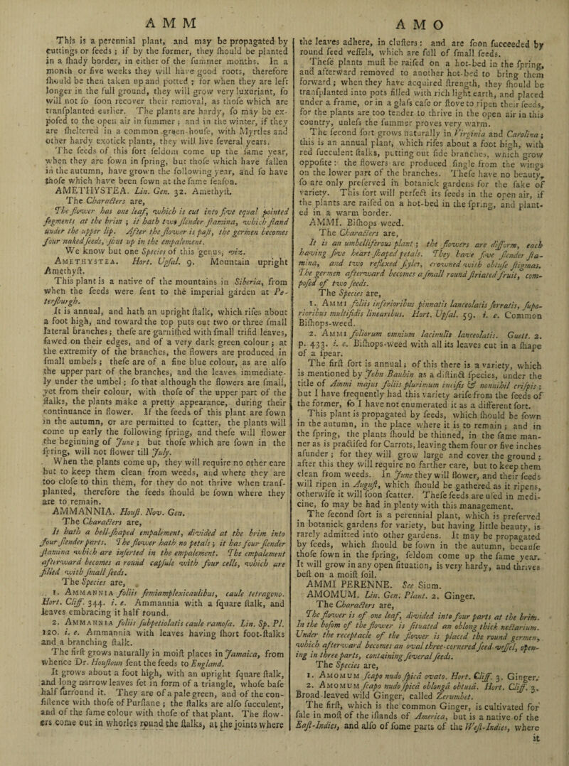 This is a perennial plant, and may be propagated by cuttings or feeds ; if by the former, they fhould be planted in a fhady border, in either of the fummer months. In a month or five weeks they will have good roots, therefore fhould be then taken up and potted ; for when they are left longer in the full ground, they will grow very luxuriant, fo will not fo foon recover their removal, as thofe which are tranfplanted earlier. The plants are hardy, fo may be ex- pofed to the open air in fummer ; and in the winter, if they are Iheltered in a common gr«en-houfe, with Myrtles and other hardy exotick plants, they will live feveral years. The feeds of this fort feldom come up the fame year, when they are fown in fpring, but thofe which have fallen an the autumn, have grown the following year, and fo have thofe which have been fown at the fame feafoa. AMETHYSTS A. Lin. Gen. 32. A methyl!. The Characters are. The flower has one leaf, which is cut into flve equal pointed figments at the brim ; it hath to.ua Jlender fiamina, which fand under the upper lip. After the f Queer is pafi, the germen becomes four staked feeds, put up in the impalement. We know but one Species ok this genus; uiz. Amethystea. Hort. Upfal. 9. Mountain upright Amethyft. This plant is a native of the mountains in Siberia, from when the feeds were fent to the imperial garden at Be- terfurgh. it is annual, and hath an upright ftalk, which rifes about a foot high, and toward the top puts out two or three fmall lateral branches; thefe are garniihed with fmall trifid leaves, fawed on their edges, and of a very dark green colour j at the extremity of the branches, the flowers are produced in fmall umbels; thefe are of a fine blue colour, as are alfo the upper part of the branches, and the leaves immediate¬ ly under the umbel; fo that although the flowers are fmall, yet from their colour, with thofe of the upper part of the ftalks, the plants make a pretty appearance, during their continuance in flower. If the feeds of this plant are fown in the autumn, or are permitted to fcatter, the plants will come up early the following fpring, and thefe will flower the beginning of June ; but thofe which are fown in the feting, will not flower till July. When the plants come up, they will require no other care but to keep them clean from weeds, and where they are too clofe to thin them, for they do not thrive when tranf¬ planted, therefore the feeds lhould be fown where they are to remain. AMMANNIA. Houf. Nov. Gen. The Characters are. It hath a bellfaped impalement, divided at the brim into four fender parts. The flower hath no petals; it has four fender Jtamina which are inferted in the empalement. The empalement afttrward becomes a round capfuls with four cells, which are filed with fmallfeeds. The Species are, a 1. Ammannia foliis fimiamplexicaulibus, caule tetragevo. Hort. Cliff. 344. i. e. Ammannia with a fquare ftalk, and leaves embracing it half round. 2. Ammannia foliis fubpetiolatis caule ramofa. Lin. Sp. PI. 120. i. e. Ammannia with leaves having fhort foot-ftalks and a branching ftalk. I he firfl: grows naturally in moift places in Jamaica, from whence Dr. Houfoun fent the feeds to England. It grows about a foot high, with an upright fquare ftalk, and long narrow leaves fet in form of a triangle, whofe bafe half furround it. They are of a pale green, and of the con- fiflence with thofe of Purflane ; the ftalks are alfo fucculent, and of the fame colour with thofe of that plant. The flow¬ ers come out in whorles round the ftalks, at the joints where the leaves adhere, in clufters: and are foon fucceeded by round feed veflels, which are full of fmall feeds. Thefe plants mull be raifed on a hot-bed in the fpring, and afterward removed to another hot-bed to bring them forward; when they have acquired ftrength, they fhould be tranfplanted into pots filled with rich light earth/and placed under a frame, or in a glafs cafe or ftove to ripen their feeds, ror the plants are too tender to thrive in the open air in this country, unlefs the fummer proves very warm. The fecond fort grows naturally in Virginia and Carolina; this is an annual plant, which rifes about a foot high, with red fucculent ftalks, putting out fide branches, which grow oppofite : the flowers are produced Angle from the wings on the lower part of the branches. Thefe have no beauty, fo are only preferved in botanick gardens for the fake of variety. This fort will perfett its feeds in the open air, if the plants are raifed on a hot-bed in the fpring, and plant¬ ed in a warm border. AMMI. Bifnops weed. The Characters are. It is an umbelliferous plant; the flowers are dfform, each having five heart fiaped petals. They have five fender fla- m-na, and two reflexed fyles, crowned with obtufe fligmus. The germen afterward becomes afinall round friatedfruit,° com- pofed of two feeds. The Species are, 1. Am mi foliis inferiorities pinnatis lanceolatis firratis, Cupe- rioribus multifdis linearibus. Hort. Upfal. 59. i. e. Common Bifhops-weed. 2. Am Ml foltorum omnium lacinulis lanceolatis. Guett. 2. p. 433. e. Bifhops-weed with all its leaves cut in a fhape of a fpear. The firfl fort is annual; of this there is a variety, which is mentioned by John Bauhin as adiftindt fpecies, under the title of Ammi majus foliis plurimum imifis nonnihil crifpis; but I have frequently had this variety arifefrom the feeds of the former, fo I have not enumerated it as a different fort. This plant is propagated by feeds, which fhould be fown in the autumn, in the place where it is to remain ; and in the fpring, the plants fhould be thinned, in the fame man¬ ner as is pra&ifed for Carrots, leaving them four or five inches afunder ; for they will grow large and cover the ground ; after this they will require no farther care, but to keep them clean from weeds. In June they will flower, and their feeds will ripen in Augufi, which fhould be gathered as it ripens, otherwife it will foon fcatter. Thefe feeds are ufed in medi¬ cine, fo may be had in plenty with this management. The fecond fort is a perennial plant, which is preferved in botanick gardens for variety, but having little beauty, is rarely admitted into other gardens. It may be propagated by feeds, which fhould be fown in the autumn, becaufe thofe fown in the fpring, feldom come up the fame year.. It will grow in any open fituation, is very hardy, aud thrives belt on a moift foil. AMMI PERENNE. See Sium. AMOMUM. Lin. Gen. Plant. 2. Ginger. The Characters are. The flower is of one leaf, divided into four parts at the brim. In the bofom of the flower is ftuated an oblong thick neCtarturn. L ndet the receptacle of the flower is placed the round germen, which after-ward becomes an oval three-cornered feed vffel, open¬ ing in three parts, containing feveral feeds. The Species are, 1. Amomum [capo nudo fpica ovafo. Hort. Cliff. 3, Ginger.' 2. Amomum fcapo nudo fpica oblongd obtusa. Hort. Cliff. 3. Broad-leaved wild Ginger, called Zerumbet. The firfl, which is the common Ginger, is cultivated for fale in moft of the iflands of America, but is a native of the Eaf-Indies, and alfo of fame parts of the Wef-Indies, where it