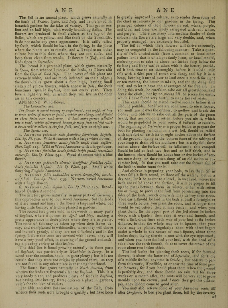 The firft is an annual plant, which grows naturally in the fouth of France, Spain, and Italy, and is preferred in botanick gardens for the fake of variety. This grows one foot and an half high, with woolly branching flalks. The flowers are produced in fmall clutters at the top of the flalks, which are yellow, and like thofe of the Sowthittle, fo do not make any great appearance. It is eafily raifed by feeds, which (hould be Town in the fpring, in the place where the plants are to remain, and will require no other culture but to thin them where they are too clofe, and keep them clean from weeds. It flowers- in July, and the feeds ripen in September. The fecond is a perennial plant, which grows naturally in Spain, from whence I received the feeds, as I have alfo from the Cape of Good Hope. The leaves of this plant are extremely white, and are much indented on their edges ; the flower-ftalks grow about a foot high, having fmall clutters cf yellow flowers, which appear in July, the feeds fometimes ripen in England, but not every year. They love a light dry foil, in which they will live in the open air in this country. ANEMONE. Wind-flower. The CharaFlers are, fThe flower is naked having no empalement, and conflfls of two or three orders of leaves or petals, which are oblong, and dijpofed in three feries over each other. It hath many germen collected into a head, which afterward become fo many feeds inclofed with a down which adhere to the foot-jlalk, andform an obtufe cone. The Species are, 1. Anemone pedunculo nudo feminibus fubrotundis hirfutis. Lin. Sp. PI. 540. Wild Anemone with a large white flower. 2. Anemone feminibus acutis foliolis incifis caule unifloro. Hort. Cliff. 224. Wild or Wood Anemone with a large flower. 3. Anemone feminibus acutis foliolis incifis petalis lanceolatis numerofis. Lin. Sp. Plant. 541. Wood Anemone with a blue flower. 4. Anemone pedunculis alternis longifjtmis fruftibus cylin- dricis feminibus hirfutis. Lin. Sp. Plant. 540. Small white flowering Virginia Anemone. 5. Anemone foliis radicalibus ternato-decompofitis, involu- crofolisfo. Lin. Sp. Plant. 539. Narrow-leaved Anemone with a Angle flower. 6. Anemone foliis digitatis. Lin. Sp. Plant. 540. Broad- leaved Garden Anemone. The firft fort grows naturally in many parts of Germany ; this opproaches near to our wood Anemone, but the feeds of it are round and hairy ; the flower is large and white, but having little beauty, is feldom planted in gardens. The fecond fort grows wild in the woods in many parts cl England, where it flowers in April and May, making a pretty appearance in thofe places where they are in plenty. The roots of this may be taken up when their leaves de¬ cay, and tranfplanted in wildernefles, where they will thrive and iricreafe greatly, if they are not ditturbed ; and in the fpring, before the trees are covered with leaves, they will have a very good effedt, in covering of the ground and mak¬ ing a pleasing variety at that feafon. The third fort is found growing naturally in feme parts of England, but particularly at IVimbledon in Surrey, in a wood near the manflon-houfe, in great plenty ; but it is not certain that they were not originally planred there, as they are not found in any other place in that neighbourhood. The fourth fort grows naturally in North America, from when’ce the feeds are frequently fent to England. This is a very hardy plant, and produces plenty of feeds in England, but having little beauty, fcarce deferves a place in gardens, unlefs for the fake of variety. • The fifth and fixth forts are natives of the Eaft, from whence their roots were brought originally ; but have been fo greatly improved by culture, as to render them fome of the chief ornaments to our gardens in the fpring. The principal colours of thefe flowers are red, white, purple, and blue, and fome are finely variegated with red, white, and purple. There are many intermediate (hades of thefe colours; the flowers are large and very double, and, when properly managed, are extremely beautiful. The foil in which thefe flowers will thrive extremely, may be compofed in the following manner : Take a quan¬ tity of frefh untried earth (from a common or fome other pafture land) that is of a light fandy loam, or hazel mould, obferving not to take it above ten inches deep below the furface; and if the turf be taken with it the better, provid¬ ed it hath time to rot thoroughly before it is ufed : mix this with a third part of rotten cow dung, and lay it in a heap, keeping it turned over at lead once a month for tight or ten months, the better to mix it, and rot the dung and turf, and to let it have the advantages of the free air. In doing this work, be careful to rake out all great Hones, and break the clods ; but by no means flft or (creen the earth, which I have found very hurtful to many forts of roots. This earth (hould be mixed twelve months before it is ufed, if poflible; but ifyou are conftrained to uie it fooner, you mutt turn it over the oftener, to mellow and break the clods; and obferve to rake out all the parts of the green fward, that are not quite rotten, before you ufe it, which would be prejudicial to your roots, if fuffered to remain. The beginning of September is a proper feafon to prepare the beds for planting (which if in a wet foil, (hould be raifed with this fort of earth fix or eight inches above the furface of the ground, laying at the bottom fome of the Takings of your heap to drain off the moifture ; but in a dry foil, three inches above the furface will be fufficient) : this compoft (hould be laid at lead: two feet and an half thick, and in the bottom there (hould be about four or five inches of rot¬ ten neats dung, or the rotten dung of an old melon or cu¬ cumber bed, fo that you mutt take out the former foil of the beds to make room for it. And obferve in preparing your beds, to lay them (if in a wet foil) a little round, to (hoot off the water ; but in a dry one, let it be nearer to a level; in wet land, where the beds are raifed above the furface, it will be proper to fill up the paths between them in winter, either with rotten tan or dung, to prevent the froft from penetrating into the fides of the beds, which otherwife may deftroy their roots. Your earth (hould be laid in the beds at lead a fortnight or three weeks before you plant the roots, and a longer time W'ould be yet better, that it may fettle ; and when you plant them, ftir the upper part of the foil about fix inches deep, with a fpade; then rake it even and fmooth, and with a (lick draw lines each way of your bed at fix inches diftance, fo that the whole may be in fquares, that your roots may be planted regularly : then with three fingers make a whole in the center of each fquare, about three inches deep, laying therein a root w'ith the eye uppermoft ; and when you have finifhed your bed, with the head of a rake draw the earth fmooth, fo as to cover the crown of the roots about two inches thick. The bell: feafon for planting thefe roots, if for forward flowers, is about the latter end of September; and for t ofe of a middle feafon, any time in OFlobet•; but obferve to per¬ form this work, if poflible, at or near the time of fome gen¬ tle (howers ; for if you (hould plant them when the ground is perfectly dry, and there (hould no rain fall for three weeks or a month after, the roots will be very apt to grow mouldy upon the crown ; and if once they get this dittem- per, they feldom come to good after. You may alfo referve fome of your Anemone roots till after Chrfimas, before you plant them, lett by the feverity of