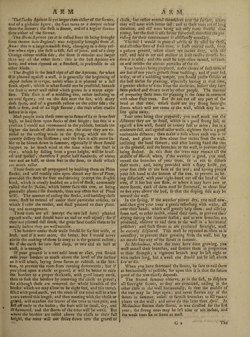 The Turkey Apricot is yet larger than either of the former, and of a globular figure ; the fruit turns to a deeper colour than the former; the flefh is firmer, and of a higher flavour than either of the former. The Breda Apricot (as it is called.from its being brought from thence into England) was originally brought from A- frica: this is a large roundifh fruit* changing to a deep yel¬ low when ripe ; the flefh is foft, full of juice, and of a deep Orange colour within fide ; the Hone is rounder and larger than any of the other forts: this is the bell Apricot we have, and when ripened on a ftandard, is preferable to all other kinds. The Brujfels is the Iateft ripe of all the Apricots, for when it is planted againft a wall, it is generally the beginning of Augttjl before it is ripe, unlefs when it is planted to a full fbuth afpett ; which is whatfhould not be pra&ifed, becaufe the fruit is never well tailed which grows in a warm expo- fure. This fruit is of a middling fize, rather inclining to an-oval figure; red on the fide next the fun, with many dark fpots, and of a greenifh yellow on the other fide; the flefh is firm, and of an high flavour ; the fruit often cracks before it is ripe. Moft people train thefe trees up to flemi of fix or feven feet high, or bud them upon flocks of that height; but this is a pradlice I would not recommend to the publick, becaufe the higher the heads of thefe trees are, the more they are ex- pol'ed to the cutting winds in the fpring, which too fre¬ quently deftroy the bloffoms ; and the fruit is alfo more lia¬ ble to be blown down in fummer, efpecially if there fhould happen to be much wind at the time when the fruit is ripe ; which by falling from a great height, will be bruif- od and fpoiled ; therefore I prefer half flandards, of about two and an half, or three feet in the item, to thofe which are much taller. Thefe fruits are all propagated by budding them on Plum flocks, and will readily take upon almoft any fort of Plum, provided the flock be free and thriving (except the Brujfels kind, which is ufually budded on a fort of flock, commonly Called the St. Julian, which better fuits this tree, as being generally planted for flandards, than any other fort of Plum will). The manner of raifing the flocks, and budding thefe trees, fhall be treated of under their particular articles, to which I refer the reader, and fhall proceed to their plant¬ ing and management. Thefe trees are all (except the two lafl forts) planted againft walls, and fhould have an eall or weft afpedt; for if they 3re planted full fouth, the great heat caufcs them to be meally before they are well eatable. The borders under thefe walls fhould be fix feet wide, at leaft, and if it were more, the better, but I would never aavife the making of them fo deep as is the general cuftom; for if the earth be two feet deep, dr two and an half at moft, it is enough. If your ground is a wet cold loam or clay, you fhould raife your borders as much above the level of the furface as it will admit, laying fome ftones or rtfbbifh in the bot¬ tom, to prevent the roots from running downwards; but if you plant upon a chalk or gravel, it will be better to raife the borders to a proper thicknefs, with good loamy earth, than to fink the borders by removing the chalk or gravel $ for although thefe are removed the whole breadth of the border, which we may allow to be eight feet, and this trench filled with good earth, yet the roots of the trees will in a few years extend this length, and then meeting with the chalk or gravel, willoccafion the leaves of the trees to turn pale, and fall off early in the feafon ; the fruit will be fmall, dry, and ill flavoured, and the fhoots of the trees will be weak. But where the borders are raifed above the chalk to their full height, the roots will not flrike down into the gravel or chalk, but rather extend themfelves near the furface, where they will meet with better foil: and as thefe trees are of long duration, and old trees being not only more fruitful than young, but the fruit is alfo better flavoured) therefore the pro¬ viding for their continuance is abfoluteTy neceflary. The foil I would in general advife to be ufe'd for thefe, and all other forts of frit it trees, is frelh untried earth, from a pafture ground, taken about ten inches deep, with the turf, and laid to rot and mellow at leaft twelve months be¬ fore it is ufed; and this mull be kept often turned, tofweet- en and imbibe the nitrous particles of the air. Your borders being prepared, make choice of fuch trees as are but of one year’s growth from budding ; and if your foif is dry, or of a middling temper, you fhould prefer OFioker as the beft feafon for planting, efpecially having at that time, a greater choice of trees from the nurferies, before they have been picked and drawn over by other people. The manner of preparing thefe trees for planting is the fame in common with other fruit trees. But do not cut eff any part of the head at that time, unlefs there are any ftrong forerighc fhoots which will not come tp the wall, which may be ta¬ ken quite away. Your trees being thus prepared, you mull mark out the diftances’ they are to ftand, which in a good ftrong foil, or againft a low wall, fhould be twenty feet or more ; but in a moderate foif, and againft: taller walls, eighteen feet is a good reafonable diltance; then make a hole where each tree is to ftand, and place its flem about four inches from the wall, inclining the head thereto; and after having fixed the tree in the ground, nail the branches to the wall, to prevent their being fhaked. Ill this flate the trees may remain till the middle of March, when, if the weather is good, you mufl unnail the branches of your trees, fo as not to diflurb their roots; and, being provided with a fharp knife, put your foot clofe to the flem of the tree ; and having placpd your left-hand to the bottom of the tree, to prevent its be¬ ing difturbed, with your right-hand cut off the head of the tree, if it has but one flem, or where it may have two of more fhoots, each of them mufl be Shortened, to about four or five eyes above the bud, fo that the Hoping fide may be toward the wall. In the fpring, if the weather proves dry, you mufl r.ow- and-then give your trees a gentle refrefhing with water, all over their heads, which will greatly help them ; and alfo lay fome turf, or other mulch, round their roots, to prevent their drying during the fummer feafon; and as new branches are produced, obferve to nail them to the wall in a horizontal pofition; and fuch fhoots as are produced foreright, muft be entirely difplaced. This mufl be repeated as often as is neceflary, to prevent their growing from the wall, but by no means flop any of the fhoots in fummer. At Michaelmas, when the trees have done growing, you muft unnail their branches, and fhorten them in proportion to their ftrength; a vigorous branch may be left eight or nine inches long, but a weak one fhould not be left above five or fix. When you have fhortened the fhoots, be fure to nail them as horizontally as poflible, for upon this it is that the future good of the tree chiefly depends. The fecond fummer obferve, as in the firft, to difplace all foreright fnoots, as they are produced, nailing in the other clofe to the wall horizontally, fo that the middle of the tree may be kept open; and never fhorten any of the fhoots in fummer, unlefs to furnifh branches to fill vacant places on the wall ; and never do this later than April. At Michaelmas fhorten thefe fhoots, as was directed for the firft year; the ftrong ones may be left nine or ten inches, and the weak ones fix or feven at moft.