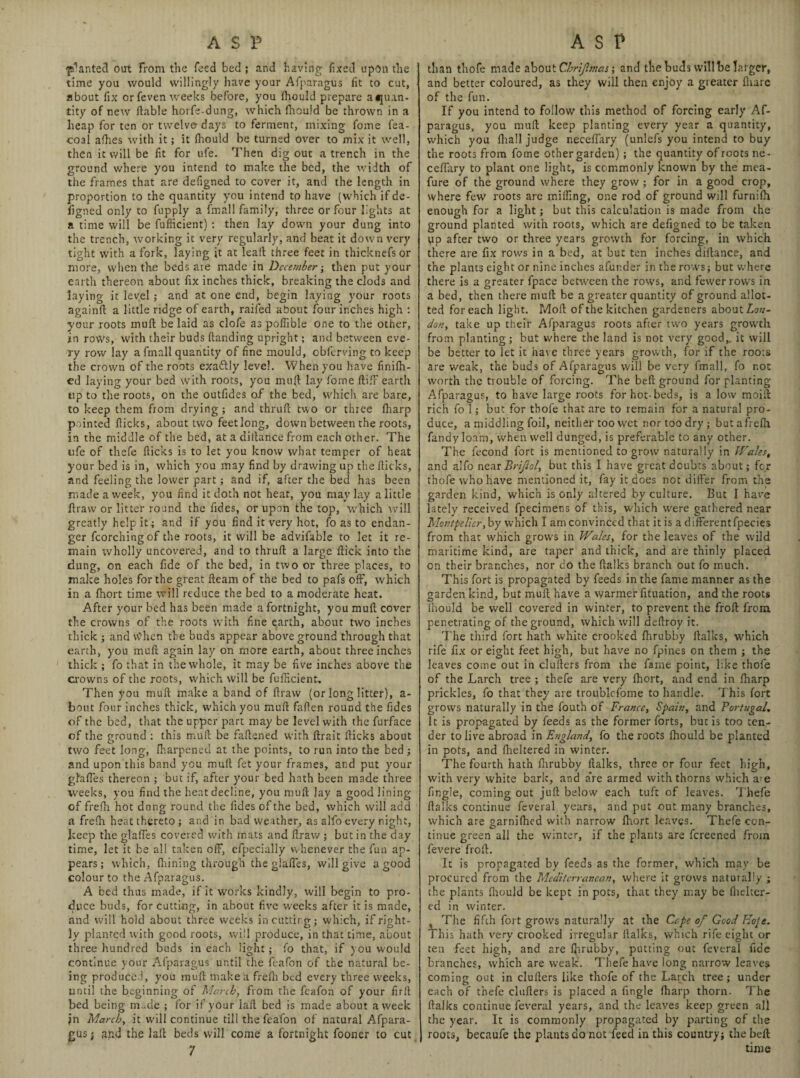 planted out From the feed bed ; and having fixed upon the time you would willingly have your Afparagus fit to cut, about fix or feven weeks before, you Ihould prepare a quan¬ tity of new liable horfe-dung, which fhould be thrown in a heap for ten or twelve days to ferment, mixing fome fea- coal afhes with it; it fhould be turned over to mix it well, then it will be fit for ufe. Then dig out a trench in the ground where you intend to make the bed, the width of the frames that are defigned to cover it, and the length in proportion to the quantity you intend tp have (which if de¬ figned only to fupply a fmall family, three or four lights at a time will be fufficient)then lay down your dung into the trench, working it very regularly, and beat it down very tight with a fork, laying it at leait three feet in thicknefsor more, when the beds are made in December; then put your earth thereon about fix inches thick, breaking the clods and laying it level; and at one end, begin laying your roots again!! a little ridge of earth, raifed about four inches high : your roots mull be laid as clofe as poflible one to the other, in rovVs, with their buds (landing upright; and between eve¬ ry row lay a fmall quantity of fine mould, obferving to keep the crown of the roots exaflly level. When you have finilh- ed laying your bed with roots, you mu(l lay fome ftifF earth up to the roots, on the outfides of the bed, which are bare, to keep them from drying; and thrull two or three (harp pointed flicks, about two feetlong, down between the roots, in the middle of the bed, at a diilance from each other. The ufe of thefe flicks is to let you know what temper of heat your bed is in, which you may find by drawing up the flicks, and feeling the lower part; and if, after the bed has been made a week, you find it doth not heat, you may lay a little flraw or litter round the fides, or upon the top, which will greatly help it; and if you find it very hot, fo as to endan¬ ger fcorchingof the roots, it will be advifable to let it re¬ main wholly uncovered, and to thrufl a large flick into the dung, on each fide of the bed, in two or three places, to make holes for the great fleam of the bed to pafs off, which in a fhort time will reduce the bed to a moderate heat. After your bed has been made a fortnight, you muft cover the crowns of the roots with fine earth, about two inches thick ; and tfhen the buds appear above ground through that earth, you muft again lay on more earth, about three inches thick ; fo that in the whole, it may be five inches above the crowns of the roots, which will be fufticient. Then you muft make a band of flraw (or long litter), a- bout four inches thick, which you muft fallen round the fides of the bed, that the upper part may be level with the furface of the ground : this muft be faftened with ftrait flicks about two feet long, Ih.arpened at the points, to run into the bed ; and upon this band you muft fet your frames, and put your glaftes thereon ; but if, after your bed hath been made three weeks, you find the heat decline, you muft lay a good lining of frefh hot dnng round the fides of the bed, which will add a frelh heat thereto; and in bad weather, as alfo every night, keep the glaftes covered with mats and flraw ; but in the day time, let it be all taken off, efpecially whenever the fun ap¬ pears ; which, fliining through the glaftes, will give a good colour to the Afparagus. A bed thus made, if it works kindly, will begin to pro¬ duce buds, for cutting, in about five weeks after it is made, and will hold about three weeks incuttirg; which, if right¬ ly planted with good roots, will produce, in that time, about three hundred buds in each light; fo that, if you would continue your Afparagus until the ft-afon of the natural be¬ ing produced, you muft make a frelh bed every three weeks, until the beginning of March, from the feafon of your firll bed being made ; for if your laft bed is made about a week jn March, it will continue till the feafon of natural Afpara¬ gus } and the laft beds will come a fortnight fooner to cut 7 than thofe made about Chrijlnms; and tbe buds will be larger, and better coloured, as they will then enjoy a greater Ihare of the fun. If you intend to follow this method of forcing early Af¬ paragus, you muft keep planting every year a quantity, which you (hall judge neceftary (unlefs you intend to buy the roots from fome other garden); the quantity of roots ne- ceflhry to plant one light, is commonly known by the mea- fure of the ground where they grow; for in a good crop, where few roots are miffing, one rod of ground will furnilh enough for a light; but this calculation is made from the ground planted with roots, which are defigned to be taken yp after two or three years growth for forcing, in which there are fix rows in a bed, at but ten inches diilance, and the plants eight or nine inches afur.der in the row's; but where there is a greater fpace between the rows, and fewer rows in a bed, then there muft be a greater quantity of ground allot¬ ted for each light. Moll of the kitchen gardeners about Lou¬ don, take up their Afparagus roots after two years growth from planting; but where the land is not very good,, it will be better to let it have three years growth, for if the roots are weak, the buds of Afparagus will be very fmall, fo not worth the trouble of forcing. The bell ground for planting Afparagus, to have large roots for hot-beds, is a low moift rich fo 1; but for thofe that are to remain for a natural pro¬ duce, a middling foil, neither too wet nor too dry; but a frelh fandy loam, when well dunged, is preferable to any other. The fecond fort is mentioned to grow naturally in Wales, and alfo near Brijlol, but this I have great doubts about; fer thofe who have mentioned it, fay it does not differ from the garden kind, which is only altered by culture. But I have lately received fpecimens of this, which were gathered near Montpelier, by which I am convinced that it is a differentfpecies from that which grows in Wales, for the leaves of the wild maritime kind, are taper and thick, and are thinly placed on their branches, nor do the ftalks branch out fo much. This fort is propagated by feeds in the fame manner as the garden kind, but muft have a warmer fttuation, and the roots Ihould be well covered in winter, to prevent the froft from penetrating of the ground, which will deftroy it. The third fort hath white crooked fhrubby ftalks, which rife fix or eight feet high, but have no fpines on them ; the leaves come out in clullers from the fame point, like thofe of the Larch tree ; thefe are very fhort, and end in lharp prickles, fo that they are troublcfome to handle. This fort grows naturally in the fouth of France, Spain, and Portugal, It is propagated by feeds as the former forts, but is too ten¬ der to live abroad in England, fo the roots Ihould be planted in pots, and fheltered in winter. The fourth hath fhrubby ftalks, three or four feet high, with very white bark, and a*re armed with thorns which are fingle, coming out juft below each tuft of leaves. Thefe ftalks continue feveral years, and put out many branches, which are garnifhed with narrow Ihort leaves. Thefe con¬ tinue green all the winter, if the plants are fereened from fevere froft. It is propagated by feeds as the former, which may be procured from the Mediterranean, where it grows naturally ; the plants Ihould be kept in pots, that they may be flicker¬ ed in winter. The fifth fort grows naturally at the Ccpc of Good Hope. I his hath very crooked irregular llalks, which rife eight or ten feet high, and are ftirubby, putting out feveral fide branches, which are weak. Thefe have long narrow leaves coming out in clullers like thofe of the Larch tree; under each of thefe clullers is placed a fingle lharp thorn. The llalks continue feveral years, and the leaves keep green all the year. It is commonly propagated by parting of the roots, becaufe the plants do not feed in this country; the beft time