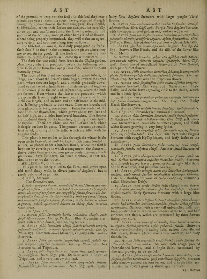 of the ground, to keep out the frofl: in this bed they nay remain one year ; then the roots having acquired flrength enough to produce flowers the following year, they Ihould, at Michaelmas, when their leaves are decayed, be carefully taken up, and traniplanted into the flower garden, in the middle of the borders, among!!: other hardy kind of flowers, where being properly intermixed, they will make an agree¬ able variety, and continue a long time in flower. The fifth fort is annual, fo is only propagated by feeds ; thefe fliould be fown in the autumn, in the places where they are to remain for good. If the feeds of this plant are per¬ mitted to fcatter, the plants will come up without care. The flxth fort was raifed from feeds in the Chcljea garden, Anno 1751, where it produced flowers the following year. The feeds came from the Cape of Good Hope, where this plant naturally grows. The roots of this plant are compofed of many tubers, or fangs, each about the fize of a little finger, toward the upper part, where they are largefl, and ditninilh gradually down¬ ward to the fize of a fmall ftvaw. Thefe are joined together at the crown (like the roots of Afparagus), where the buds are formed ; from whence the leaves are produced, which are generally feven or eight in number, and are nine or ten inches in length, and an inch and an half broad in the mid¬ dle, leflening gradually to both ends. They arefmooth, and of a glaucous or lea-green colour. From the center of the root arifes the flovver-flem, which grows about two feet and an half high, and divides into feveral branches. The flowers are produced thinly on the branches, forming a looie fpike, or thyrfus. Thefe are white, and confift of one leaf, which is deeply cut into fix parts. The germen becomes a roundifh fecd-vefi’d, opening in three cells, which are filled with tri¬ angular feeds. This plant is too tender to live through the winter in the open air in England, fo mull: be kept in pots, and houfed in ivinter, or placed under a hot-bed frame, where the frofl is kept out by covering ; in which management, the plants will thrive better than in a common green-houfe. In winter thefe plants mull have little wet, for much moifture, at that fla- fon, is apt to rot their roots. ASPLENIUM, orCeterach. This plant is nearly allied to the Fern, and grows upon old moift fhady walls in divers parts of England; but is rarely cultivated in gardens. ASTER, Starwort. The Char aiders are, It hath a compoundflower, compofed of feveral female and her¬ maphrodite fiorets, which are included in one common fcaly empale- ment; the rays of the flower are compofed offemale florets ; the her¬ maphrodite floretsform the dijk or middle ; thefe are funnel-Jl: aped, and have each five fro or t fender flamina ; in the bottom is placed a germen, which afterward becomes an oblong feed, crowned with down. The Species are, 1. Aster foliis lanceolatis hirtis, radicalibus obtufs, caule (itnpliciflimo uniforo. Lin. Sp.Pl. 872. Blue Mountain Star- ivort with a large flower, and oblong leaves. 2. Aster foliis lanceolatis obtufs fcabris trinervis integris, pedunculis nudiufculis corymbofis fquamis calycinis obtufs. Lin. Sp. Plant. 873. Common Attick Starwort, vulgarly called Italian Starwort. 3. Aster foliis lanceolatis integerrimis carnofs glabris ra- jnii incequatis, floribus corymbofis. Lin. Sp. Plant. 872. Sea Starwort called Tripolium. 4. Aster foliis linearibus acutis integerrimis, caule corymbo- fo ramofjfmo. Hort. Cliff. 408. Starwort with a flower of 7'ripolium, and a very narrow thin leaf. 5. Aster foliis lanceolatis altcrnis integerrimis femiam- pdexicaulibus floribus terminalibus. Hort. Clff. 408. Tailed hairy New England Starwort with large purple Violet flowers. 6. Aster foliis cordato-lanccolatis undulatis floribus racemofis adjeendentibus. Hort. Cliff. 408. Purple New England Starwort with the appearance of golden rod, and waved leaves. 7. Aster foliis femiamplexicaulibus lanceolatis ferratis fcabris, pedunculis aliernis fubunifleris calycibus difeum fuperantibus. Hort. Clff-^o^. Broad-leaved American Starwort with purplilh flalks. 8. Aster floribus ovatis difeo radiis longiore. Lin. Sp. PI. 877. Starwort like Heath, and the dilk of the flower like Wild Melilot. 9. Aster foliis lanceolatisfubferratis fejfilibus caule panicu- lato ramulis unifioris folitariis calycibus fquarrofis. Hort. Cliff, 408. Bread-leaved umbellatcd Starwort of New Holland, with pale Violet flowers. 10. Aster foliis lanceolato-linearibus fubcarnofs integerrimis planis floribus corymbofis fafigiatis pedunculis foliolofis. Lin. Sp. Plant. 874. Starwort with the Tripolium flower. 11. Aster caule fmpliciffmo foliis ovatis fejfilibus integerri¬ mis racerno terminal!. Flor. Virg. 178. Starwort with Angle flalks, oval entire leaves growing clofe to the flalks, which end in a loofe fpike. 12. Aster caule paniculato pedunculis racemofis pcdicellis fo- liofis foliolis linearibus integerrimis. Flor. Virg. 100. Bulhy Heath like Starwort. 13. Aster foliis cordatisferratis pctiolatis, caule paniculato. Hort. Ciff. 408. Broad-leaved autumnal Starwort. 14. Aster foliis lanceolato-linearibus medio ferratis peduncu¬ lis foliofs caule racemofo calycibus ereBis. Hort. Cliff. 408. Ame¬ rican Starwort with leaves like Summer Cyprefs, and bluifh white flowers growing in very long fpikes. 15. Aster caule corymbojo foliis lanceolatis refexis, floribus folitariis, calycibuspatuhs. Flor.Leyd. 168. Pyramidal Virginia Starwort with rough Hyfl'op leaves, and leafy feales to the empalement. 16. Aster foliis lanceolatis fcabris integris, caule rarnefo, pedunculis foliofis, calycibus obtufs. Another Attick Starwort of the Alps. 17. Aster foliis oblongo lanceolatis acutis ferratis caule ra- mofo floribus terminalibus calycibus linearibus ereBis. Starwort with fmooth jagged leaves, growing flatteringly like thole of the Peach tree, and pale blue flowers. 18. Aster foliis oblongis acutis bafi latioribus femiamplexi¬ caulibus, caule ramofo floribus terminalibus plcrumque folitariis. Late bine Ihrubby Starwort of John Tradefcant, commonly called Michaelmas Daify. 19. Aster caule ere Bo hirfuto foliis oblongis acutis fcabris acute dentatis femiamplexicaulibus floribus corymbofis, calycibus hirfutis ereBis. Early Pyretucan Starwort with a large blue flower. 20. Aster caule alt if mo hhfuto fimpliciffimo foliis oblongis acutis bafi latioribus femiamplexicaulibus floribus tribus fejfilibus terminalibus. Starwort with a very tall unbranched ftalk, ob¬ long pointed leaves, which are broader at the bafe, and half embrace the flalks, which are terminated by three flowers fitting very dole. 21. Aster caule ramoeffimo patulo, foliis lineari lancccla- tis rigidis, floribus Jerriatim prfitis pedunculis foliofis. Starwort with a very branching fpreading ltaik, narrow fpear-lhaped ilifF leaves, flowers placed one above another, and leafy foot-ftalks. 22. Aster foliis lanceolatis acutis fcabris, caule fmplici fle- ribus umbellatis terminalibus. Starwort with rough pointed fpear-lhaped leaves, and a fingle fialk, terminated by flowers, growing in an umbel. 23. Aster foliis nervofs acutis linearibus lanceolatis, caule fmplici floribus terminalibus quafi umbellatim difpoftis. Starwort with narrow pointed nervous leaves, and a Angle flalk, ter¬ minated by flowers growing almofl in an umbel. 24. Aster