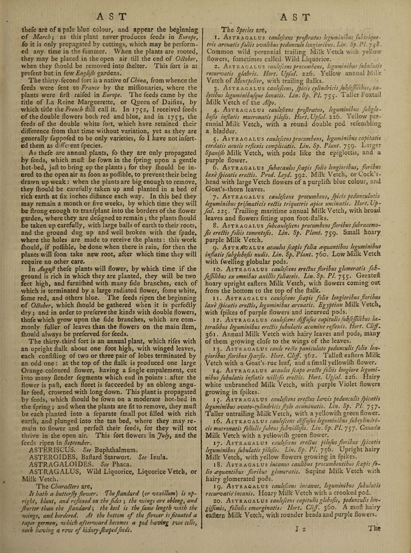thefe are of a pale blue colour, and appear the beginning of March; as this plant never produces feeds in Europe, fo it is only propagated by cuttings, which may be perform¬ ed any time in the fummer. When the plants are rooted, they may be placed in the open air till the end of Oflober, when they (hould be removed into fhelter. This fort is at prefent but in few Englifh gardens. The thirty-fecond fort is a native of China, from whence the feeds were fent to France by the miffionaries, where the plants were firil raifed in Europe. The feeds came by the title of La Reine Marguerette, or Queen of Daifies, by which title the French (till call it. In 1732, I received feeds of the double flowers both red and blue, and in 1753, the feeds of the double white fort, which have retained their difference from that time without variation, yet as they are generally fuppofed to be only varieties, fo I have not infert- ed them as different fpecies. As thefe are annual plants, fo they are only propagated by feeds, which muft be fown in the fpring upon a gentle hot-bed, juft to bring up the plants; for they (hould be in¬ ured to the open air as foon as poffible, to prevent their being drawn up weak: when the plants are big enough to remove, they Ihould be carefully taken up and planted in a bed of rich earth at fix inches diftance each way. In this bed they may remain a month or five weeks, by which time they will be ftrong enough to tranfplant into the borders of the dower garden, where they are defigned to remain ; the plants Ihould be taken up carefully, with large balls of earth to their roots, and the ground dug up and well broken with the fpade, where the holes are made to receive the plants: this work ihould, if poiiible, be done when there is rain, for then the plants will foon take new root, after which time they will require no other care. In Augufl thefe plants will dower, by which time if the ground is rich in which they are planted, they will be two feet high, and furnilhed with many fide branches, each of which is terminated by a large radiated dower, fome white, fome red, and others blue. The feeds ripen the beginning of Oflober, which Ihould be gathered when it is perfedly dry ; and in order to prefervethe kinds with double dowers, thofe which grow upon the fide branches, which are com¬ monly fuller of leaves than the dowers on the main Item, Ihould always be preferved for feeds. The thirty-third fort is an annual plant, which rifes with an upright ftalk about one foot high, with winged leaves, each confifting of two or three pair of lobes terminated by an odd one : at the top of the ftalk is produced one large Orange-coloured dower, having a fingle empalement, cut into many flender fegments which end in points : after the dower is paft, each fioret is fucceeded by an oblong angu¬ lar feed, crowned with long down. This plant is propagated by feeds, which (hould be fown on a moderate hot-bed in the fpring ; and when the plants are fit to remove, they muft be each planted into a feparate fmall pot filled with rich earth, and plunged into the tan bed, where they may re¬ main to dower and perfect their feeds, for they will not thrive in the open air. This fort dowers in July, and the feeds ripen in September. ASTERISCUS. See Buphthalmum. ASTEROIDES, Ballard Starwort. See Inula. ASTRAGALOIDES. See Phaca. ASTRAGALUS, Wild Liquorice, Liquorice Vetch, or Milk Vetch. The Charaflers are, It hath a butterfly flower. The flandard (or vexillum) is up¬ right, blunt, and reflexed on the Jides ; the wings are oblong, and Jhorter than the flandard; the keel is the fame length with the wings, atid bordered. At the bottom of the flower is fltuated a taper germen, which afterward becomes a pod having two cells, each having a row of kidney-fhapedfeeds. The Species are, 1. Astragalus caulefcens proflratus leguminibusfullriquc- tris arcuatis foliis ovalibus pedunculo longioribus. Lin. Sp.Pl. 7)8. Common wild perennial trailing Milk Vetch with yellow dowers, fometimes called Wild Liquorice. 2. Astragalus caulefcensprocumbens, leguminibus fubulaiis ^ recurvatis glabris. Hort. Upfal. 226. Yellow annual Milk Vetch of Montpelier, with trailing ftalks. 3. Astragalus caulefcens, fpicis cylindricis fubfeflilibus, ca- lycibus leguminibufque lanatis. Lin. Sp. PI. 753'- Taller Foxtail Milk Vetch of the Alps. 4. Astragalus caulefcens proflratus, leguminibus fubglo- bofls inflatis mucronatis pilofls. Hort. Upfal. 226. Yellow per¬ ennial Milk Vetch, with a round double pod refembling a bladder. 5. Astragalus caulefcens procumbens, leguminibus capitatis cordalis acutis refiexis complicatis. Lin. Sp. Plant. 759* Larger Spanifh Milk Vetch, with pods like the epiglottis, and a purple dower. 6. Astragalus fubacaulosflcapis folio longioribus, floribus laxefpicatis ereflis. Prod. Leyd. 392. Milk Vetch, orCock’s- head with large Vetch dowers of apurplifh blue colour, and Goat’s-thorn leaves. 7. Astragalus caulefcens procumbens, fpicis pedunculatis leguminibuspriflnaticis reflis triquetris apice uncinatis. Hort. Up¬ fal. 225. Trailing maritime annual Milk Vetch, with broad leaves and dowers dtting upon foot-ftalks. 8. Astragalus fubcauleflcens procumbens floribus fubracemo- fis ereflis foliis tomentofls. Lin. Sp. Plant. 759. Small hoary purple Milk Vetch. 9. Astr/TGalus acaulos flcapis folia aquantibus leguminibus inflatis fubglobofis nudis. Lin. Sp. Plant. 760. Low Milk Vetch, with dwelling globular pods. 10. Astragalus caulefcens ereflusfloribus glomeratis fub¬ feflilibus ex omnibus axillisfoliaceis. Lin. Sp. PI. 755* Greateft hoary upright eaftern Milk Vetch, with dowers coming out from the bottom to the top of the ftalk. 11. Astragalus caulefcens flcapis folio longioribus floribus laxe fpicatis ereflis, leguminibus arcuatis. Egyptian Milk Vetch, with fpikes of purple dowers and incurved pods. 12. Astragalus caulefcens diflfufus capitulisfubfeflilibus la¬ ter alibus leguminibus ereflis Jubulatis acumine refiexis. Hort. Cliff. 361. Annual Milk Vetch with hairy leaves and pods, many of them growing clofe to the wings of the leaves. 13. Astragalus caule reflo paniculato pedunculis folio lon¬ gioribus floribus fparfis. Hort. Cliff. 362. Tailed eaftern Milk Vetch with a Goat’s-rue leaf, and a fmall yellowifh dower. 14. Astragalus acaulos fcapo ereflo foliis longiore legumi¬ nibus Jubulatis inflatis villcfls ereflis. Hort. Upfal. 226. Hairy white unbranched Milk Vetch, with purple Violet dowers growing in fpikes. 15. Astragalus caulefcens credits lre vis pedunculis fpicatis leguminibus ovato-cylindricisflylo acuminatis. Lin. Sp. PI. 75 7. Taller untrailing Milk Vetch, with a yellowifh green dower. 16. Astragalus caulefcens diflfufus leguminibus fubcylindri- cis mucronatis floliolis fubtus fubvillofis. Lin. Sp. PI. 75 7. Canada Milk Vetch with a yellowifli green dower. 17. Astragalus caulefcens ereflus pilofusfloribus fpicatis leguminibus Jubulatis pilofls. Lin. Sp. PI. J fl. Upright hairy Milk Vetch, with yellow dowers growing in fpikes. 18. Astragalus incanus caulibus procumbcntibus fcapis fo¬ lio ezquantibus floribus glomeratis. Supine Milk Vetch with hairy glomerated pods. 19. Astragalus caulefcens incanus, leguminibus fubulaiis recurvatis'incanis. Hoary Milk Vetch with a crooked pod. 20. Astragalus caulefcens capitulis globofis, pedunculis lon- giflimis, floliolis emarginatis.' Hort. Cliff. 360. A mod hairy eaftern Milk Vetch, with rounder heads and purple dowers.