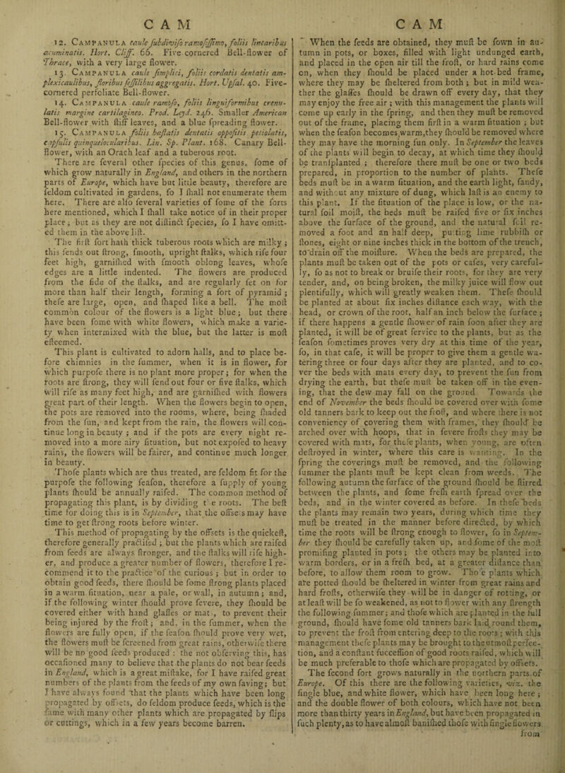 12. Campanula caule fubdivifo ramofjjimo, folds Unearth us acuminatis. Host. Cliff. 66. Five cornered Bell-flower of 'Thrace, with a very large flower. 13. Campanula caule fmplici, folds cordatis dent at is am- plexicauiibus, floribus fefjilibus aggregatis. Hort. Upfal. 40. Five- cornered perfoliate Beli-flower. 14. Campanula caule ramofo, folds lingutformibus crenu- latis margins cartilagineo. Prod. Lejd. 246. Smaller American Bell-flower with ftiffleaves, and a blue fpreading flower. 13. Campanula folds hafatis dent ads oppoftis petiolatis, capjulis quinquelocularibus. Lin. Sp. Plant. 168. Canary Bell¬ flower, with an Orach leaf and a tuberous root. There are feveral other fpecies of this genus, fome of which grow naturally in England, and others in the northern parts of Europe, which have but little beauty, therefore are feldom cultivated in gardens, fo I ihall not enumerate them here. There are all'o leveral varieties of fome of the forts here mentioned, which I Ihall take notice of in their proper place i but as they are not diftind fpecies, fo I have omitt¬ ed them in the above lift. The fit ft fort hath thick tuberous roots which are milky ; this fends out ftrong, fmooth, upright ftalks, which rife four feet high, garnilhed with fmooth oblong leaves, whole edges are a little indented. The flowers are produced from the fide of the ftalks, and are regularly fet on for more than half their length, forming a fort of pyramid ; thefe are large, open, and fhaped like a bell. The moll common colour of the flowers is a light blue; but there have been fome with white flowers, which malte a varie¬ ty when intermixed with the blue, but the latter is moft efteemed. This plant is cultivated to adorn halls, and to place be¬ fore chimnies in the fummer, when it is in flower, for which purpofe there is no plant more proper; for when the roots are ftrong, they will fend out four or five ftalks, which will rife as many feet high, and are garnifhed with flowers great part of their length. When the flowers begin to open, the pots are removed into the rooms, where, being ftiaded from the fun, and kept from the rain, the flowers will con¬ tinue long in beauty ; and if the pots are every night re¬ moved into a more airy fituation, but not expofed to heavy rain’s, the flowers will be fairer, and continue much longer in beauty. Thofe plants which are thus treated, are feldom fit for the purpofe the following feafon, therefore a fupply of young plants Ihould be annually raifed. The common method of propagating this plant, is by dividing t' e roots. The beft time for doing this is in September, that the offsets may have time to get ftrong roots before winter. This method of propagating by the offsets is the quickeft, therefore generally pra&ifed ; but the plants which are raifed from feeds are always ftronger, and the ftalks will life high¬ er, and produce a greater number of flowers, therefore I re¬ commend it to the pradice of the curious ; but in order to obtain good feeds, there fliould be fome ftrong plants placed in a warm fituation, near a pale, or wall, in autumn; and, if the following winter fhould prove fevere, they fhould be covered either with hand glafles or mats, to prevent their being injured by the froft ; and, in the fummer, when the flowers are fully open, if the feafon fhould prove very w’et, the flowers muff be fereened from great rains, otherwife there will be no good feeds produced : the not obferving this, has occaftoned many to believe that the plants do not bear feeds in England, which is a great miftake, for I have raifed great numbers of the plants from the feeds of my ownfaving; but 7 have always found Lhat the plants which have been long iropagated by offsets, do feldom produce feeds, which is the fame with many other plants which are propagated by flips or cuttings, which in a few years become barren. When the feeds are obtained, they muft be Town in au¬ tumn in pots, or boxes, filled with light undunged earth, and placed in the open air till the froft, or hard rains come cn, when they Ihould be placed under a hot-bed frame, where they may be fheltered from both ; but in mild wea¬ ther the glafles fhould be drawn off every day, that they may enjoy the free air; with this management the plants will come up early in the fpring, and then they muft be removed out of the frame, placing them firftin a warm fituation ; but when the feafon becomes,warm,they fhould be removed where they may have the morning fun only. In September the leaves of the plants will begin to decay, at which time they Ihoulft be traniplanted j therefore there muft be one or two beds prepared, in proportion to the number of plants. Thefe beds muft be in a warm fituation, and the earth light, faudy, and without any mixture of dung, which laftis an enemy to this plant. If the fituation of the place is low, or the na¬ tural foil moift, the beds muft be raifed five or fix inches above the furface of the ground, and the natural foil re¬ moved a foot and an half deep, patting lime rubbilh or ftones, eicht or nine inches thick in the bottom of the trench, tO'drain off the moifture. When the beds are prepared, the plants muft be taken out of the pots or cafes, very careful¬ ly, fo as not to break or bruife their roots, for they are very tender, and, on being broken, the milky juice will flow out plentifully, which will greatly weaken them. Thefe fhould be planted at about fix inches diftance each way, with the head, or crown of the root, half an inch below the furface ; if there happens a gentle fhovvei- of rain foon after they are planted, it will be of great fervice to the plants, but as the feafon fometimes proves very dry at this, time of the year, fo, in that cafe, it will be proper to give them a gentle wa¬ tering three or four days after they are planted, and to co¬ ver the beds with mats every day, to prevent the fun from drying the earth, but thefe muft be taken off in the even¬ ing, that the dew may fall on the ground Towards the end of November the beds fliould be covered over with fome old tanners bark to keep out the froft, and where there is not conveniency of covering them with frames, they Ihould be arched over with hoops, that in fevere frofts they may be covered with mats, for thefe plants, when young, are often deftroyed in winter, where this care is wanting. In the fpring the coverings muft be removed, and the following fummer the plants muft be kept clean from weeds. The following autumn the furface of the ground fliould be ftirred between the plants, and feme frelh earth fpread over the beds, and in the winter covered as before. In thefe beds the plants may remain two years, during which time they muft be treated in the manner before directed, by which time the roots will be ftrong enough to flower, fo in Septem¬ ber they fliould be carefully taken up, and fome of the moft promiftng planted in pots; the others may be planted into warm borders, or in a frelh bed, at a greater diftance than before, to allow them room to grow. Tho e plants which are potted fliould be fheltered in winter from great rains and hard frofls, otherwife they will be in danger of rotting, or atleaft will be fo weakened, as not to flower with any flrength the following fummer; and thofe which are planted in the full ground, Ihould have feme old tanners bark laid round them, to prevent the froft from entering deep to the roors; with this management thefe plants may be brought to the utmoft perfec¬ tion, and aconftant fucceflion of good roots raifed, which will be much preferable to thofe which are propagated byoifsets. The fecond fort grows naturally in the northern parts of Europe. Of this there are the following varieties, viz. the Angle blue, and white flower, which have been long here ; and the double flower of both colours, which have not been more than thirty years in England, but have been propagated m fuch plenty, as to havcalmoft banilhcd thofe with Angle flowers from