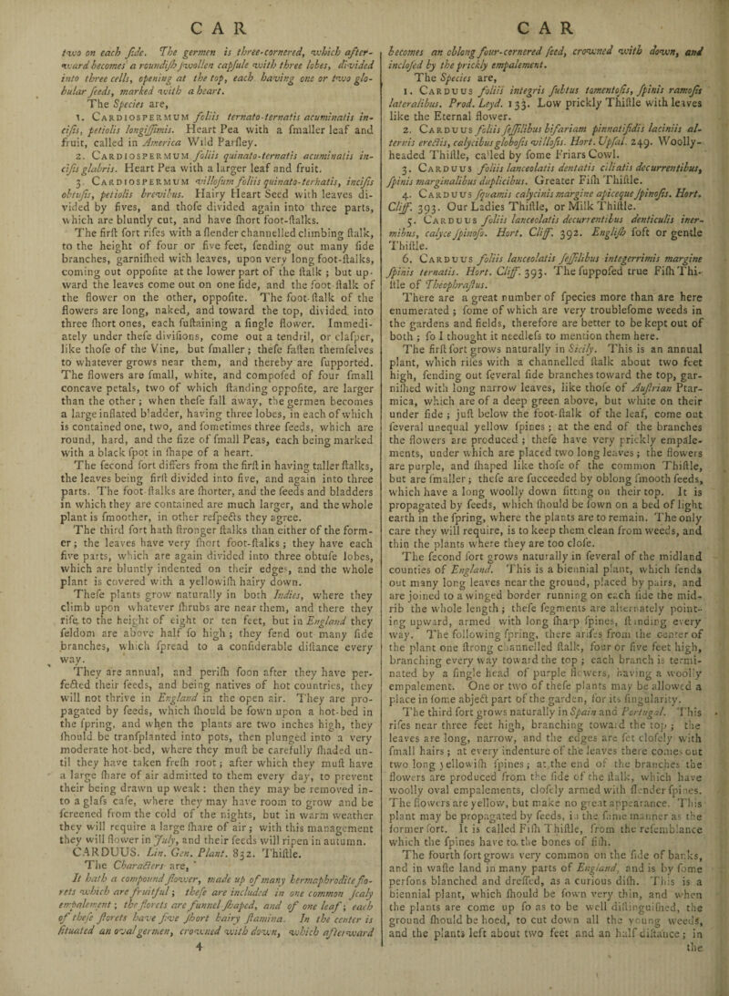 two on each f.de. The germen is three-cornered, which after¬ ward becomes a roundijh j wo Hen capfule with three lobes, divided into three cells, opening at the top, each having one or two glo¬ bular feeds, marked with a heart. The Species are, Cardiospermum fell is ternato-ternatis acuminntis in- eifs, petiolis longijfimis. Heart Pea with a fmaller leaf and fruit, called in America Wild Paidey. 2. Cardiospermum foliis quinato-ternatis acuminatis in- cifts glabris. Heart Pea with a larger leaf and fruit. 3. Cardiospermum villofum folds quinato-ternatis, incifs obtufis, petiolis brevibus. Hairy Heart Seed with leaves di¬ vided by fives, and thofe divided again into three parts, which are bluntly cut, and have fhort foot-ftalks. The firft fort rifes with a fender channelled climbino- ftalk, to the height of four or five feet, fending out many fide branches, garnifhed with leaves, upon very long foot-ftalks, coming out oppofite at the lower part of the lfalk ; but up¬ ward the leaves come out on one fide, and the foot italk of the flower on the other, oppofite. The foot-ftalk of the flowers are long, naked, and toward the top, divided into three fhort ones, each fuftaining a Angle flower. Immedi¬ ately under thefe divifions, come out a tendril, or clafper, like thofe of the Vine, but fmaller; thefe fallen themfelves to whatever grows near them, and thereby are fupported. The flowers are fmall, white, and compofed of four fmall concave petals, two of which ftanding oppofite, are larger than the other ; when thefe fall away, the germen becomes a large inflated b’adder, having three lobes, in each of which is contained one, two, and fometimes three feeds, which are round, hard, and the fize of fmall Peas, each being marked with a black fpot in ihape of a heart. The fecond fort differs from the firftin having taller ftalks, the leaves being firll divided into five, and again into three parts. The foot ftalks are fhorter, and the feeds and bladders in which they are contained are much larger, and the whole plant is fmoother, in other refpedls they agree. The third fort hath ftronger llalks than either of the form¬ er ; the leaves have very fhort foot-ftalks; they have each five parts, which are again divided into three obtufe lobes, which are bluntly indented on their edges, and the whole plant is covered with a yellowifh hairy down. Thefe plants grow naturally in both Indies, U’here they climb upon whatever ihrubs are near them, and there they rife, to the height of eight or ten feet, but in England they feldom are above half fo high ; they fend out many fide branches, which fpread to a coaftderable diltance every , way. They are annual, and perifh foon after they have per¬ fected their feeds, and being natives of hot countries, they will not thrive in England in the open air. They are pro¬ pagated by feeds, which fliould be fown upon a hot-bed in the fpring, and when the plants are two inches high, they fhould be tranfplanted into pots, then plunged into a very moderate hot-bed, where they muft be carefully fhaded un¬ til they have taken frefh root; after which they muft have a large fhare of air admitted to them every day, to prevent their being drawn up weak : then they may be removed in¬ to a glafs cafe, where they may have room to grow and be fcreened from the cold of the nights, but in warm weather they will require a large fhare of air; with this management they will flower in July, and their feeds will ripen in autumn. CARDUUS. Lin. Gen. Plant. 832. Thiftle. The CharaSlers are, It hath a compound fovser, tnade up of many hermaphroditefo- rets which are fruitful; thefe are included in one common Jcaly empalement; thefiords arc funnelfhaped, and of one leaf; each of thefe forets have fve fhort hairy ftamina. In the center is Etuated an ova!germen, crowned with down, which afterward becomes an oblong four-cornered feed, crowned with down, and inclofed by the prickly empalement. The Species are, 1. Carduus foliis integris full us tamentofis, fpinis ramofs lateralibus. Prod. Leyd. 133. Low prickly Thiftle with leaves like the Eternal flower. 2. Carduus foliis feffllibus bifar't am pinnatifdis laciniis at¬ tends ere tits, calycibus globof.s villofs. tiort. Upfal. 249. Woolly- headed Thiftle, ca'led by fome Friars Cowl. 3. Carduus foliis lanceolatis dentatis ciliatis decurrentibus, fpinis marginalibus duplicibus. Greater Fifh Thiftle. 4. Carduus fquamis calycinismargine apieequeJpinofs. Hort. Cliff. 393. Our Ladies Thiftle, or Milk Thiftle. 5. Carduus folds lanceolatis decurrentibus denticulis iner- mibus, calyce fpinofo. Hort. Cliff. 392. Englifo foft or gentle Thiftle. 6. Carduus foliis lanceolatis Jefflibus integerrimis margine fpinis ternatis. Hort. Cliff. 393. The fuppofed true Fifh Tin¬ kle of Theophrafus. There are a great number of fpecies more than are here enumerated ; fome of which are very troublefome weeds in the gardens and fields, therefore are better to be kept out of both ; fo I thought it needlefs to mention them here. The firft fort grows naturally in Sicily. This is an annual plant, which rifes with a channelled ftalk about two feet high, fending out feveral fide branches toward the top, gar¬ nifhed with long narrow leaves, like thofe of Auf.rian Ptar- mica, which are of a deep green above, but white on their under fide ; juft below the foot-ftalk of the leaf, come out feveral unequal yellow fpines; at the end of the branches the flowers are produced ; thefe have very prickly empale- ments, under which are placed two long leaves; the flowers are purple, and fhaped like thofe of the common Thiftle, but are fmaller; thefe are lucceeded by oblong fmooth feeds, which have a long woolly down fitting on their top. It is propagated by feeds, which fhould be fown on a bed of light earth in the fpring, where the plants are to remain. The only care they will require, is to keep them clean from weeds, and thin the plants where they are too clofe. The fecond fort grows naturally in feveral of the midland counties of England. This is a biennial plant, which fends out many long leaves near the ground, placed by pairs, and are joined to a winged border running on each fide the mid¬ rib the whole length; thefe fegments are alternately point¬ ing upward, armed with long fnarp fpines, ftindirg every way. The following fpring, there arifes from the c-enter of the plant one ftrong channelled ftalk, four or five feet high, branching every way toward the top ; each branch is termi¬ nated by a fingle head of purple Hewers, having a woolly empalement. One or two of thefe plants may be allowed a place in fome abjeft part of the garden, for its Angularity. The third fort grows naturally in Spain and Portugal. This rifes near three feet high, branching toward the top ; the leaves are long, narrow, and the edges are fet clofely with fmall hairs; at every indenture of the leaves there comes cut two long ) ellowilh fpines; at the end of the branches the flowers are produced from the fide of the ftalk, which have woolly oval empalements, clofely armed with (lender fpines. The flowers are yellow, but make no great appearance. This plant may be propagated by feeds, i.i the fame manner as the former fort. It is called Fifh Thiftle, from the refemblance which the fpines have to. the bones of fifh. The fourth fort grows very common on the fide of banks, and in wafte land in many parts of England, and is by fome perfons blanched and drefied, as a curious difh. This is a biennial plant, which fhould be fown very thin, and when the plants are come up fo as to be well dillinguifned, the ground fhould be hoed, to cut down all the young weeds, and the plants left about two feet and an half diltance; in