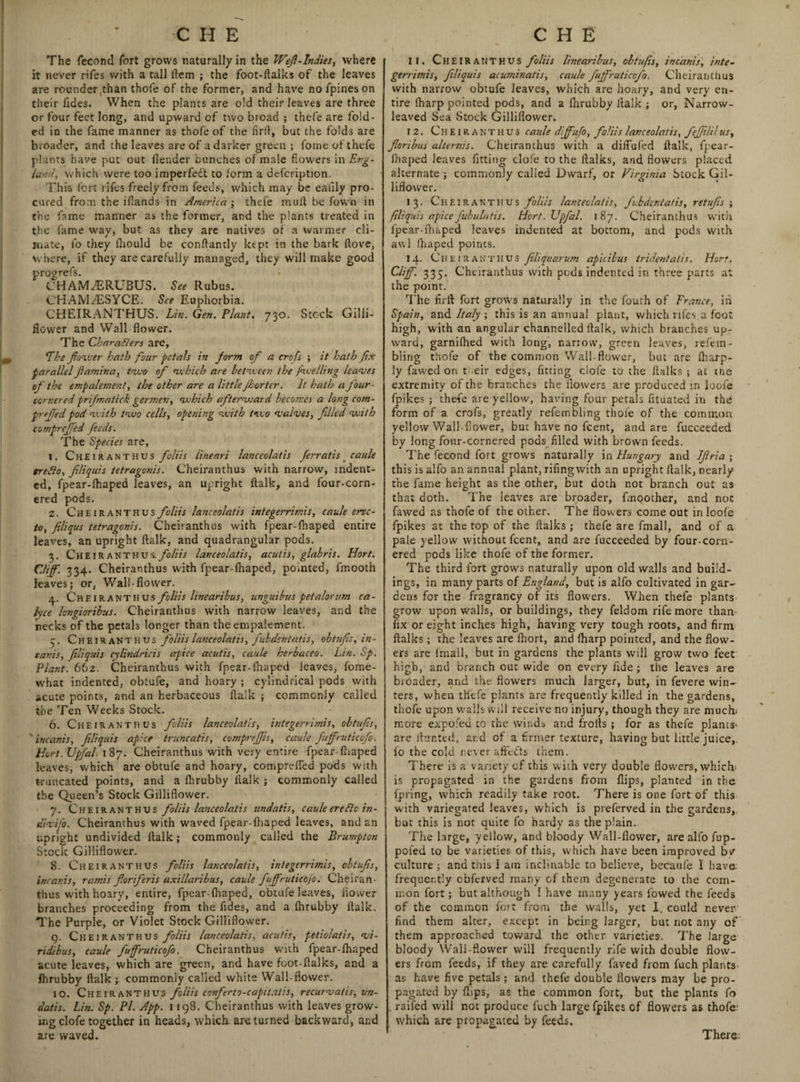 The fecond fort grows naturally in the Wef-Indies, where it never rifes with a tall item ; the foot-ftalks of the leaves are rounder than thofe of the former, and have no fpines on their fides. When the plants are old their leaves are three or four feet long, and upward of two broad ; thefe are fold¬ ed in the fame manner as thofe of the firft, but the folds are broader, and the leaves are of a darker green ; foine of thefe plants have put out (lender bunches of male flowers in Eng¬ land, which were too imperfect to form a aefcription. This fort rifes freely from feeds, which may be ealily pro¬ cured from the ifiands in America ; thefe mult be fown in the fame manner as the former, and the plants treated in the fame way, but as they are natives of a warmer cli¬ mate, fo they fhould be conftantly kept in the bark flove, where, if they are carefully managed, they will make good prog refs. CHAIVLERUBUS. See Rubus. CHAMiESYCE. See Euphorbia. CHEIRANTHUS. Lin. Gen. Plant. 730. Stock Gilli- flower and Wall flower. The Charade rs are. The flower hath four petals in form of a crofs ; it hath fix parallel flamina, two of which are between the /welling leaves of the empalement, the other are a little Jhortcr. It hath a four cornered prifmatick germen, which afterward becomes a long com- prrfled pod with two cells, opening with two valves, filled with compreffed feeds. The Species are, 1. Cheiranthus folds iineari lanceolatis frratis _ caule treflo, fliquis tetragonis. Cheiranthus with narrow, indent¬ ed, fpear-fhaped leaves, an upright ftalk, and four-corn¬ ered pods. 2. Cheiranthus folds lanceolatis integerrim.is, caule erec- to, filiqus tetragonis. Cheiranthus with fpear-fhaped entire leaves, an upright ftalk, and quadrangular pods. 3. Cheiranthus. foliis lanceolatis, aculis, glabris. Hort. Cliff. 334. Cheiranthus with fpear-fhaped, pointed, fmooth leaves; or, Wall-flower. 4. Cheiranthus foliis linearibus, unguibus pet alarum ca- lyce lengioribus. Cheiranthus with narrow leaves, and the necks of the petals longer than the empalement. 3. Cheiranthus foliis lanceolatis, fvbdsntatis, obtufis, in - earns, fliquis cylindricis apice acutis, caule herbaceo. Lin. Sp. Plant. 662. Cheiranthus with fpear-ihaped leaves, fome- what indented, obtufe, and hoary ; cylindrical pods with acute points, and an herbaceous ftalk ; commonly called the Ten Weeks Stock. 6. Cheiranthus folds lanceolatis, integerrimis, obtufis, incanis, fliquis apice truncatis, compreffis, caule fuffruticcfo. Hort. JJpfal. 187. Cheiranthus with very entire fpear-fhaped leaves, which are obtufe and hoary, compreffed pods with truncated points, and a flirubby ltaik ; commonly called the Queen’s Stock Gilliflower. 7. Cheiranthus folds lanceolatis undatis, caule ere die in- divifo. Cheiranthus with waved fpear-fhaped leaves, and an upright undivided ftalk; commonly called the Brumpton Stock Gilliflower. 8. Cheiranthus folds lanceolatis, integerrimis, obtufis, incanis, ramis fioriferis axillaribus, caule fuffruticofo. Cheiran¬ thus with hoary, entire, fpear-fhaped, obtufe leaves, flower branches proceeding from the fides, and a flirubby ftalk. The Purple, or Violet Stock Gilliflower. 9. Cheiranthus folds lanceolatis, acutis, petiolatis, vi- ridibus, caule fuffruticofo. Cheiranthus with fpear-fhaped acute leaves, which are green, and have foot-flalks, and a fhrubby ftalk; commonly called white Wall flower. 10. Cheiranthus folds confer10-capitalis, recurvatis, un- dads. Lin. Sp. Pi. App. 1198. Cheiranthus with leaves grow¬ ing clofe together in heads, which are turned backward, and are waved. 11. Cheiranthus folds linearibus, obtufis, incanis, inte¬ gerrimis, fliquis acuminatis, caule fuffruticofo. Cheiranthus with narrow obtufe leaves, which are hoary, and very en¬ tire (harp pointed pods, and a flirubby ftalk ; or, Narrow¬ leaved Sea Stock Gilliflower. 12. Cheiranthus caule diffufo, folds lanceolatis, feffilil us, foribus alternis. Cheiranthus with a diffufed ftalk, fpear- fhaped leaves fitting clofe to the ftalks, and flowers placed alternate; commonly called Dwarf, or Virginia Stock Gil¬ liflower. 13. Cheiranthus folds lanceolatis, fubdeniatis, retufs ; fliquis apice fibula tis. Hort. Upfal. 187. Cheiranthus with fpear-fhaped leaves indented at bottom, and pods with awl fhaped points. 14. Cheiranthus filiquarum apicibus trident alts. Hort. Cliff. 335. Cheiranthus with pods indented in three parts at the point. The firft fort grows naturally in the fouth of France, in Spain, and Italy ; this is an annual plant, which rifes a foot high, with an angular channelled ftalk, which branches up¬ ward, garnifhed with long, narrow, green leaves, refem- bling thofe of the common Wall-flower, but are fharp- ly fawed on t eir edges, fitting dole to the ftalks ; at the extremity of the branches the flowers are produced in loofe fpikes ; thefe are yellow, having four petals fttuated in thd form of a crofs, greatly refernbling thole of the common yellow Wall flower, but have no feent, and are fucceeded by long four-cornered pods filled with brown feeds. The fecond fort grows naturally in Hungary and Ifria ; this is alfo an annual plant, rifingwith an upright ftalk, nearly the fame height as the other, but doth not branch out as that doth. The leaves are broader, fmoother, and noc fawed as thofe of the other. The flowers come out in loofe fpikes at the top of the ftalks ; thefe are fmall, and of a pale yellow without feent, and are fucceeded by four-corn¬ ered pods like thofe of the former. The third fort grows naturally upon old walls and build¬ ings, in many parts of England, but is alfo cultivated in gar¬ dens for the fragrancy of its flowers. When thefe plants grow upon walls, or buildings, they feldom rife more than fix or eight inches high, having very tough roots, and firm ftalks; the leaves are fhort, and (harp pointed, and the flow¬ ers are fmall, but in gardens the plants will grow two feet high, and branch out wide on every fide ; the leaves are broader, and the flowers much larger, but, in fevere win¬ ters, when thefe plants are frequently killed in the gardens, thofe upon walls will receive no injury, though they are much; more expofeu co the winds and frolls ; for as thefe plants^ are ftunted, ar.d of a firmer texture, having but little juice,, io the cold never aftedts them. There is a variety of this with very double flowers, which; is propagated in the gardens from flips, planted in the fpring, which readily take root. There is one fort of this with variegated leaves, which is preferved in the gardens, but this is not quite fo hardy as the plain. The large, yellow, and bloody Wall-flower, are alfo fup- poled to be varieties of this, which have been improved bv culture ; and this ] am inclinable to believe, becaule 1 have, frequently obferved many of them degenerate to the com¬ mon fort; but although 1 have many years lowed the feeds of the common foit from the walls, yet I. could never find them alter, except in being larger, but not any of them approached toward the other varieties. The large bloody Wall-flower will frequently rife with double flow¬ ers from feeds, if they are carefully faved from fuch plants as have five petals; and thefe double flowers may be pro¬ pagated by flips, as the common fort, but the plants fo . railed will noc produce fuch large fpikes of flowers as thofe which are propagated by feeds. There