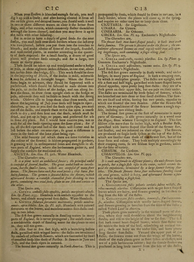 When your Endive is blanched enough for ufe, you mull dig it up with a fpade ; and after having cleared it from all the outfide green and decayed leaves, you Ihould wadi it well in two or three different waters to clear it the better from flugs, and other vermin, which commonly fhelter themfelves amongft the leaves thereof, and then you may ferve it up to the table with other fallading. But in order to have a fupply of good feeds for the next feafon, you mull look over thofe borders where the laftcrop was tranfplanted, before you put them into the trenches to blanch ; and make choice of fome of the largeft, foundeft, and moft curled plants, in number according to the quanti¬ ty of feeds required: for a fmall family, a dozen of good plants will produce feeds enough; and for a large, two dozen or thirty plants. Thefe Ihould be taken up and tranfplanted under a hedge or pale, at about eighteen inches diftance, in one row, about ten inches from the hedge, V. This work Ihould be done in-the beginning of March, if the feafon is mild, otherwife fc may be deferred a fortnight longer. When the flower flems begin to advance, they Ihould be fupported with a packthread, which fnould be faftened to nails driven into the pale, or to the flakes of the hedge, and run along be¬ fore the flems, to draw them upright clofe to the hedge or pale, otherwife they will be liable to break with the flrong winds. Obferve alfo to keep them clear from weeds, and about the beginning of July your feeds will begin to ripen ; therefore, as foon as you find the feeds quite ripe, you mull cut off the ftalks, and expofe them to the fun upon a coarfe cloth to dry ; and then beat out the feeds, which mult be dried, and put up in bags or paper, and preferved for ufe in fome dry place. But I would here caution you, not to wait for all the feeds ripening upon the fame plant; for if fo, all the firfl ripe and beftof the feeds will fcatter and be loll before the other are near ripe; fo great a difference is there in the feeds of the fame plant being ripe. The wild Succory (of which there are fome varieties in the colour of the flowers) is feldompropagated in gardens; it growing wild in unfrequented lanes and dunghills in di¬ vers parts of England, where the herbwomen gather it, and fupply the markets for medicinal ufe. CICUTA. Lin. Gen. PI. 316. Water Hemlock. . The Characters are, It is a plant with an umbellatecl flower ; the principal umbel is compofed of federal /mailer. The great umbel hath no involu- crum, but the fmaller have, which are compofed of many Jhort leaves. The fowers have each five oval petals ; they have five hairyJlamina. The germen is Jituated below the flower, which afterward becomes a roundijb channelled fruit dividing in two parts, containing two oval feeds, plain on one fide• and convex on the other. The Species are, 1. Cicuta umbellisfolio oppofltis, petiolis marginatis ebtufs. Lin. Sp. Plant. 255. Hemlock with umbels oppofite to the leaves, nndobtufe marginated foot-ftalks. Water Hemlock. 2. Cicuta foliar urn ferraturis mucronatis, petiolis membra- naceis, apice bilolis. Lin. Sp. PI. 256. Hemlock with pointed ferratures to the leaves, and membranaceous foot-ffalks end¬ ing in two lobes. The firfl fort grows naturally in flanding waters in many parts of England, fo is never propagated ; for unle'fs there is a corfiderable depth of flanding water for the plants to root in, they will not grow. It riles four or five feet high, with a branching hollow ftalk, garnilhed with winged leaves: the ftalks are terminated by umbels of yellowilh flowers, which are fucceeded by fmall channelled feeds like thofe of Parlley. It flowers in June and July, and the feeds ripen in autumn. The fecond fort grows naturally in North America. This is propagated by feeds, which Ihould be Town in autumn, in a fhady border, where the plants will come up in the fpring, and require no other care but to keep them clean. CICUTARIA. See Ligufticum. CINARA. See Cynara. CINERARIA. See Othonna. C1RCEA. Lin. Gen. PI. 24. Enchanter’s Nightfhade. The Characters are, The flower hath two heart-Jhaped petals ; it hath two ereCl hairy flamina. The germen is fituated under the flower ; the cm- palement afterward becomes an oval capjule with two cells open¬ ing lengthways, each containing a Jingle oblong feed. The Species are, 1. Circe a caule ereCl 0, racemis pluribus. Lin. Sp. Plant. 9. Common Enchanter’s Nightfhade. 2. Circea caule adfcendente, racemo unico. Lin. Sp. PI. 9. Leak Enchanter’s Nightlhade. The firfl fort grows naturally in fhady woods, and under hedges, in many parts of England. It hath a creeping root, by which it multiplies greatly. The ftalks are upright, and rife a foot and half high, garnilhed with heart-fhaped leaves placed oppofite, upon pretty long foot-ftalks : they are of a dark green on their upper fide, but are pale on their under. The ftalks are terminated by loofe fpikes of flowers, which are branched out into three or four fmall divifions.The flow¬ ers are fmall and white, having but two petals, oppolite to which are fituated the two flamina. After the flowers fail away, the empalement of the flower becomes a rough cap- fule, incloflng two oblong feeds. The fecond fort grows at the foot of mountains in many parts of Germany; it alfo grows naturally in a wood near the Hague, from whence I brought it to England. This fort feldom rifes more than fix inches high, with a flender ftalk, garnilhed with leaves fhaped like thofe of the former fort, but fmaller, and are indented on their edges. The flowers are produced on Angle loofe fpikes at the top of the ftalks, which are fmaller than thofe of the former fort, but of the fame form and colour. They both multiply exceedingly by their creeping roots, fo are feldom kept in gardens, unlefs for the fake of variety. CIRSIUM. See Carduus. CISSAMPELOS. Lin. Gen. PI. 993. The Characters are, It is male and female in different plants ; the male flowers have no petals, but a Jingle flyle rifes in the center, which extends be¬ yond the empalement, terminated by a large futnmit having Jour lobes. The female fowers have four neClariusns flanding round the oval gennen, which is hairy, asid afterward becomes afuc- culent berry incloflng a JingleJ'eed, The Species are, 1. Ciss AM PE LOS foliis peltatis cordatis fubtus villojis, flo- ribus racemofes alaribus. Ciflampelos with target heart-fhaped leaves which are hairy, and flowers growing in bu'i.ches ri- fing from the fide of the ftalks. 2. Cissampelos foliis cordatis, tomentofls, foribusracemo- fis, alaribus. Ciflampelos with woolly heart-fhaped leaves, and flowers growing in bunches from the fides of the ftalks ; called Velvet Leaf in America. Thefe plants grow naturally in the warmed parts of Ame¬ rica, where they twill themfelves about the neighbouring fhrubs, and rife to the height of five or fix feet. The full fort hath round heart-fhaped leaves, whole foot-ftalks are fet within the bale of the leaf, refembling an ancient tar¬ get ; thefe are hairy on the under fide, and have pretty long flender foot-ftalks. Toward the upper part of the Ulalks, the flowers come out from the wings of the leaves; thofe of the male plants grow in fhort fpikes or chillers, and are of a pale herbaceous colour ; but the female flowers are produced in long loofe racemi from the fide of the ftalks,