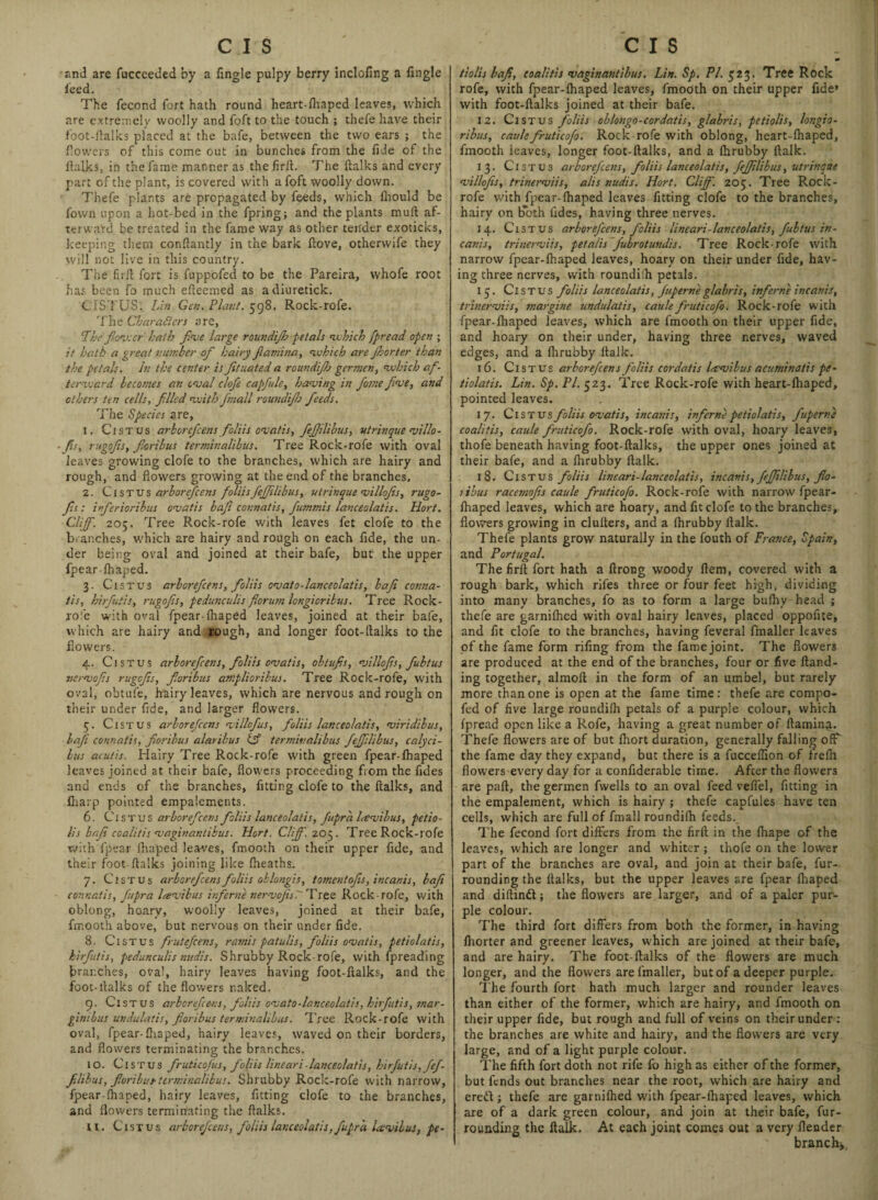 and are fuceeeded by a Angle pulpy berry inclofing a Angle feed. The fecond fort hath round heart-fhaped leaves, which are extremely woolly and foft to the touch ; thefe have their foot-flalks placed at the bafe, between the two ears ; the flowers of this come out in bunches from the fide of the ltalks, in the fame manner as thefirll. The {talks and every part of the plant, is covered with a foft woolly down. Thefe plants are propagated by feeds, which fhould be fown upon a hot-bed in the fpring; and the plants mult af¬ terward be treated in the fame way as other tender exoticks, keeping them conffantly in the bark ftove, otherwife they will not live in this country. The firft fort is fuppofed to be the Pareira, whofe root has been fo much efteemed as adiuretick. CIS 1 US. Lin. Gen. Plant. 598. Rock-rofe. The Characters are, The'flora:er hath five large roundij).b petals which fpread open ; it hath a great number of hairy fiamina, which are Jhorter than the petals. In the center is ftuated a roundijh germen, which af¬ terward becomes an oval clofe capfule, having in fome five, and others ten cells, filled with firnall roundijh feeds. The Species are, 1. Cist us arbor cficens fioliis ovatis, fiejjilibus, utrinque villo- ■fits, rugofis, fioribus terminalibus. Tree Rock-rofe with oval leaves growing clofe to the branches, which are hairy and rough, and flowers growing at the end of the branches. 2. Cistus arboreficens foliis fiejfilibus, utrinque villofis, rugo- fis: infierioribus ovatis bafi connatis, fiummis lanceolatis. Hort. Cliff. 205. Tree Rock-rofe with leaves fet clofe to the branches, which are hairy and rough on each fide, the un¬ der being oval and joined at their bafe, but the upper fpear-fhaped. 3. Cistus arboreficens, foliis ovato-lanceolatis, bafi conna¬ tis, hirfiuiis, rugofis, pedunculis fiorimi longioribus. Tree Rock- jole with oval fpear-fhaped leaves, joined at their bafe, which are hairy and rough, and longer foot-flalks to the flowers. 4. Cistus arboreficens, fioliis ovatis, obtufis, villofis, fiubtus nervofis rugofis, fioribus aniplioribus. Tree Rock-rofe, with oval, obtufe, hairy leaves, which are nervous and rough on their under fide, and larger flowers. 5. Cistus arboreficens villofus, foliis lanceolatis, viridibus, bafi connatii, fioribus alaribus & terminalibus fiejfilibus, calyci- lus acutis. Hairy Tree Rock-rofe with green fpear-fhaped leaves joined at their bafe, flowers proceeding from the fides and ends of the branches, fitting clofe to the ftalks, and fiiarp pointed empalements. 6. Cistus arboreficens foliis lanceolatis, Jupra h-evihus, petio- lis bafe coalitis vaginantibus. Hort. Cliff. 205. Tree Rock-rofe with fpear fhaped leaves, fmooth on their upper fide, and their foot-flalks joining like fheaths. 7. Cistus arboreficens foliis oklongis, tomentofis, incanis, bafe connatis, fupra Icevibus inferne nervofis7~ Tree Rock-rofe, with oblong, hoary, woolly leaves, joined at their bafe, fmooth above, but nervous on their under fide. 8. Cistus fruteficens, ramis patulis, foliis ovatis, petiolatis, hirfiuiis, pedunculis midis. Shrubby Rock-rofe, with fpreading branches, oval, hairy leaves having foot-flalks, and the foot-flalks of the flowers naked. 9. Cistus arborefice-ns, fioliis ovato-lanceolatis, hirfiuiis, mar- ginibus undulatis, fioribus terminalibus. Tree Rock-rofe with oval, fpear-fhaped, hairy leaves, waved on their borders, and flowers terminating the branches. 10. Cistus fruticofus, foliis lineari-lanceolatis, hirfiutis,fefi- filibus, fioribus'terminalibus. Shrubby Rock-rofe with narrow, fpear-fhaped, hairy leaves, fitting clofe to the branches, and flowers terminating the flalks. ti. Cistus arboreficens, foliis lanceolatis, fupr'a Icevibus, pe- m tiolis bafi, coalitis vaginantibus. Lin. Sp. PI. 523. Tree Rock rofe, with fpear-lhaped leaves, fmooth on their upper fide» with foot-flalks joined at their bafe. 12. Cistus foliis oblongo-cordatis, glabris, petiolis, longio- ribus, caulefiruticofo. Rock rofe with oblong, heart-fhaped, fmooth leaves, longer foot-flalks, and a fhrubby ftalk. 13. Cistus arboreficens, fioliis lanceolatis, fiejfilibus, utrinque villofis, trinerviis, alts nudis. Hort. Cliff. 205. Tree Rock- rofe with fpear-fhaped leaves fitting clofe to the branches, hairy on both iides, having three nerves. 14. Cistus arboreficens, fioliis lineari-lanceolatis, fiubtus in¬ canis, trinerviis, petalis fiubrotundis. Tree Rock-rofe with narrow fpcar-fhaped leaves, hoary on their under fide, hav¬ ing three nerves, with roundifh petals. 15. Cistus foliis lanceolatis, fiuperne glabris, inferne incanis, trinerviis, margine undulatis, caule firuticofo. Rock-rofe with fpear-fhaped leaves, which are fmooth on their upper fide, and hoary on their under, having three nerves, waved edges, and a fhrubby ftalk. 16. Cistus arboreficens foliis cordatis Imvibus acuminatis pe¬ tiolatis. Lin. Sp. PI. 523. Tree Rock-rofe with heart-fhaped, pointed leaves. 17. Cistus foliis ovatis, incanis, inferne petiolatis, fiuperne coalitis, caule firuticofo. Rock-rofe with oval, hoary leaves, thofe beneath having foot-flalks, the upper ones joined at their bafe, and a fhrubby flalk. 18. Cistus foliis lineari-lanceolatis, incanis, fiejfilibus, flo- libus racemofis caule firuticofo. Rock-rofe with narrow fpear- fhaped leaves, which are hoary, and fit clofe to the branches, flowers growing in clufters, and a fhrubby flalk. Thefe plants grow naturally in the fouth of France, Spain, and Portugal. The firft fort hath a ftrong woody Item, covered with a rough bark, which rifes three or four feet high, dividing into many branches, fo as to form a large bufliy head ; thefe are garnifhed with oval hairy leaves, placed oppofite, and fit clofe to the branches, having feveral fmaller leaves of the fame form rifing from the famejoint. The flowers are produced at the end of the branches, four or five ftand- ing together, almoft in the form of an umbel, but rarely more than one is open at the fame time: thefe are compo- fed of five large roundilh petals of a purple colour, which fpread open like a Rofe, having a great number of ftamina. Thefe flowers are of but fhort duration, generally falling off the fame day they expand, but there is a fucceflion of frefli flowers every day for a confiderable time. After the flowers are paft, the germen fvvells to an oval feed veflel, fitting in the empalement, which is hairy ; thefe capfules have ten cells, which are full of fmall roundifli feeds. The fecond fort differs from the firft in the fhape of the leaves, which are longer and whiter; thofe on the lower part of the branches are oval, and join at their bafe, fur¬ rounding the flalks, but the upper leaves are fpear fhaped and diftinft; the flowers are larger, and of a paler pur¬ ple colour. The third fort differs from both the former, in having fhorter and greener leaves, w hich are joined at their bafe, and are hairy. The foot-flalks of the flowers are much longer, and the flowers are fmaller, but of a deeper purple. The fourth fort hath much larger and rounder leaves than either of the former, which are hairy, and fmooth on their upper fide, but rough and full of veins on their under : the branches are white and hairy, and the flow'ers are very large, and of a light purple colour. The fifth fort doth not rife fo high as either of the former, but fends out branches near the root, which are hairy and ereft; thefe are garnifhed with fpear-fhaped leaves, which are of a dark green colour, and join at their bafe, fur- rounding the ftalk. At each joint comes out a very flender branch-,,