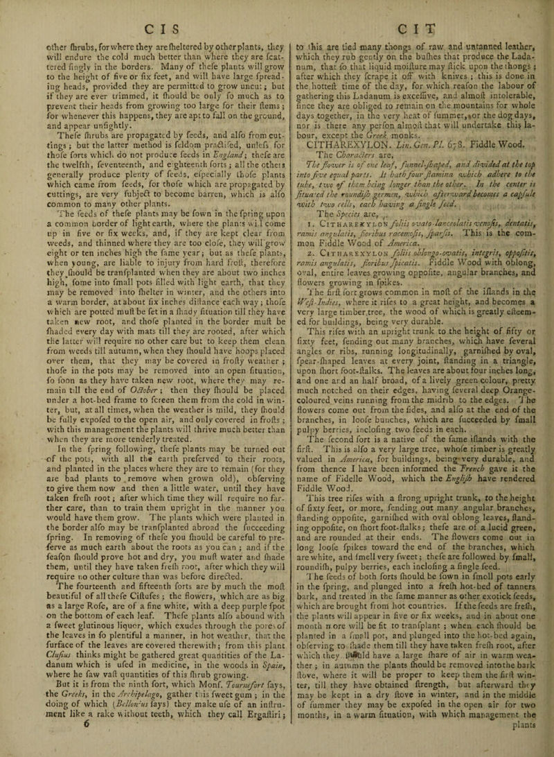 other fhrubs, for where they are ftieltered by other plants, they will endure the cold much better than where they are Mat¬ tered fin gly in the borders. Many of thefe plants will grow to the height of five or fix feet, and will have large fpread- ing heads, provided they are permitted to grow uncut; but if they are ever trimmed, it fhould be only fo much as to prevent their heads from growing too large for their Hems; for whenever this happens, they are apt to fall on the gro-und, and appear unfightly. Thefe fhrubs are propagated by feeds, and alfo from cut¬ tings ; but the latter method is feldom pradlifed, unlefs for thofe forts which do not produce feeds in England; thefe are the twelfth, feventeenth, and eighteenth forts; alltheotheis generally produce plenty of feeds, elpecially thofe plants which came from feeds, for thofe which are propagated by cuttings, are very fubjedl to become barren, which is alfo common to many other plants. The feeds of thefe plants may be fovvn in thefpring upon a common border of light earth, where the plants wi l come up in five or fix weeks, and, if they are kept clear from weeds, and thinned where they are too clofe, they wiil grow eight or ten inches high the fame year; but as thefe plants, when young, are liable to injury from hard froft, therefore they^fhould be tranfplanted when they are about two inches high, fome into fmall pots filled with light earth, that they may be removed into fhelter in winter, and the others into a warm border, at about fix inches diifance each way; thofe which are potted mull be fet in a fhady fituation till they have taken new root, and thofe planted in the border mull be {haded every day with mats till they are rooted, after which the latter will require no other care but to keep them clean from weeds till autumn, when they iliould have hoops placed over them, that they may be covered in frofty weather ; thofe in the pots may be removed into an open fituation, fo foon as they have taken new root, where they may re¬ main till the end of OBober; then they fliould be placed under a hot-bed frame to fereen them from the cold in win¬ ter, but, at all times, when the weather is mild, they (hould be fully expofed to the open air, and only covered in frofts ; with this management the plants will thrive much better than when they are more tenderly treated. In the fpring following, thefe plants may be turned out -of the pots, with all the earth preferved to their roots, and planted in the places where they are to remain (for they are bad plants to remove when grown old), obferving to give them now and then a little water, until they have taken frefli root; after which time they will require no far¬ ther care, than to train them upright in the .manner you would have them grow. The plants which were planted in the border alfo may be tranfplanted abroad the fucceeding fpring. In removing of thefe you fliould be careful to pre- ferve as much earth about the roots as you can ; and if the feafpn fliould prove hot and dry, you mull water and ihade them, until they have taken freih root, after which they will require no other culture than was before directed. The fourteenth and fifteenth forts are by much the moll beautiful of all thefe Ciftufes; the flowers, which are as big as a large P.ofe, are of a fine white, with a deep purple fpot on the bottom of each leaf. Thefe plants alfo abound with a fweet glutinous liquor, which exudes through the pores of the leaves in fo plentiful a manner, in hot weather, that the furface of the leaves are covered therewith; from this plant Clufius thinks might be gathered great quantities of the La- danum which is ufed in medicine, in the woods in Spain, where he faw vail: quantities of this flirub growing. But it is from the ninth fort, which Monf. Tournefort fays, the Greeks, in the Archipelago, gather 11is fweet gum ; in the doing of which [Bclloirus iays) they make ufe of an inftru- ment like a rake without teeth, which they call Ergafliri; to this are tied many thongs of raw and untanned leather, which they rub gently on the bufhes that produce the Lada- num, that fo that liquid moillure may flick upon the thongs ; after which they' ferape it off with knives ; this is done in the hotteft time of the day, for which reafon the labour of gathering this Ladanum is exceluve, and almoft intolerable, fince they are obliged to remain on the mountains for whole days together, in the very heat of fummer,%or the dog days, nor is there any perfon almoft that will undertake this la¬ bour, except the Greek monks. CITHAREXYLON. Lin, Gen. Pl.t 78. Fiddle Wood. The Characters are, The fanner is of one leaf, funnel-jb aped, and divided at the top into five equal parts. It hath four fiamina which adhere to the tube, two of them being longer than the other. In the center is fitua'cd the roundijb germen, which afterward becomes a capjule with two cells, each having a fin ole feed. The Species are, 1. Citharexvlon folds ovato - lanceolatis venofis, dent at is, ramis angulatis, foribus racemofis, JparJss. T his is the com¬ mon Fiddle Wood of America. 2. ClTHAREXYLON foliis oblcvgo-ovatis, intcgris, oppofitis, ramis angulatis, fioribus Jpicatis. Fiddle Wood with oblong, oval, entire leaves growing oppofite, angular branches, and flowers growing in fpikes. The firfi: fort grows common in mod of the iflands in the Weft-Indies, where it rifes to a great height, and becomes a very large timber.tree, the wood of which is greatly efteem- ed for buddings, being very durable. This rifes with an upright trunk to the height of fifty or fixty feet, fending out many branches, which have feveral angles or ribs, running longitudinally, garnifhed by oval, fpear-fhaped leaves at every joint, Handing in a triangle, upon fhort foot-ilalks. The leaves are about four inches long, and one ar d an half broad, of a lively green colour, pretty much notched on their edges, having feveral deep Orange- coloured veins running from the midrib to the edges. The flowers come out from the fldes, and alfo at the end of the branches, in loofe bunches, which are fuccceded by fmall pulpy berries, inclofing two feeds in each. The fecond fort is a native of the fame iflands with the firfl. This is alfo a very large tree, whole timber is greatly valued in America, for buildings, being;very durable, and from thence I have been informed the Trench gave it the name of Fidelle Wood, which the Englijb have rendered Fiddle Wood. This tree rifes with a flrong upright trunk, to the height of fixty feet, or more, fending out many angular branches. Handing oppofite, garnilhed with oval oblong leaves, ftand- ing oppofite, on fhort foot-flalks; thefe are of a lucid green, and are rounded at their ends. The flowers come out in long loofe fpikes toward the end of the branches, which are white, and fmell very fweet; thefe are followed by fmall, roundifh, pulpy berries, each inclofing a Angle feed. The feeds of both forts fhould be fown in fmoll pots early in the fpring, and plunged into a firefh hot-bed of tanners bark, and treated in the fame manner as other exotick feeds, which are brought from hot countries. If the feeds are freih, the plants will appear in five or fix weeks, and in about one month more will be fit to tranfplant ; when each fhould be planted in a fmall pot, and plunged into the hot-bed again, obferving to ihade them till they have taken frefli root, after which they fflfttdd have a large ihare of air in warm wea¬ ther ; in autumn the plants fhould be removed intothebark ftove, where it will be proper to keep them the firll win¬ ter, till they have obtained ftrength, but afterward they may be kept in a dry ftove in winter, and in the middle of fummer they may be expofed in the open air for two months, in a warm fituation, with which management the plants