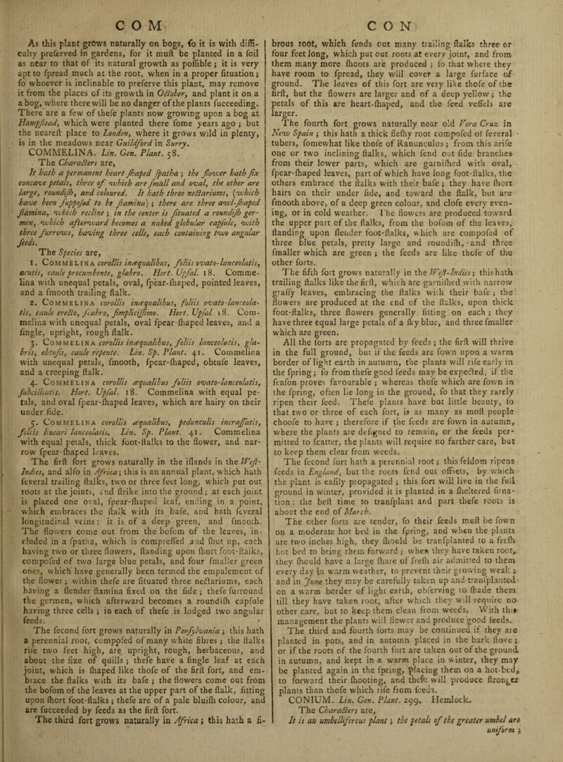 As this plant grows naturally on bogs, fo it is with diffi¬ culty preserved in gardens, for it mult be planted in a foil as near to that of its natural growth as poffible j it is very apt to fpread much at the root, when in a proper fituation; fo whoever is inclinable to preferve this plant, may remove it from the places of its growth in October, and plant it on a a bog, where there will be no danger of the plants fucceeding. There are a few of thefe plants now growing upon a bog at Hampfiead, which were planted there fome years ago ; but the neareft place to London, where it grows wild in plenty, is in the meadows near Guildford in Surry. COMMELINA. Lin. Gen. Plant. 58. The Characters are, It hath a permanent heart Jhaped fpatha ; the flower hath fix concave petals, three of which are fmall and oval, the other are large, roundijh, and coloured. It hath three neClariums, (which have been fuppojsd to be flamina) ; there are three awl-Jkapcd flamina, which recline ; in the center is fituated a roundijh ger- men, which afterward becomes a naked globular capfule, with three furrows, having three cells, each containing two angular feeds. The Species are, 1. Commelina corollis inaqualibus, foliis ovato-lanceolatis, acutis, caule procumbente, glabro. Hort. Upfal. 18. C'omme- lina with unequal petals, oval, fpear-fhaped, pointed leaves, and a fmooth trailing flallc. 2. Commelina corollis inaqualibus, foliis ovato-lanceola¬ tis, caule ereCio, fcabro, flmplicijfimo. Hort. TJpfal. 18. Com¬ melina with unequal petals, oval fpear-lhaped leaves, and a fingle, upright, rough flalk- 3. Commelina corollis inaqualibus, foliis lanceolatis, gla- hris, obtufis, caule repente. Lin. Sp. Plant. 41. Commelina with unequal petals, fmooth, fpear-lhaped, obtufe leaves, and a creeping ftalk. 4. Commelina corollis aqualibus foliis ovato-lanceolatis, fubcilliatis. Hort. Upfal. 18. Commelina with equal pe¬ tals, and oval fpear-lhaped leaves, which are hairy on their under fide. 5. Commelina corollis aqualibus, pedunculis incraflatis, foliis lineari lanceolatis. Lin. Sp. Plant. 41. Commelina with equal petals, thick foot-llalks to the ilower, and nar¬ row fpear-lhaped leaves. The firft fort grows naturally in the ifiands in the IVefl- Indies, and alfo in Africa-, this is an annual plant, which hath feveral trailing ftalks, two or three feet long, which put out roots at the joints, end flrike into the ground; at each joint is placed one oval, fpear-lhaped leaf, ending in a point, which embraces the flalk with its bafe, and hath feveral longitudinal veins: it is of a deep green, and frncoth. The flowers come out from the bofom of the leaves, in¬ cluded in a fpatha, which is compreffed and Ihut up, each having two or three flowers, Handing upon lhort fcot-llaiks, compofed of two large blue petals, and four frnaller green ones, which have generally been termed the empalement of the flower; within thefe are fituated three nedlariums, each having a llender flamina fixed on the fide ; thefe furround the germen, which afterward becomes a roundilh capfule having three cells ; in each of thefe is lodged two angular feeds. * The fecond fort grows naturally in Penfylvania this hath a perennial root, compofed of many white fibres ; the flalks rife two feet high, are upright, rough, herbaceous, and about the fize of quills; thefe have a fingle leaf at each joint, which is fhaped like thofe of the fir A fort, and em¬ brace the ftalks with its bafe ; the flowers come out from the bofom of the leaves at the upper part of the ftalk, fitting upon (hort foot-flalks ; thefe are of a pale bluifh colour, and are fucceeded by feeds as the firft fort. The third fort grows naturally in Africa; this hath a fi¬ brous root, which fends out many trailing ftalks three or four feet long, which put out roots at every joint, and from them many more fhoots are produced ; fo that where they have room to fpread, they will cover a large furface of ground. The leaves of this fort are very like thofe of the firft, but the flowers are larger and of a deep yellow; the petals of this are heart-lhaped, and the feed veffels are larger. The fourth fort grows naturally near old Vera Cruz in New Spain ; this hath a thick flelhy root compofed of feveral - tubers, fomewhat like thofe of Ranunculus; from this arife one or two inclining ftalks, which fend out fide branches from their lower parts, which are garnifhcd with oval, fpear-lhaped leaves, part of which have long foot-ftalks, the others embrace the ftalks with their bafe ; they have (hort hairs on their under fide, and toward the ftalk, but are frnooth above, of a deep green colour, and clofe every even¬ ing, or in cold weather. The flowers are produced toward the upper part of the ftalks, from the bofom of the leaves, Handing upon Header foot-flalks, which are compofed of three blue petals, pretty large and roundilh, and three frnaller which are green ; the feeds are like thofe of the other forts. The fifth fort grows naturally in the Wefl-Indies; this hath trailing ftalks like the firft, which are garnifhed with narrow gralfy leaves, embracing the ftalks with their bafe ; the flowers are produced at the end of the ftalks, upon thick foot-ftalks, three flowers generally fitting on each ; they have three equal large petals of a Iky blue, and three frnaller which are green. All the forts are propagated by feeds; the firft will thrive in the full ground, but if the feeds are fown upon a warm border of light earth in autumn, the plants will rife early in the fpring ; fo from thefe good feeds may be expected, if the feafon proves favourable ; whereas thofe which are fown in the fpring, often lie long in the ground, fo that they rarely ripen their feed. Thefe plants have but little beauty, fo that two or three of each fort, is as many as moll people choofe to have ; therefore if the feeds are fown in autumn, where the plants are defigned to remain, or the feeds per¬ mitted to fcatter, the plants will require no farther care, but to keep them clear from weeds. The fecond fort hath a perennial root; this feldom ripens feeds in England, but the roors fend out offsets, by w'hich the plant is eafily propagated ; this fort will live in the full ground in winter, provided it is planted in a flickered fitua¬ tion : the bell time to tranfplant and part thefe roots is about the end of Mat ch. The other forts are tender, fo their feeds muft be fown on a moderate hot bed in the fpring, and when the plants are tw'O inches high, they Ihould be trar.fplanted to a frefh hot bed to bring them forward ; when they have taken root,, they (hould have a large fhare of frefh air admitted to them every day in warm weather, to prevent their growing weak ; and in June they may be carefully taken up and tranfplanted on a warm border of light earth, obferving to (bade them till they have taken root, after which they will require no- other care, but to keep them clean from weeds. With thi» management the plants will flower and produce good leeds. The third and fourth forts may be continued if they aie planted in pots, and in autumn placed in the bark Hove ; or if the roots of the fourth fort are taken out of the ground in autumn, and kept in a warm place in winter, they may be planted again in the fpring, placing them on a hot-bed, to forward their (hooting, and thefe will produce ftronger plants than thofe which rife from feeds. CONIUM. Lin. Gen. Plant. 299, Hemlock- The Characters are, It is an umbelliferous plant; the petals of the greater umbel are uniform ;